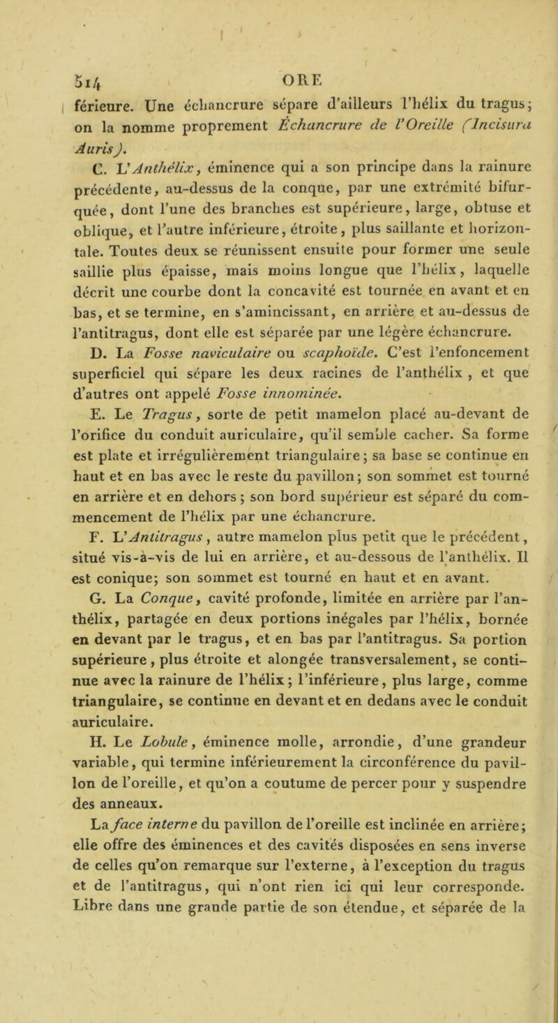 férieure. Une échancrure sépare d’ailleurs l’hélix du tragus; on la nomme proprement Échancrure de VOreille (Incisura AurisJ. C. VAnthélix, éminence qui a son principe dans la rainure précédente, au-dessus de la conque, par une extrémité bifur- quée, dont l’une des branches est supérieure, large, obtuse et oblique, et l’autre inférieure, étroite, plus saillante et horizon- tale. Toutes deux se réunissent ensuite pour former une seule saillie plus épaisse, mais moins longue que l’hélix, laquelle décrit une courbe dont la concavité est tournée en avant et en bas, et se termine, en s’amincissant, en arrière et au-dessus de l’antitragus, dont elle est séparée par une légère échancrure. D. La Fosse naviculaire ou scaphoïde. C’est l’enfoncement superficiel qui sépare les deux racines de l’anthélix , et que d’autres ont appelé Fosse innominée. E. Le Tragus, sorte de petit mamelon placé au-devant de l’orifice du conduit auriculaire, qu’il sem’ule cacher. Sa forme est plate et irrégulièrement triangulaire ; sa base se continue en haut et en bas avec le reste du pavillon; son sommet est tourné en arrière et en dehors, son bord su[)érieur est séparé du com- mencement de l’hélix par une échancrure. F. UAntitragus , autre mamelon plus petit que le précédent, situé vis-à-vis de lui en arrière, et au-dessous de l’anthélix. Il est conique; son sommet est tourné en haut et en avant. G. La Conque, cavité profonde, limitée en arrière par l’an- thélix, partagée en deux portions inégales par l’hélix, bornée en devant par le tragus, et en bas par l’antitragus. Sa portion supérieure, plus étroite et alongée transversalement, se conti- nue avec la rainure de l’hélix; l’inférieure, plus large, comme triangulaire, se continue en devant et en dedans avec le conduit auriculaire. H. Le Lobule, éminence molle, arrondie, d’une grandeur variable, qui termine inférieurement la circonférence du pavil- lon de l’oreille, et qu’on a coutume de percer pour y suspendre des anneaux. La face interne du pavillon de l’oreille est inclinée en arrière; elle offre des éminences et des cavités disposées en sens inverse de celles qu’on remarque sur l’externe, à l’exception du tragus et de l’autitragus, qui n’ont rien ici qui leur corresponde. Libre dans une grande partie de son étendue, et séparée de la