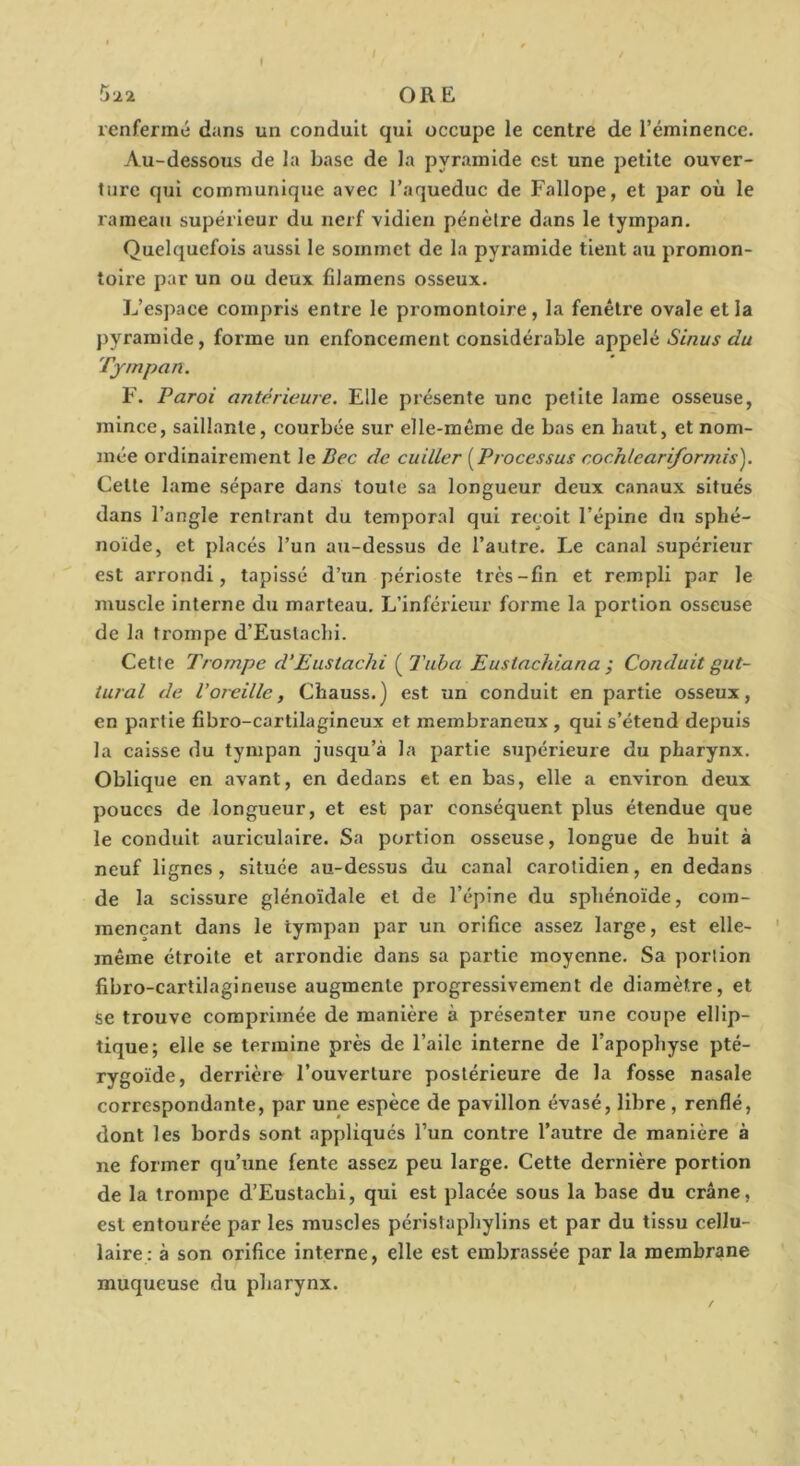 ^•12 ORE renfermé dans un conduit qui occupe le centre de l’éminence. Au-dessous de la base de la pyramide est une petite ouver- ture qui communique avec l’aqueduc de Fallope, et par où le rameau supérieur du nerf vidien pénètre dans le tympan. Quelquefois aussi le sommet de la pyramide tient au promon- toire par un ou deux filamens osseux. L’espace compris entre le promontoire, la fenêtre ovale et la pyramide, forme un enfoncement considérable appelé Tympan. F. Paroi antérieure. Elle présente une petite lame osseuse, mince, saillante, courbée sur elle-même de bas en haut, et nom- mée ordinairement le Bec de cuiller [Processus cochleari/ormis). Celle lame sépare dans toute sa longueur deux canaux situés dans l’angle rentrant du temporal qui reçoit l’épine du sphé- noïde, et placés l’un au-dessus de l’autre. Le canal supérieur est arrondi, tapissé d’un périoste très-fin et rempli par le muscle interne du marteau. L’inférieur forme la portion osseuse de la trompe d’Euslachi. Cette Trompe d‘Eustachi ( Tuba Euslachiana ; Conduit gut- tural de l’oreille, Cfaauss.) est un conduit en partie osseux, en partie fibro-cartilagineux et membraneux , qui s’étend depuis la caisse du tympan jusqu’à la partie supérieure du pharynx. Oblique en avant, en dedans et en bas, elle a environ deux pouces de longueur, et est par conséquent plus étendue que le conduit auriculaire. Sa portion osseuse, longue de huit à neuf lignes, située au-dessus du canal carotidien, en dedans de la scissure glénoïdale et de l’épine du sphénoïde, com- mençant dans le tympan par un orifice assez large, est elle- même étroite et arrondie dans sa partie moyenne. Sa portion fibro-cartilagineuse augmente progressivement de diamètre, et se trouve comprimée de manière à présenter une coupe ellip- tique; elle se termine près de l’aile interne de l’apophyse pté- rygoïde, derrière l’ouverture postérieure de la fosse nasale correspondante, par une espèce de pavillon évasé, libre , renflé, dont les bords sont appliqués l’un contre l’autre de manière à ne former qu’une fente assez peu large. Cette dernière portion de la trompe d’Eustachi, qui est placée sous la base du crâne, est entourée par les muscles péristaphylins et par du tissu cellu- laire: à son orifice interne, elle est embrassée par la membrane muqueuse du pharynx.