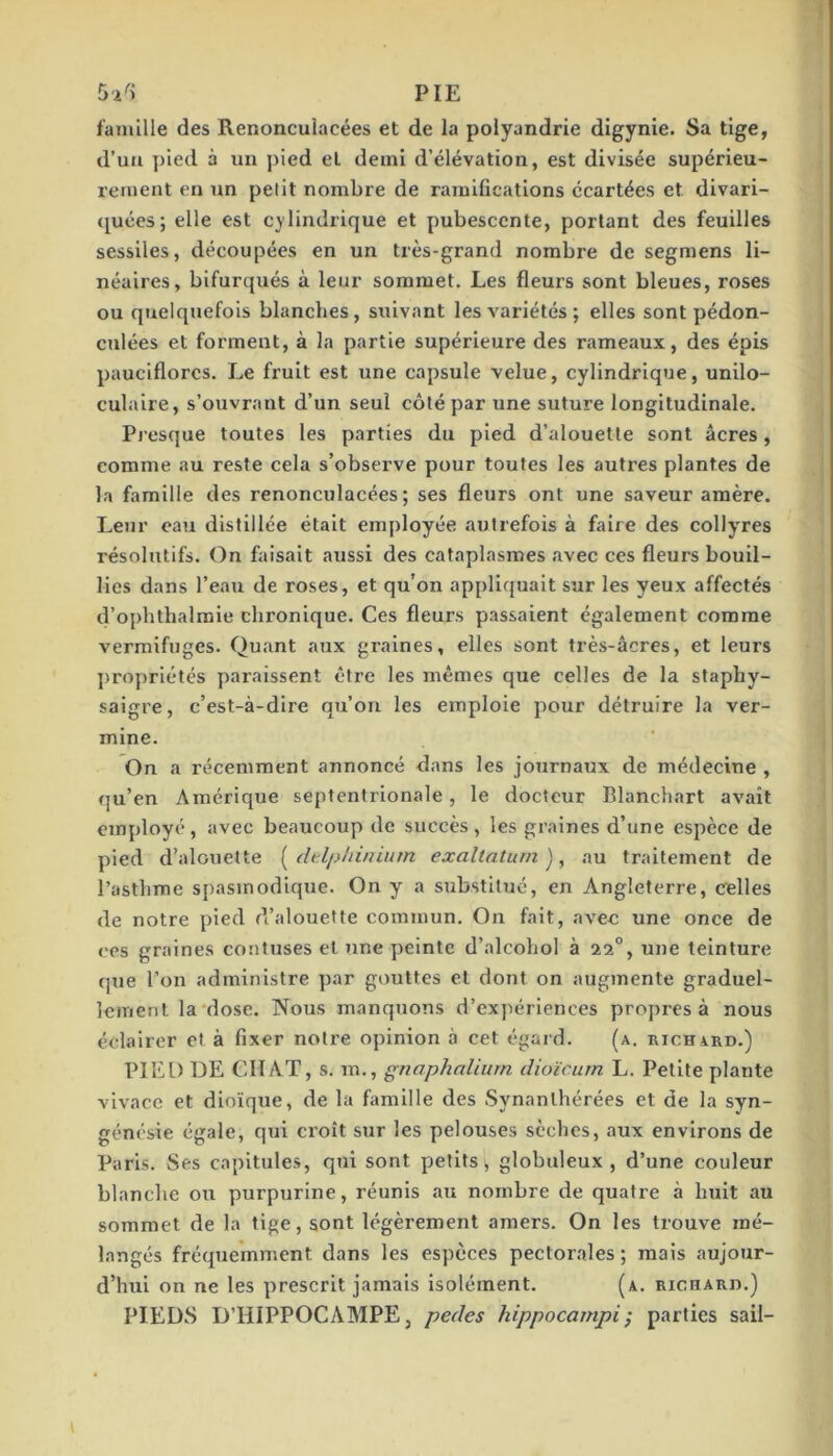 5i^) PIE famille des Renonculacées et de la polyandrie digynie. Sa tige, d’un pied à un jiied et demi d’élévation, est divisée supérieu- rement en un petit nombre de ramifications écartées et divari- (juées; elle est cylindrique et pubescente, portant des feuilles sessiles, découpées en un très-grand nombre de segmens li- néaires, bifurqués à leur sommet. Les fleurs sont bleues, roses ou quelquefois blanches, suivant les variétés ; elles sont pédon- culées et forment, à la partie supérieure des rameaux, des épis pauciflorcs. Le fruit est une capsule velue, cylindrique, unilo- culaire, s’ouvrant d’un seul côté par une suture longitudinale. Presque toutes les parties du pied d’alouette sont âcres, comme au reste cela s’observe pour toutes les autres plantes de la famille des renonculacées; ses fleurs ont une saveur amère. Leur eau distillée était employée autrefois à faire des collyres résolutifs. On faisait aussi des cataplasmes avec ces fleurs bouil- lies dans l’eau de roses, et qu’on appliquait sur les yeux affectés d’opbthalmie chronique. Ces fleurs passaient également comme vermifuges. Quant aux graines, elles sont très-âcres, et leurs ])roprlétés paraissent être les mêmes que celles de la staphy- salgre, c’est-à-dire qu’on les emploie pour détruire la ver- mine. On a récemment annoncé dans les journaux de médecine , qu’en Amérique septentrionale, le docteur Blanchart avait employé, avec beaucoup de succès, les graines d’une espèce de pied d’alouette ( dtlphinium exaltatum ), au traitement de l’asthme spasmodique. On y a substitué, en Angleterre, celles de notre pied d’alouette commun. On fait, avee une once de ces graines contuses et une peinte d’alcohol à 22°, une teinture que l’on administre par gouttes et dont on augmente graduel- lement la dose. Nous manquons d’expériences propres à nous éclairer et à fixer notre opinion à cet égard. (a. richard.) PIED DE CHAT, s. m., gnaphaliurn dioïcurn L. Petite plante vivace et dioïque, de la famille des Synanlhérées et de la syn- géncsie égale, qui croît sur les pelouses sèches, aux environs de Paris. Ses capitules, qui sont petits, globuleux, d’une couleur blanche ou purpurine, réunis au nombre de quatre à huit au sommet de la tige, sont légèrement amers. On les trouve mé- langés fréquemment dans les espèces pectorales ; mais aujour- d’hui on ne les prescrit jamais isolément. (a. richard.) PIEDS D’HIPPOCAMPE, pedes hippocampi; parties sail- \