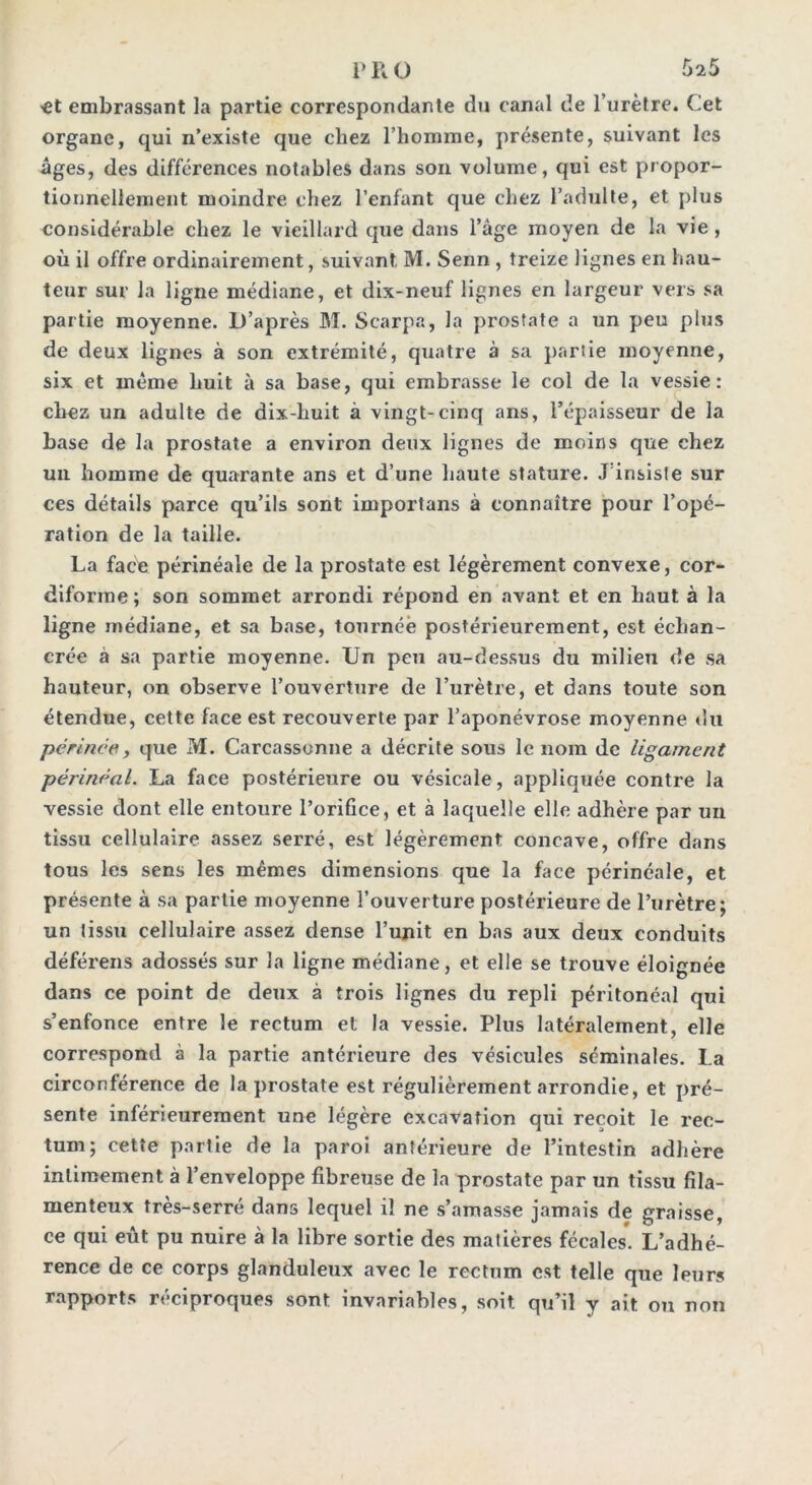 •et embrassant la partie correspondante du canal de l’urètre. Cet organe, qui n’existe que chez l’homme, présente, suivant les âges, des différences notables dans son volume, qui est propor- tionnellement moindre chez l’enfant que chez l’adulte, et plus considérable chez le vieillard que dans l’âge moyen de la vie , où il offre ordinairement, suivant, M. Senn , treize lignes en hau- teur sur la ligne médiane, et dix-neuf lignes en largeur vers sa partie moyenne. D’après M. Scarpa, la prostate a un peu plus de deux lignes à son extrémité, quatre à sa partie moyenne, six et même huit à sa base, qui embrasse le col de la vessie: chez un adulte de dix-huit à vingt-cinq ans, l’épaisseur de la base de la prostate a environ deux lignes de moins que chez un homme de quarante ans et d’une haute stature. J’insiste sur ces détails parce qu’ils sont importans à connaître pour l’opé- ration de la taille. La face périnéale de la prostate est légèrement convexe, cor- diforme; son sommet arrondi répond en avant et en haut à la ligne médiane, et sa base, tournée postérieurement, est échan- crée à sa partie moyenne. Un peu au-dessus du milieu de sa hauteur, on observe l’ouverture de l’urètre, et dans toute son étendue, cette face est recouverte par l’aponévrose moyenne du pérince, que M. Carcassonne a décrite sous le nom de ligament périnéal. La face postérieure ou vésicale, appliquée contre la vessie dont elle entoure l’orifice, et à laquelle elle adhère par un tissu cellulaire assez serré, est légèrement concave, offre dans tous les sens les mêmes dimensions que la face périnéale, et présente à sa partie moyenne l’ouverture postérieure de l’urètre ; un lissu cellulaire assez dense l’unit en bas aux deux conduits déférens adossés sur la ligne médiane, et elle se trouve éloignée dans ce point de deux à trois lignes du repli péritonéal qui s’enfonce entre le rectum et la vessie. Plus latéralement, elle correspond à la partie antérieure des vésicules séminales. La circonférence de la prostate est régulièrement arrondie, et pré- sente inférieurement une légère excavation qui reçoit le rec- tum; cette partie de la paroi antérieure de l’intestin adhère intimement à l’enveloppe fibreuse de la prostate par un tissu fila- menteux très-serré dans lequel il ne s’amasse jamais de graisse, ce qui eût pu nuire à la libre sortie des matières fécales*. L’adhé- rence de ce corps glanduleux avec le rectum est telle que leurs rapports réciproques sont invariables, soit, qu’il y ait ou non