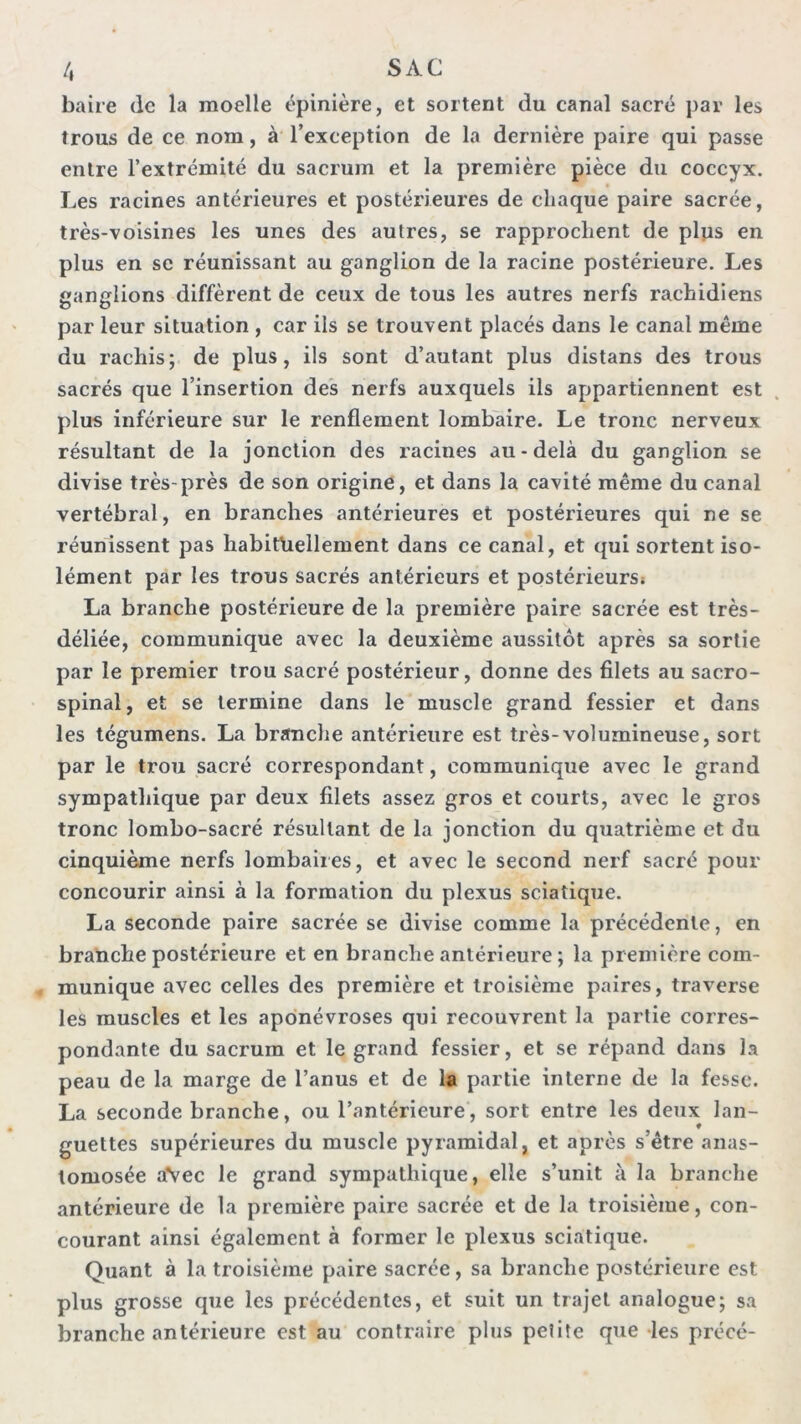 /, SAC baiie de la moelle épinière, et sortent du canal sacré par les trous de ce nom, à l’exception de la dernière paire qui passe entre l’extrémité du sacrum et la première pièce du coccyx. Les racines antérieures et postérieures de chaque paire sacrée, très-voisines les unes des autres, se rapprochent de plps en plus en SC réunissant au ganglion de la racine postérieure. Les ganglions diffèrent de ceux de tous les autres nerfs rachidiens par leur situation , car ils se trouvent placés dans le canal même du rachis; de plus, ils sont d’autant plus distans des trous sacrés que l’insertion des nerfs auxquels ils appartiennent est plus inférieure sur le renflement lombaire. Le tronc nerveux résultant de la jonction des racines au-delà du ganglion se divise très-près de son origine, et dans la cavité même du canal vertébral, en branches antérieures et postérieures qui ne se réunissent pas habituellement dans ce canal, et qui sortent iso- lément par les trous sacrés antérieurs et postérieurs» La branche postérieure de la première paire sacrée est très- déliée, communique avec la deuxième aussitôt après sa sortie par le premier trou sacré postérieur, donne des filets au sacro- spinal, et se termine dans le muscle grand fessier et dans les tégumens. La branche antérieure est très-volumineuse, sort par le trou sacré correspondant, communique avec le grand sympathique par deux filets assez gros et courts, avec le gros tronc lombo-sacré résultant de la jonction du quatrième et du cinquième nerfs lombaires, et avec le second nerf sacré pour concourir ainsi à la formation du plexus sciatique. La seconde paire sacrée se divise comme la précédente, en branche postérieure et en branche antérieure ; la première com- , munique avec celles des première et troisième paires, traverse les muscles et les aponévroses qui recouvrent la partie corres- pondante du sacrum et le grand fessier, et se répand dans la peau de la marge de l’anus et de la partie interne de la fesse. La seconde branche, ou l’antérieure, sort entre les deux lan- guettes supérieures du muscle pyramidal, et après s’être anas- tomosée aVec le grand sympathique, elle s’unit à la branche antérieure de la première paire sacrée et de la troisième, con- courant ainsi également à former le plexus sciatique. Quant à la troisième paire sacrée, sa branche postérieure est plus grosse que les précédentes, et suit un trajet analogue; sa branche antérieure est au contraire plus petite que les précé-