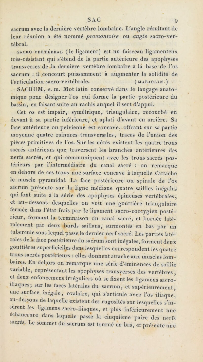 * sacrum avec la dernière vertèbre lombaire. L’angle résultant de leur réunion a été nommé promontoire ou angle sacro-ver- tébral. SACRO-VERTÉBRAL (le ligament) est un faisceau ligamenteux très-résistant qui s’étend de la partie antérieure des apophyses transverses de .la dernière vertèbre lombaire à là base de l’os sacrum : il .concourt puissamment à augmenter la solidité de l’articulation sacro-vertébrale. (marjolin.) SACRUM, s. m. Mot latin conservé dans le langage anato- mique pour désigner l’os qui forme la partie postérieure du bassin, en faisant suite au rachis auquel il sert d’appui. Cet os est impair, symétrique, triangulaire, recourbé en devant à sa partie inférieure, et aplati d’avant en arrière. Sa face antérieure ou pelvienne est concave, offrant sur sa partie moyenne quatre rainures transversales, traces de l’union des pièces primitives de l’os. Sur les côtés existent les quatre trous sacrés antérieurs que traversent les branches antérieures des nerfs sacrés, et qui communiquent avec les trous sacrés pos- térieurs par l’intermédiaire du canal sacré : on remarque en dehors de ces trous une surface concave à laquelle s’attache le muscle pyramidal. La face postérieure ou s])inale de l’os sacrum présente sur la ligne médiane quatre saillies inégales c[ui font suite à la série des apophyses épineuses vertébrales, et au-dessous desquelles on voit une gouttière triangulaire fermée dans l’état frais par le ligament sacro-coccygien posté- rieur, formant la terminaison du canal sacré, et bornée laté- ralement par deux bords saillans, surmontés en bas par un tubercule sous lequel passe le dernier nerf sacré. Les parties laté- rales delà face postérieure du sacrum sont inégales, forment deux gouttières superficielles dans lesquelles correspondent les quatre trous sacrés postérieurs : elles donnent attache aux muscles lom- baires. En dehors on remarque une série d’éminences de saillie variable, représentant les apophyses transyerses des vertèbres, et deux enfoncemens irréguliers où se fixent les ligamens sacro- iliaques; sur les faces latérales du sacrum, et supérieurement, une surface inégale, ovalaire, qui s’articule avec l’os iliaque, au-dessous de laquelle existent des rugosités sur lesquelles s’in- sèrent les ligamens sacro-iliaques, et plus inférieurement une échancrure dans laquelle passe la cinquième paire des nerfs sacres. Le sommet du sacrum est tourné en bas, et présente une