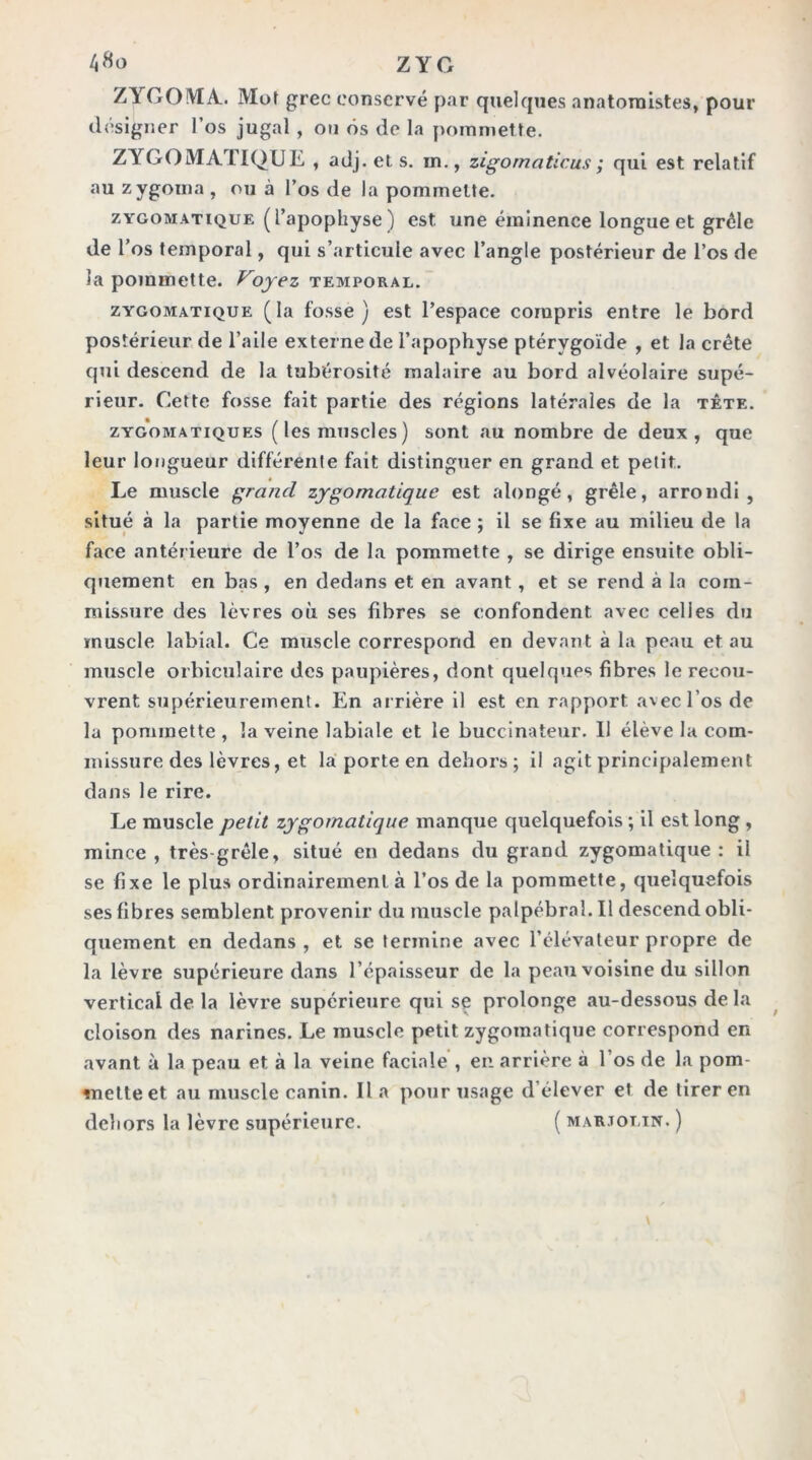 4^0 ZYG OOMA. Mot grec conservé par quelques anatomistes, pour désigner l’os jugal , on ôs de la pommette. ZYGOMA1IQUE , adj.ets. m., zigornaticus ; qui est relatif au zygoma , ou à l’os de la pommette. ZYGOMATIQUE (l’apophyse ) est une éminence longue et grêle de l’os temporal, qui s’articule avec l’angle postérieur de l’os de la pommette, temporal. ZYGOMATIQUE (la fossc ) cst l’cspacc compris entre le bord postérieur de l’aile externe de l’apophyse ptérygoïde , et la crête qui descend de la tubérosité raalaire au bord alvéolaire supé- rieur. Cette fosse fait partie des régions latérales de la tête. ZYGOMATIQUES (Icsmuscles) sont au nombre de deux, que leur longueur différente fait distinguer en grand et petit. Le muscle grand zygomatique est alongé, grêle, arrondi, situé à la partie moyenne de la face ; il se fixe au milieu de la face antérieure de l’os de la pommette , se dirige ensuite obli- quement en bas, en dedans et en avant, et se rend à la com- missure des lèvres où ses fibres se confondent avec celles du muscle labial. Ce muscle correspond en devant à la peau et au muscle orbiculaire des paupières, dont quelques fibres le recou- vrent supérieurement. En arrière il est en rapport avec l’os de la pommette , la veine labiale et le bucclnateur. 11 élève la com- missure des lèvres, et la porte en dehors ; il agit principalement dans le rire. Le muscle petit zygomatique manque quelquefois ; il est long , mince , très-grêle, situé en dedans du grand zygomatique : il se fixe le plus ordinairement à l’os de la pommette, quelquefois ses fibres semblent provenir du muscle palpébral. Il descend obli- quement en dedans , et se termine avec l’élévateur propre de la lèvre supérieure dans l’épaisseur de la peau voisine du sillon vertical de la lèvre supérieure qui se prolonge au-dessous de la cloison des narines. Le muscle petit zygomatique correspond en avant à la peau et à la veine faciale, en arrière à l’os de la pom- mette et au muscle canin. Il a pour usage d’élever et de tirer en dcliors la lèvre supérieure. ( marjoltn. )