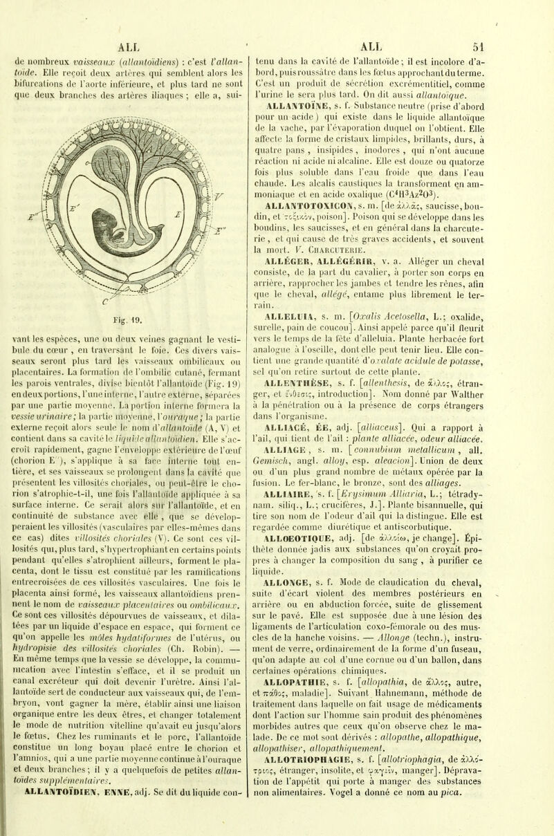 ALL de iioinbreux ^^aisseanx (allanto'idiens) : c'est I'allan- toide. Elle re(;oit deux artrres qui sembleiit alors les bifurcalinns de I'aorte iiitciieure, ct plus tard ne sont qui; deux branches des aiteres iliaqucs ; elle a, sui- Fig. 19. vant les especes, une ou deux veines gagnant le vesti- bule du coeur , en tiaversant le foie. Ces divers vais- seaux seront plus tard les vaisseaux omhilicaux ou placentaires. La formation de I'ombilic cutano, fcrmant les parois ventrales, divlse biciilot rallantoide (Fig-. 19) en deux portions, Tunc interne, I'autre oxterne, separees par une partie moyenno. La portion inlerne formera la vessie urinaire; la partie nioyenne, Vouraquc; la partie externe recoit alors seulc le notn d'cillnnloide (A, V) et contient dans sa cavitele Uquh.leaHmitdidien. Elle s'ac- croit rapidement, gatcne I'cnveloppe exterieure de I'oeuf (cborion E '), sapplique a sa face interne tout en- tiere, et ses vaisseaux se prolongenl dans la cavitc que presentent les villosites clioriales, ou peut-ctre le cho- rion s'alropliic-t-il, une fois rallanloide appliquee a sa surface interne. Co serait alors sur rallanto'idc, et en continuite de substance avec elle , que so deveiop- peraientles villosites (vasculaires par elles-menies dans ce cas) dites rilloxUes choritiles (V). Ce sont ces vil- losites qui, plus tard, s'hypertrophiant en certains points pendant qu'elles s'atrophient ailleurs, forment le pla- centa, dont le tissu est consLitue par les ramilications entrecroisees de ces villosites vasculaires. Une fois le placenta ainsi forme, les vaisseaux allanto'idiens pren- nenl le nom de vaissea ux placeii la ires ou ombilicaux. Ce sont ces villosites depourvues de vaisseaux, et dila- tees par un liquide d'espace en espace, qui forment ce qu'on appelle les moles hydaliformes de I'uterus, ou hydropisie des villosites vhoriales (Ch. Robin). — En meme temps que la vessie se doveloppe, la commu- nication avec I'inteslin s'efface, et il se produit un canal excreteur qui doit devenir I'uretre. Ainsi I'al- lantoide sert de conducteur aux vaisseaux qui, de I'em- bryon, vont gagner la mere, etablir ainsi une liaison organique entre les deux etres, et changer totalenient le mode de nutrition vitelline qu'avait eu jusqu'alors le foetus. Chez les ruminants et le pore, rallantoide constitue un long boyau place entre le chorion et I'amnios, qui a une partie nioyenne continue a I'ouraque et deux branches; il y a quelquefois de petites allan- to'ides sapplemenlaires. ALLAKTOIDIEIV, EXKE.adj. Se dit du liquide con- ALL 51 tenu dans la cavite de I'allantoide; il est incolore d'a- bord, puisroussatre dans les fatus approchantduterme. C'est un produit de secretion excrementitiel, comme I'urine le sera plus tard. On dit aussi allantoique. ALLAlMTOilN'E, s. f. Substance neutre (prise d'abord pour un acide) qui existe dans le liquide allantoique de la vachc, par I'evaporation duqucl on I'obtient. Elle aft'oct(^ la forme de eristaux limpides, brillants, durs, a qiuitre pans , insipides, inodores , qui n'ont aucune reaction iii acide nialcaline. Elle est douzo ou quatorze fois plus soluble dans I'eau froide que dans I'eau chaude. Les alcalis caustiquos la transforment (jn am- moniaque et en acide oxalique (C'^H^Az^O^j. ALLAIMTOTOXICOIV,s. in. [dea>.>,a;, saucisse, bou- din, et rccixov, poison]. Poison qui se developpe dans les boudins, les saucisses, et en general dans la charcute- rie , et qui cause de tres graves accidents, et souvent la mort. V. Ciiarcuteuik. ALLEGER, ALLEGERIR, v. a. Alleger un cheval consiste, de la part du cavalier, a porter son corps en arriere, rapprocher les jambes et tendre les renes, alin que le cheval, allege, entamc plus librement le ter- rain. ALLELUIA, s. m. [Oxalis Acetosella, L.; oxalide, suroUe, pain de coucou]. Ainsi appele parce qu'il lleurit vers le tenqis de la fete d'alleluia. Plante hcrbacee fort analogue a I'oseille, dont elle pent tenir lieu. Elle con- tient une grandc quantite d'o.r alate acidule de potasse, sel qu'on retire surtout de cette plante. ALLENTHESE, s. f. [allenthesis, de a/.Xo;, etran- ger, et i'vOidi;, introduction]. Nom donne par Walther a la penetration ou a la presence de corps etrangers dans I'organisine. ALLIACE, EE, adj. [alliaceus]. Qui a rapport a Tail, qui tient de Tail : plante alliacc'e, odeur alliace'e. ALLiAGE , s. m. [connubium nietaUicum , all. Gemiscli, angl. alloy, csp. aleacion]. l^aion de deux ou d'un plus grand nombre de metaux operoe par la fusion. Le fer-blanc, le bronze, sont des alliages. ALLIAIRE, s. f. [Erysimum AUiaria, L.; tetrady- nam. siliq., L.; cruciferes, J.]. Plante bisannuelle, qui tire son nom de I'odcur d'ail qui la distingue. Elle est regardee comme diuretique et antiscorbutique. ALLOEOTIQUE, adj. [de otA/.ofoi, je change]. £pi- thete donniie jadis aux substances qu'on croyait pro- pies a changer la composition du sang , a purifier ce liquide. ALLOIVGE, s. f. Mode de claudication du cheval, suite d'ecart violent des membres posterieurs en arriere ou en abduction forcee, suite de glissement sur le pave. Elle est supposee due a une lesion des ligaments de I'articulation coxo-femorale ou des mus- cles de la hanche voisins. — Allonge (techn.), instru- ment de verre, ordinairoment do la forme d'un fuseau, qu'on adapte au col d'une cornue ou d'un ballon, dans certaines operations cliiniiques. ALLOPATHIE, s. f. [allnpathia, de aXXo;, autre, et TCaOo;, maladie]. Suivant Hahnemann, methode de traitement dans laquelle on fait usage de medicaments dont Taction sur I'homme sain produit des phenomenes morbides autres que ceux qu'on observe chez le ma- lade. De ce mot sont derives : allopathe, allopathique, allopathiser, allopathiquement. ALLOTRIOPHAGIE, s. f. [aUotriophagia, deaXXo- rpio;, etranger, insolite, et 'jy.-^il'i, manger]. Deprava- tion de I'appetit qui porte a manger des substances non alimentaires. Vogel a donne ce nom au pica.