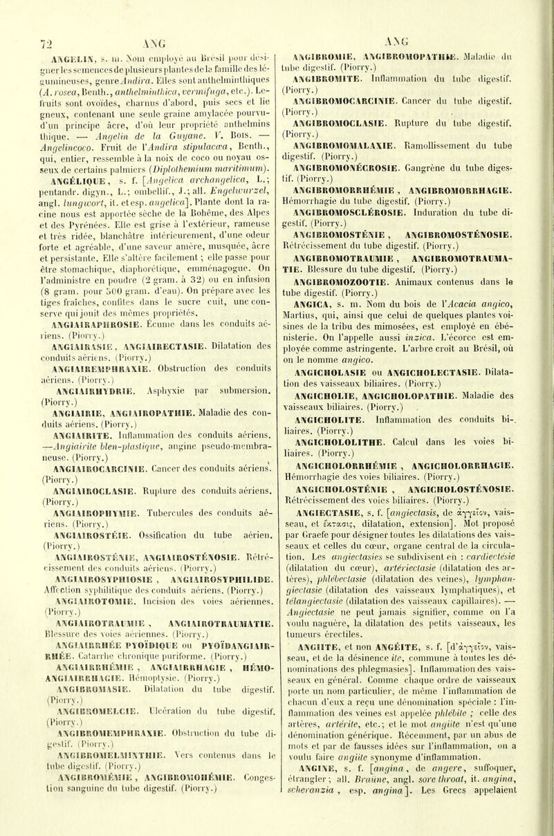 1-2 ANG AlXGIilLlK, s. 111. Noin cmiiluvc ;m lirc^il |)oiir dfsi- giierU'Sscmeiiccsde plusieurs jilaiilesdcki faiiiille dos Ic- iliuuincuses, genre .-l^f/ira. Elles sont aritlielmintliiques (.•1. i-osea,ljenlU.,anthelmiHtliica,vennifuria, etc.). Le- Iruils sont ovoi'des, eliarnus d'abord, puis sees et lie gneux, contenant une seule graine amylacee pourvu- d'un principe acre, d'oii leur pro|iriete anthelmins lliique. — Angelin de la Giiyane. V. Bois. — Angelirtcoco. Fruit de VAndira stipulaccva, Benth., qui, entier, ressemble a la noix de coco ou noyau os- seux de certains palmiers (Diplolhemium maritimum). A1\GELI0UE, s. f. [Angelica archongelica, L.; pentandr. digyn., L.; onibellil'., J.; all. EngelwurzeU angl. lungwort, it. etesp. aHf/c/«'o]. Plante dont la ra- cine nous est apportee seche de la Boheme, des Alpes et des Pyrenees. Ellc est grise a I'exterieur, rameuse et tres ridee, blancbatre inlerieurenient, d'une odeur forte et agreable, d'une saveur amere, musquee, acre et persistante. EUe s'altore facilement; elle passe pour etre stomachique, diaphorelique, emmenagogue. On I'administre en poudre (2 gram, a 32) ou en infusion (8 gram, pour oOO gram, d'eau). On prepare avec les tiges fraiches, confiles dans le sucre ciiit, une con- serve quijouit des monies proprictes. AINGIAIRAPHROSIE. ficume dans les conduits ae- liens. (Pinny.) A!\GiAIRASn!, A!\'GI!AIRECTAS1E. Dilatation des conduits aerims. (Pinrry.) AIN'GIAlRESlt'HRAXIE. Obstruction des conduits aericus. (Piony.) Al>iGlA!RHY»RlE. Asjiliyxie ]iav submersion. (Piorry.) AIVGIAIRIE, ANGIAIROPATHIE. Maladie des con- duits aeriens. (Piorry.) AI^CIAIRITE. Inllammation des conduits aeriens. -—Angiahile blen-plaslique, anginc pseudo-menibra- neuse. (Piorry.) A!\GIAIROCARCI!^IE. Cancer des conduits aeriens. (Piorry.) ANGIAIROCLASIE. Rupture des conduits aeriens. (Piorry.) AIV«l\IROPHY\!!E. TubeiTules des conduits ae- riens. (Piurry.) AlVGtAlROSTEIE. Ossification du tube acrien. (Piorry.) Al\G!AIROSTIi'^lH, A^iGIAIROSTEiVOSIE. Pu'tn'- cissemcnl des I'luiiluits aeriens. (Piorry.) AI^IGIAIROSYPIIIOSIE , AIVGIAIROSYPHILIDE. Affection syiihililique des conduits aeriens. (Piorry.) ANGIAIKOTOMIE. Incision des voies aeriennes. (Piorry.) AAGIAIROTRAUMIE , A!\GIAinOTRAlIi\lATIE. Blessuri! des voies aeriennes. (Piorry.) AKGIAIKJUUiE PYO'SDIOIE ou PYOIOAIVGIAIR- KHEE. (jatarrlii' clinmiqiic purilorme. (Pinrry.) A^GIAIRRIIEMIE , AIVGIASRRHAGIE , HEUIO- AI^GIAIRRtlAGIE. Hemoplysie. (Piorry.) A^'GlBR01\^/lSlE. Dilalalioii du tube digestif. (Piorry.) ANGSBEiOHEECIE. I'Iceralioii du lube digestif. (Piorry.) A\GIBR0HEY1PHUAX1E. Obsli notion du tube di- geslil'. I Piorry.) AKGiBROiMEK^HMIllE. Vers coiilcuus dans le lube digeslif. (Piorry.) AiNGIISROMEMIE , AiVGIBRO^SOIIEMIE. Conges- lion sanguine du lube digestif. (Piorry.) ANG A^GlBROMiE, A^GIBROUUPA'i'lIM::. iMaladie du tube digeslif. (Piorry.) AIVGIBROMITE. Inflammation du tube digestif. (Piorry.) AWGSBKO.MOCARCINIE. Cancer du lube digestif. (Piorry.) ANGIBROAIOGLASIE. Rupture du tube digestif. (Piorry.) AIVGIBROiUOiVlALAXIE. RamoUisscment du tube digestif. (Piorry.) AniGIBROIIIONECROSlE. Gangrene du tube diges- tif. (Piorry.) AKGIBROMORRHEMIE , AIVGIBROIVIORRHAGIE. Hemorrliagie du tube digestif. (Piorry.) AIVGIBROMOSCLEROSIE. Induration du tube di- geslif. (Piorry.) A1\GIBR0M0STE1VIE , AIVGIBROIVlOSTE]\OSIE. Relrecissemeiit du lube digeslif. (Piorry.) AIXGiBROIUOTRAUIUIE , AIVGIBROIHOTRAUIIIA- TIE. Blessure du tube digestif. (Piorry.) A!\GIBROMOZOOTIE. Animaux contenus dans le tube digeslif. (Piorry.) A!\'GICA, s. ni. Nom du bois de VAcacia angico, Martins, qui, ainsi que celui de quelques plaiites voi- sines de la tribu des mimosees, est employe en ebe- nisterie. On I'appelle aussi inzica. L'ecorce est em- ployee comme astringente. L'arbre croit au Bresil, ou on le nomme angico. AlVGIGHOLASIE ou AIVGICHOLEC.TASIE. Dilata- tion des vaisseaux biliaires. (Piorry.) ANGICHOLIE, ANGICIIOLOPATHIE. Maladie des vaisseaux biliaires. (Piorry.) A!\GICHOLITE. Inflammation des conduits bi-. liaires. (Piorry.) AlVGICHOLOLITHE. Calcul dans les voies bi- liaires. (Piorry.) AIVGICHOLORRHEMIE , ANGICHOLORRHAGIE. Hem(H'rliagie des voies biliaires. (Piorry.) AKGICIIOLOSTEIN'IE , ANGICHOLOSTEIVOSIE. Retrecissement des voies biliaires. (Piorry.) AIVGIECTASIE, s. f. [cingiectasis, de a-^-j'sTov, vais- seau, et £;47a<ji;, dilatation, extension]. Mot propose par Graefe pour designer toules les dilatations des vais- seaux el celles du copur, organe central de la circula- tion. Les angiectasies sc subdivisent en : rardiecle'sie (dilatation du coeur), arterieclasie (dilatation des ai- leres), pideiectasie (dilatation des veiiies), lynipluiii- gieclasic (dilatation des vaisseaux lymplialiques), et telangieclasie (dilatation des vaisseaux capillaires). — Angiectasie ne pent jamais signilier, comme on I'a voulu naguere, la dilatation des pelits vaisseaux, les tumours erectiles. ANGIITE, et non ANGEITE, s. f. [(Vi^^th-j, vais- sean, et de la desinence ite, commune a toules les de- nominations des pidegniasies]. Inllamniati(m des vais- seaux eu general. Comme cliaque ordre de vaisseaux porte un nom parliculier, de meme rinllammation de chacun d'eux a reju une denomination speciale : I'in- flainmalion des veines est appelee pide'hile ; celle des arteres, arterite, etc.; et le mot o>i(/t/7e n'esl qu'une denomination generique. Recemmciil, par un abus de mols el par de fausses idees sur riiillamiiialiou, on a voulu faire angiite synonyme d'inllamnialion. A\GI\E, s. f. [angina, de angere, suffoquer, elrangler; all. Braiine, angl. sore throat, it. angina, ticheransia , esp. angina]. Les Grecs appelaienl