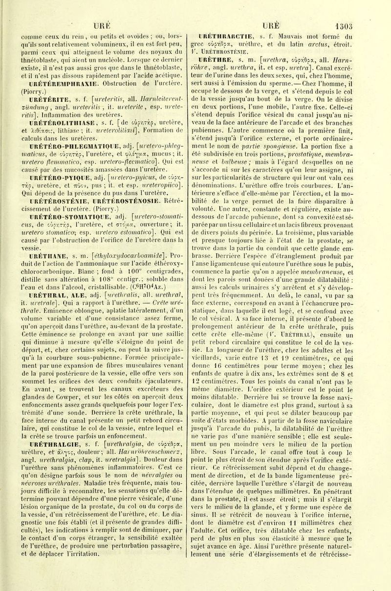 ORE coinme ceux du rein, ou petils et ovoides; ou, lors- qu'ils sontrelativeinent volumineux, il en est fort peu, parmi ceux qui alteigneat le volume dcs noyaux du thnetoblaste, qui aientun nucleole. Lorsque ce dernier existe, il n'est pas aussi gros que dans le thnetoblaste, et il n'est pas dissous rapidement par I'acide acctique. URETEREi\lPHRAXIE. Olistruction de I'ureterc. (Piorry.) VRETERITE, s. f. [ureterilis, all. Harnle'tlereiil- zundunr/, angl. ureterilis , it. ureterite, esp. urete- ritis]. Inflammation des ureteres. IIRETEROLITHIASE, s. f. [de oupr.rr.p, uretere, et X'M%G'.:, lilliiasi^ ; it. urelerolitiasi]. Formation de calculs dans les ureteres. CRETERO-PHLEGMATIQl'E, adj. [urelero-phleg- maticus, de oupr,Tr]p, I'uretere, et tcXs'-j-u.a, mucus; it. urelero flemmatico, esp. uretero-flecnuttico]. Qui est cause par des mucosites amassiies dans I'uretere. URETERO-PYIQUE, adj. [urelero-pyicus, de cjpr- Tr,p, uretere, et irOcv, pus ; it. et esp. ureleropiico]. Qui depend do la presence du pus dans I'uretere. URETEROSTENIE, URETEROSTEIN'OSIE. Retre- cissenieut de I'uretere. (Piorry.) URETERO-STOMATIQl'E, adj. [uretero-stomati- cus, de c'jpr,-r.?, I'uretere, et aTc'u.a, ouverture; it. uretero stomoliccr, esp. urelero estomatico]. Qui est cause par I'obstruction de Torifice de I'uretere dans la vessie. URETIIANE, s. m. [ethijloxijdocarboamide]. Pro- duitde Taction de I'ammoniaque sur I'acide etheroxy- chlorocarbouique. Blanc ; fond a 100 centigtades, distille sans alteration a 108 ccntigr.; soluble dans I'eau et dans I'alcool, cristallisable. (C^WO^Xz.) URETHRAL, ALE, adj. [nrelhralis, all. urethral, it. urelralc]. Qui a rapport a rurcthre. — Crete ure- thrale. Eminence oblongue, aplatie lateralement, d'un volume variable et d'une consistance assez ferme, qu'on aper(;oit dans I'uretbre, au-devant de la prostate. Cette eminence se prolonge en avant par unc saillie qui diniinue a mesure qu'elle s'eloigne du point de depart, et, chez certains sujets, on peut la suivrejus- qu'a la courbure sous-pubienne. Formec priucipale- ment par une expansion de fibres musculaires venant de la parol posterieure de la vessie, elle offre vers son sommet les orifices des deux conduits rjaculateurs. En avant, se trouvent les canaux excreteurs des glandes de Cowper, et sur les cotes on aperroit deux enfoncements assez grands quelquefois pour loger I'ex- tremite d'une sonde. Derriere la Crete urethrale, la face interne du canal presente un petit rebord circu- laire, qui constitue le col de la vessie, entre lequel et la Crete se Irouve parfois un enfoncement. DRETHRALGIE, s. f. [urelhralgia, de cuprlS^ct, urethre, et aX-j-c;, douleur; all. Harnr'ohrenschmerz, angl. urelhralgia, clap, it. uretralgia]. Douleur dans I'urethre sans phenomenes inflammatoiies. C'est ce qu'on designe parfois sous le nom de nevralgies ou neuroses urcthrales. Maladie tres frequente, mais tou- jours difficile a reconnaitre, les sensations qu'elle de- termine pouvant dependre d'une pierre vesicale, d'une lesion organique de la prostate, du col ou du corps de la vessie, d'un retrecissement de I'urethre, etc. Le dia- gnostic une fois etabli (et il presente de grandes difli- cultes), les indications a remplir sent de diminuer, par le contact d'un corps etranger, la sensibilite exaltee de I'urethre, de produire une perturbation passagere, et de deplacer I'irritation. Ullt 1303 liRETHRAKCTIE, s. f. Mauvais mot forme du grec o-jpriOia, urethre, et du latin arclus, etroit. V. Urethrostenie. URETHRE, s. m. [urethra, oupriOpx, all. Harn- rohre, angl. urethra, it. et esp. iiretra]. Canal excre- teur del'urine dans les deux sexes, qui, chez I'homme, sert aussi a remission du sperme.—Chez I'homme, il occupe le dessous de la verge, et s'etend depuis le col de la vessie jusqu'au bout de la verge. On le divise en deux portions, 1' une mobile, 1 autre fixe. Celle-ci s'etend depuis I'orifice vesical du canal jusqu'au ni- veau de la face anterieure de I'arcade et des branches pubiennes. L'autre commence oil la premiere finit, s'etend jusqu'a I'orifice externe, et porte ordinaire- ment le nom de partie spongieuse. La portion fixe a ete subdivisee en trois portions, prostalique, membra- neuse et bulbeuse; mais a I'egard desquelles on ne s'accorde ni sur les caracteres qu'on leur assigne, ni sur les particularites de structure qui leur out valu ces denominations. L'urethre offre trois courbures. L'an- terieure s'etTace d'elle-meme par I'erection, et la mo- bilite de la verge permet de la faire disparaitre a volonte. Une autre, constante et reguliere, existe au- dessous de I'arcade pubienne, dont fa convexiteestse- pareepar un tissu cellulaire et un lacis fibreux provenant de divers points du perince. La troisienie, plus variable et presque toujours liee a I'etat de la prostate, se trouve dans la partie du conduit que cette glande em- brasse. Derriere I'espece d'etranglement produit par I'anse ligameiiteuse qui entoure I'urethre sous le pubis, commence la partie qu'on a appelee membraneuse, et dont les parois sont douees d'une graude dilatabilite : aussi les calculs urinaires s'y arretent et s'y develop- pent tres froquemment. Au dela, le canal, vu par sa face externe, correspond en avant a I'echancrure pro- slatique, dans laquelle il est logo, et se confond avec le col vesical. A saface interne, il presente d'abord le prolongemenl anierieur de la crete urethrale, puis cette crete elle-meme (I'. Urethral), ensuite un petit rebord circulaire qui constitue le col de la ves- sie. La longueur de I'urethre, chez les adultes et les vieillards, varie eutie 13 et J9 centimetres, ce qui donne 16 centimetres pour terme moyen; chez les enfants de quatre a dix ans, les extremes sont de 8 et 12 centimetres. Tous les points du canal n'ont pas le memo dianietre. I.'orifice exterieur est le point le moins dilatable. Derriere lui se trouve la fosse navi- culaire, dont le diametre est plus grand, surtout a sa partie moyenue, et qui peut se dilater beaucoup par suite d'ctats morbides. A partir de la fosse naviculaire jusqu'a I'arcade du pubis, la dilatabilite de I'urethre ne varie pas d'une maniere sensible ; elle est seule- ment un peu moindre vers le milieu de la portion libre. Sous I'arcade, le canal oft're tout a coup le point le plus etroit de son etendue apres I'orifice exte- rieur. Ce retrecissement subit depend et du change- ment de direction, et de la bande ligamenteuse pre- citee, derncre laquelle I'urethre s'elargit de nouveau dansl'etendue de quelques millimetres. En penetrant dans la prostate, il est assez etroit; mais il s'elargit vers le milieu de la glande, et y forme une espece de sinus. 11 se retrecit de nouveau a I'orifice interne, dont le diametre est d'environ 11 millimetres chez I'adulte. Cet orifice, tres dilatable chez les enfants, perd de plus en plus son elasiicite a mesure que le sujet avance en age. Ainsi I'urethre presente naturel- lement une serie d'elargissements et de retrecisse-