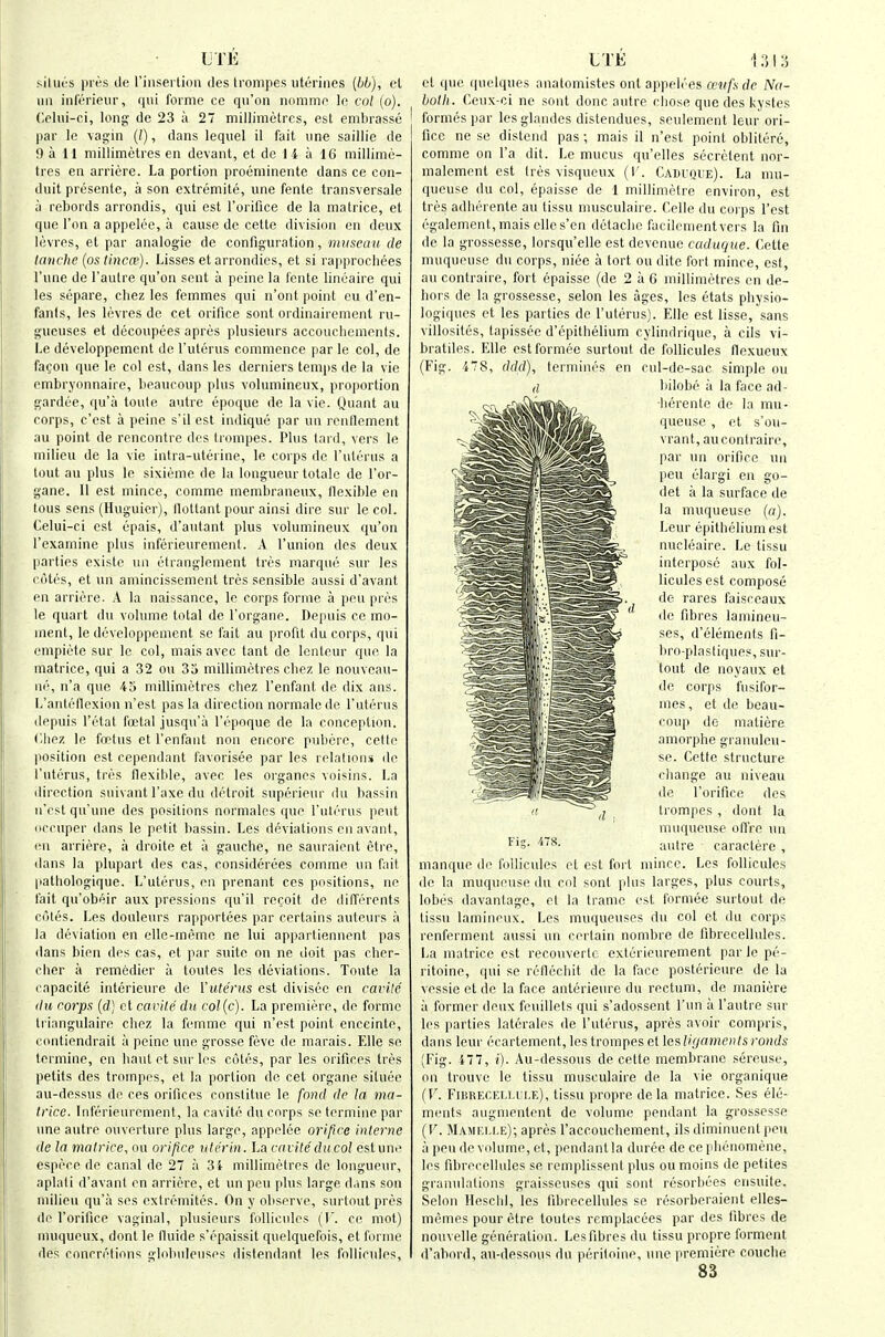 IJTE silucs pies lie rinsertion des trompes uterines {bb), cl nil inft'rieur, qui forme cc qii'on luimme le col (o). (;pliii-ci, long de 23 a 27 millimetres, est embrasse par le vagin (/), dans leqiiel il fait line saillie de 9 a 11 millimetres en devant, et de 1 i a 16 millime- tres en arriere. La portion proeminente dans ce con- duit presente, a son extremite, una fente transversale u rebords arrondis, qui est rorifice de la matrice, et que Ton a appelee, a cause de cette division en deux levres, et par analogie de configuration, iniiseau de tanche (os tincce). Lisses et arrondies, et si rapprochees I'une de I'autre qu'on sent a peine la fente lineaire qui les separe, cbez les femmes qui n'ont point cu d'en- fants, les lovres de cet orifice sont ordinairoment ru- gueuses et decoupees apres plusieurs accoiicbements. Le developpement de I'uterus commence par le col, de facon que le col est, dans les derniers temjis de la vie cmbryonnaire, beaucoup plus volumineux, proportion gardi'e, qu'ii toute autre epoque de la vie. Quant au corps, c'est a peine s'il est indique par un reiillement au point de rencontre des trompes. Plus tard, vers le milieu de la vie intra-uterine, le corps de I'uIim us a tout au plus le sixieme de la longueur totale de I'or- gane. II est mince, comme membraneux, flexible en tons sens (Huguicr), llottant pour ainsi dire sur lecol. Celui-ci est cpais, d'autant plus volumineux qu'on I'examine plus inferieurement. A I'union des deux parties existc un etranglement tres marque sur les cotes, et un aniincissemcnt tres sensible aussi d'avant en arriere. A la naissance, le corps forme a pou pres le quart du volume total de I'organe. Depuis ce mo- ment, le developpement se fait au profit du corps, qui empiete sur Ic col, mais avec tant de Icnteiir que la matrice, qui a 32 ou 33 millimetres cbez le nouvcau- ne, n'a quo -43 millimetres cbez I'enfant de dix ans. L'antellexion n'est pas la direction normale de Tuterus depuis I'etat foetal jusqu'a I'epoque de la conception. (Ibez le foetus et I'enfant non encore pubcre, cede position est cependant favorisee par les relations de I'uterus, tres flexilile, avec les organcs voisins. La direction suivant I'axe du detroit superieur du bassin ii'est qu'une des positions normales que I'uterus pent occiiper dans le petit bassin. Les deviations en avant, en arriere, a droite et a gauche, ne sauraient etre, dans la plupart des cas, considerees comme un fait patliologique. L'utih'us, en prenant ces positions, ne fait qu'obeir aux pressions qu'il refoit de differents coles. I^es douleurs rapportees par certains auteurs a la deviation en elle-ineme ne lui appartiennent pas dans bien des cas, et par suite on ne doit pas cber- cher a remedier a loutes les deviations. Toule la capacite interieure de Yute'rus est divisec en cavitc du rorps (d) et cavile du col{c). La premiere, de forme tiiangulaire cbez la femme qui n'est point enceinte, ciuitiendrait a peine une grosse feve de marais. EUe so lermine, en liaut et sur les cutes, par les orifices tres petits des trompes, et la portion de cet organc situee au-dessus de ces orifices constitue le fond de la ma- trice. Inferieurement, la cavite du corps se termine par une autre ouverture plus large, appelee oripce interne de In matrice, ou orifice ulcrin. La cavile du col est une cspece de canal de 2 a 34 millimetres de longueur, aplati d'avant en arriere, et un pcu plus large dans son milieu qu'a ses extremites. On y observe, surlout pres de I'orifice vaginal, plusieurs follicules {V. ce mot) muqueux, dont le fluide s'epaissit quelquefois, et forme des concretions globiileuses distendant les follicules. LTE 1I ct que quelques anatomistes out appeb'es cetifs dc Na- bolh. Ceux-ci ne sont done autre cliose que des kysles formes par lesglandes distendues, seulement leur ori- fice ne se distend pas; mais il n'est point oblitere, comme on I'a dit. Le mucus qu'elles secrctent nor- malement est tres visqueux (!'. Cadi'QL'e). La mu- qucuse du col, epaisse de 1 millimetre environ, est tres adherenle au tissu musculaire. Celle du corps Test egalement,mais elles'en detacbc facilementvers la fin dc la grossesse, lorsqu'elle est devenue caduque. Cette muqueuse du corps, niee a tort ou dite fort mince, est, au contraire, fort epaisse (de 2 a 6 millimetres en de- hors de la grossesse, selon les ages, les etats physio- logiques et les parties de I'uterus). Elle est lisse, sans villosites, tapissee d'epithelium cylindrique, a cils vi- bratiles. Elle estformee surtout de follicules flexueux (Fig. 478, ddd), termincs en cul-de-sac simple ou bilobe il la face ad- •lierente de la mu- queuse , ct s'ou- vrant, au contraire, par un orifice un pen elargi en go- det a la surface de la muqueuse (a). Leur epithelium est nucleaire. Le tissu interpose aux fol- licules est compose de rares faisceaux de fibres lainineu- ses, d'elements fi- bro-plastiques, sur- tout de noyaux et de corps fiisifor- mes, et de beau- coup de matiere amorphe granuleu- se. Cetle structure change au niveau de I'orifice des trompes , dont la muqueuse ofl're un ^'S- autre caractere , manque de follicules et est fort mince. Les follicules de la muqueuse du col sont phis larges, plus courts, lobes davantage, el la trame est formee surtout de tissu lamineux. Les muqueuses du col et du corps renferment aussi un certain nombre de flbrecellules. La matrice est recouvertc exierieurement par le pe- ritoine, qui se reflecbit dc la face posterieure de la vessie et de la face anterieure du rectum, de maniere a former deux fouillets qui s'adossent I'un a I'autre sur les parties latcrales de I'utt'rus, apres avoir compris, dans leur ecartement, les trompes et les ligaments rond>; (Fig. 477, i). Au-dessous de cette membrane sereuse, on trouve le tissu musculaire de la vie organique (F. Fibrecei,li;i.e), tissu propre dela matrice. Ses ele- ments aiigmentent de volume pendant la grossesse (F. Mameij.e); apres I'accoucbement, ils diminuent pen a pen de volume, et, pendant la duree de ce phenomene, les fibrecellules se i cmplissent plus ou moins de petites granulations graisseuses qui sont resorbees cnsuite. Selon Hesclil, les fibrecellules se resorberaient elles- memes pour etre toutes remplacees par des fibres de nouvelle generation. Lesfibresdu tissu propre forment (I'abnrd, au-dessous du periloine, une premiere couche 83