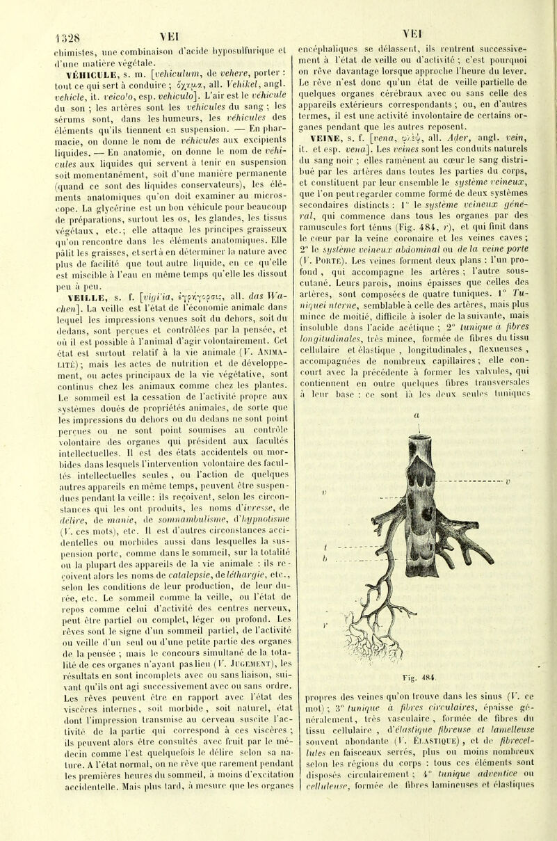 i;5-i8 VEI chimistes, line combinaisoii d'acide liypnsulfnnfiiip oL d'unfi inaliere vegctale. VLHICULE, s. in. [vehiculum, do vehere, porter: tout ce qui sert a conduire ; i'yjI-'-'o al'- yehikel, angl. vehicle, it. vetco'o, cs]). vehiculo]. L'air est Ic reTiifw/e dii son ; les arteres sent les vehicules du sang ; les serums sont, dans les humeurs, les vehicules des elements qu'ils liennent en suspension. — En pliar- macie, on donnc le noni de vehicules aux excipients liquides. — En analomie, on donne le nom de vehi- cules aux liquides qui servent a tenir en suspension soil momentanement, soil d'une maiiiere permanenle (quand ce sont des liquides conservateurs), les ele- ments anatoniiques qu'on doit examiner au micros- cope. La glycerine est un bon vehicule pour beaucoup de preparations, surtoul les os, les glandes, les tissus vegetaux, etc.; elle attaque les principes graisseux qu'on rencontre dans les elements analomiqiies. Elle palit les graisses, etserta en detei miner la nature avcc plus de facilite que tout autre liquide, en ce qu'elle est miseilile a I'eau eu meme temps qu'elle les dissout pen a pen. VEILLE, s. f. [n/(/i('a, e-j-prlvop<7i:, all. d(ts W'a- chen]. La voillc est I'elat de I'economie animate dans leijuel les impressions venues soil du dehors, soitdii dedans, sont percues et controlees par la pensec, ct on il est possible a I'animal d'agir volontairement. C.el etat est surtout relatif a la \ie animale {V. Anim.\- LiTii); niais les actes de nutrition et de dcveloppc- ment, on actes principaux de la vie vegetative, sont continus cliez les animaux comme cliez les plantes. Le sonimeil est la cessation de I'activite propre aux systemes doues de proprietes auimales, de sorle que les impressions du dehors ou du dedans ne sont point percues ou ne sont point soumises au contrnle volontaire des organes qui president aux facultes intelleetiielles. II est des etats accidentels ou mor- bides dans Icsqnels I'intervention volontaire des facul- tcs intellectuelles seules , ou Taction de quelques autres appareils en meme temps, peuvent etre suspen- diics pendant la veiile-. ils recoivent, selon les circon- stances qui les out prodiiits, los noms d'ivre-ise, de delire, de mnnie, de somnambulisnie, iVhypnotisme {V. cos mots), etc. II est d'autrcs circoiistances acci- denlelles ou morbides aussi dans lesqueiles la sus- pension portc, comme dans le sommeil, sur la totalite ou la pluparl des appareils de la vie animale : ils re- coivent alors les iioms do calalepsie, Aelclharc/ie, etc., selon les conditions de leur production, de leur du- ree, etc. Le sommeil comme la veillc, ou Telal de repos comme cehii d'activite des centres ncrveux, pent etre partiel ou complet, leger ou profond. Les reves sont le signe d'un sommeil partiel, de I'activite ou veiile d'un seul ou d'une petite partic des organes de la pensee ; mais le concours simuilane de la tota- lite de ces organes n'ayant pas lieu ( T. .Iucemf.nt), les resultats en sont incomplets avec ou sans liaison, sui- vant qu'ils out agi succcssivement avec ou sans ordre. Les reves peuvent etre en rapport avec I'etat des visceres internes, soit morbide , soil nalurel, etat donl I'impression Iransmise au cerveau suscile I'ac- livile de la partic qui correspond a ces visceres ; ils peuvent alors etre consultcs avec fruit par le mc- deciii comme Test quelquefois le delire selon sa na- ture. A I'etat normal, on ne reve que rarement pendant les premieres heurcs du sommeil, a nioins d'excitalinn accidentelle. Mais plus lard, a mesure que les organes enceplialiques se delasseni, ils renlreiit successive- ment a I'etat de veiile ou d'activite ; c'est pourquoi on reve davantage lorsquc approclie Theure du lever. Le reve n'est done qu'un etat de veiile partielle de quelques organes cerebraux avec ou sans celle des appareils exterieurs correspondants ; ou, en d'aiitres termes, il est une activite involontaire de certains or- ganes pendant que les autres reposent. VEINE, s. f. [vena, o'-'^'i, all. Acler, angl. vein, it. et esp. vena]. Les veines sont les conduits naturels du sang noir ; elles ramencnt au coeur le sang distri- bue par les arteres dans toutes les parlies du corps, et constituent par leur ensemble le sysl'eme veineux, que Ton peiitregarder comme forme de deux systemes secondaires distincts: 1 ](i sysleme veineux gene- ral, qui commence dans tous les organes par des ramuscules fort tenus (Fig. 484, r), et qui finit dans le ceeur par la veine coronaire et les veines caves ; 2 le systeme veineux abdominal ou rip la veine porle (F. Porte). Les veines forment deux plans : I'un pro- fond , qui accompagne les arteres ; Tautre sous- cutaiie. Leurs parois, moins epaisses que celles des arteres, sont composees de quatre tuniques. 1 Tu- nirjuei nicrne, semblableii celle des arteres, mais plus mince de moilie, difficile a isoler de la siiivante, mais insoluble dans I'acide acelique ; 2 lunique it. fibres longiludinales, tres mince, formee de fibres du tissu cellulaire et elaslique , longiludinales, llexueuses , accompagnees de nombreiix capillaires; elle con- court avec la precedente a former les valvules, qui coiitiennent en outre quelques fibres Iransversales a leiu- base : ce sonl la les deux seules tuniques u v r V Fig. iU. propres des veines qu'on Irouve dans les sinus (I', ce mot) ; 3 lunique a fdires circulaires, epaisse ge- neralcmeut, Ires vasculaire , formee de fibres du tissu cellulairi>. , (Vclastique fibreuse el lamelleuse souvcnl abondante (f. Ej.astiqi-e) , et de pbrecel- lutes en faisceaux series, ])liis ou moins nomhieux selon les regions du corps : tous ces elements sont disposes circulairemenl ; i lunique adrentice ou celluleiixe, formee ile lilires Inmineiises et elastiques