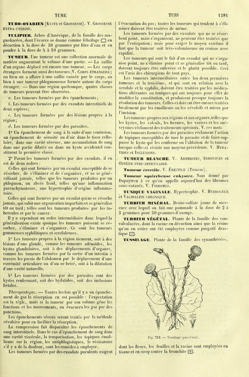 TUBO-OV4RIEIV (KvsTE et Grossesse). V. Grossesse EXTRA-UTÉRINE. TULIPIER. Arbre d'Amérique, de la famille des ma- gnoliacées, dont l'écorce se donne comme fébrifuge □ en décoction à la dose de 30 grammes par litre d'eau et en poudre à la dose de Zi à 10 grammes. TUMEUR. Une tumeur est une coUeclion anormale de matière augmentant le volume d'une partie. —La saillie d'un organe déplacé est encore une tumeur. — Les corps étrangers forment aussi des tumeurs (V. Corps étrangers); ou bien on a affaire à une saillie causée par le corps, ou bien à une tumeur phlegmoneuse formée autour du corps étranger, — Dans une région quelconque, quatre classes de tumeurs peuvent être observées. a. Les tumeurs formées par des épanchements ; b. Les tumeurs formées par des exsudats interstitiels de deux espèces ; c. Les tumeurs formées par des lésions propres à la région ; d. Les tumeurs formées par des parasites. 1° Un épanchement de sang à la suite d'une contusion, un épanchement de sérosité ou d'air dans le tissu cellu- laire, dans une cavité séreuse, une accumulation de sang dans une partie dilatée ou dans un kyste accidentel con- stituent la première classe. 2° Parmi les tumeurs formées par des exsudats, il en est de deux ordres : Celles qui sont formées par un exsudât susceptible de se résorber, de s'éliminer et de s'organiser, et ne se géné- ralisant jamais, telles que les tumeurs produites par un phlegmon, un abcès froid, telles qu'une inflammation parenchymateuse, une hypertrophie d'origine inflamma- toire. Celles qui sont formées par un exsudât qui ne se résorbe jamais, qui subit une organisation imparfaite et se généralise tôt ou tard ; telles sont les tumeurs produites par les tu- bercules et par le cancer. Il y a cependant un ordre intermédiaire dans lequel la généralisation existe quoique les tumeurs puissent se ré- sorber, s'éliminer et s'organiser. Ce sont les tumeurs gommeuses syphilitiques et scrofuleuses. 3° Les tumeurs propres à la région tiennent, soit à des lésions d'une glande, comme les tumeurs adénoïdes, les kystes glandulaires, soit à des déplacements d'organes, comme les tumeurs formées par la sortie d'un intestin à travers les parois de l'abdomen par le déplacement d'une extrémité articulaire ou d'un os brisé, soit à la dilatation d'une cavité naturelle. W Les tumeurs formées par des parasites sont des kystes renfermant, soit des hydatides, soit des inclusions fœtales. Thérapeutique. — Toutes les fois qu'il y a un épanche- ment de gaz la résorption en est possible : l'expeclation est la règle, mais si la tumeur par son volume gêne les fonctions et les mouvements, on évacuera les gaz par des ponctions. Les épanchements séreux seront traités par la méthode révulsive pour en faciliter la résorption. La compression fait disparaître les épanchements de sang interstitiels. Dans le cas d'épanchement de sang dans une cavité viscérale, la temporisation, les topiques émol- lients sur la région, les antiphlogistiques, le vésicatoire s'il y a de la douleur, sont les remèdes à employer. Les tumeurs formées par des exsudats purulents exigent l'évacuation du pus ; toutes les tumeurs qui tendent à s'éli- miner doivent être traitées de même. Les tumeurs formées par des exsudais qui ne se résor- bent point, mais s'organisent, ne peuvent être traitées que par l'extirpation ; mais pour exiger le moyen extrême il faut que la tumeur soit très-volumineuse ou croisse avec rapidité. Les tumeurs qui sont le fait d'un exsudât qui ne s'orga- nise point, ne s'élimine point et se généralise tôt ou tard, doivent toujours être enlevées et le plutôt possible. Ceci est l'avis des chirurgiens de tout pays. Les tumeurs intermédiaires entre les deux premières tumeurs et la troisième, et qui sont en relation avec la scrofule et la syphilis, doivent être traitées parles médica- tions altérantes ou toniques qui ont toujours pour effet de modifier la constitution, et produisent presque toujours la résolution des tumeurs. Celles-ci doivent être encore traitées localement par les émollients ou les révulsifs et mieux par l'incision. Les tumeurs propres aux régions et aux organes,telles que les kystes, les calculs, les hernies, les varices et les ané- vrysmes réclament des traitements spéciaux. V. ces mots Les tumeurs formées par des parasites réclament l'action de topiques susceptibles de tuer le parasite et de faire sup- purer le kyste qui les renferme ou l'ablation de la tumeur lorsque celle-ci résiste aux moyens précédents. V. Hyda- tides et Inclusions. TUMEUR BLillWCIIE. V. ARTHRITES, SYNOVITES et Ostéite péri-articulaire. Tumeur orecsîle. V. ÉrectILE (Tumeur). Tumeur squirrhcnse enkystée. Nom donné par Dupuytren à ce qu'on appelle aujourd'hui des fibromes sous-cutanés. V. Fibromes. TU1\IQUE VAGil^ALE. Hypertrophie. V. IIydrocèle et Vaginalite chronique. TURBITH muvÉRAL. Deuto-sulfate jaune de mer- cure avec lequel on fait une pommade à la dose de 2 à 3 grammes pour 30 grammes d'axonge. TURKITll VÈCÉTAL. Plante de la famille des con- volvulacées, dont la racine en décoction ainsi que la résine qu'on en retire ont été employées comme purgatif dras- tique FH. TUSSILAGE. Plante de la famille des synanthérées, Fig. 112. — Tussilage (pas-dïmo). dont les fleurs, les feuilles et la racine sont employées en tisane et en sirop contre la bronchite \±}.