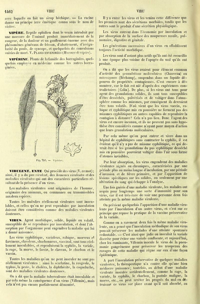 avfcc laquelle on fait un sirop béchiquc, — La racine donne un principe àcre éniétique connu sous le nom de viotiiie. VIPÈRE. Replilc ophidien dont le venin introduit par une morsure de l'animal produit immédiatement de la rougeur, de la douleur et un gonflement énorme avec des phénomènes généraux de frisson, d'abattement, d'irrégu- larité du pouls, de syncope, et quelquefois de convulsions suivies de mort. V. Plaies envenimées {Morsure de vipère). YIPÉRllME. Plante de la famille des borraginécs, quel- quefois employée en médecine comme les autres borra- ginécs. Fig. 750. — Viréniif. VIRULEIVT, El^TE. Qui procède des virus (V. cemot) ; ainsi, il y a du pus virulent, des humeurs virulentes et des maladies virulentes qui ont des caractères particuliers ré- sultant de la présence d'un virus. Les maladies virulentes sont originaires de l'homme, originaire des animaux, ou communes ou transmissibles aux deux espèces. Toutes les maladies réellement virulentes sont inocu- lables, et celles qu'on ne peut reproduire par inoculation doivent être considérées comme des maladies virulentes douteuses. VIRUS. Agent morbifique, solide, liquide ou volatil, susceptible de se reproduire par inoculation, et dont l'ab- sorption par l'organisme peut engendrer la maladie qui lui a donné naissance. Les virus syphilitique, varioleux, rabique, morveux e' farcineux, claveleux, charbonneux, vaccinal, sont tous réel- lement inoculables, et reproduisent la syphilis, la variole, tarage, la morve, le farcin, le claveau, le charbon et le vaccin. Toutes les maladies qu'on ne peut inoculer ne sont pas réellement virulentes : ainsi la scarlatine, la rougeole, le typhus, la peste, le choléra, la diphthérite, la coqueluche, sont des maladies virulentes douteuses. On a dit que la maladie tuberculeuse était inoculable et par cela môme la conséquence d'un virus (Villemin), mais cela n'est pas encore parfaitement démontré. 11 y a entre les virus et les venins cette différence que les premiers sont des sécrétions morbides, tandis que les autres sont le produit d'une sécrétion physiologique. Les virus entrent dans l'économie par inoculation et par absorption de la surface des muqueuses nasale^ pul- monaire, digestive et génitale. Les générations successives d'un virus en affaiblissent toujoiu's l'activité morbifique. Les virus sont d'autant plus actifs qu'ils ont été recueillis à une époque plus voisine de l'apogée du mal qu'ils ont produit. On a dit que les virus avaient pour élément commun d'activité des granulations moléculaires (Chauveau) ou microzymas (Béchamp), suspendus dans un liquide dé- pourvu de propriétés contagieuses. C'est encore à dé- montrer, car le fait est nié d'après des expériences con- tradictoires (Colin). De plus, si les virus ont tous pour agent des granulations solides, ils sont tous susceptibles d'être desséchés, pulvérisés et de voltiger dans l'atmo- sphère comme les miasmes, par conséquent ils devraient être tous volatils. D'où vient que les virus vaccin, ra- bique et syphilitique mis en poussière ne forment pas des miasmes syphilitiques ou autres capables de reproduire la contagion à distance? Cela n'a pas lieu. Donc l'agent des virus est encore inconnu, et ils ne peuvent pas sans hypo- thèse être considérés comme n'ayant pour moyen d'action que leurs granulations moléculaires. Par cela même qu'on peut entrer et vivre dans un hôpital de syphilitiques sans contracter la syphilis, il est évident qu'il n'y a pas de miasme syphilitique, ce qui de- vrait être si les granulations du pus syphilitique desséché mis en poussière pouvaient voltiger dans l'air sous forme d'atomes invisibles. Par leur absorption, les virus engendrent des maladies virulentes aiguës ou chroniques, caractérisées par une période plus ou moinslongue d'incubation, par une période d'invasion et de fièvre primaire, et par l'apparition de lésions spécifiques sur les solides, ou seulement par une altération du sang qui échappe à l'analyse. Une fois guéris d'une maladie virulente, les malades ont acquis pour longtemps une sorte d'immunité pour son virus, car il est très-rare de voir une personne deux fois atteinte par la même maladie virulente. On prévient quelquefois l'apparition d'une maladie viru- lente par l'inoculation d'un autre virus, et c'est sur ce principe que repose la pratique de la vaccine préservative de la variole. Comme on a rarement deux fois la même maladie viru- lente, on a pensé que l'inoculation méthodique de son virus pouvait préserver les malades d'une atteinte spontanée redoutable. — C'est ainsi que jadis on inoculait la variole discrète pour éviter une variole confluente, et aujourd'hui, chez les ruminants, Villemin inocule le virus de la pneu- monie gangréneuse pour préserver les troupeaux des ravages de cette maladie qui règne sur eux d'une façon épidémique. A part l'inoculation préservative de quelques maladies virulentes, la thérapeutique n'a contre elle qu'une bien médiocre puissance; toutefois, au début d'une maladie virulente inoculée accidentellement, comme la rage, la variole, la syphilis, le charbon, la pustule maligne, la morve, etc., on peut arrêter les progrès du mal en dé- truisant ce virus sur place avant qu'il soit absorbé, au