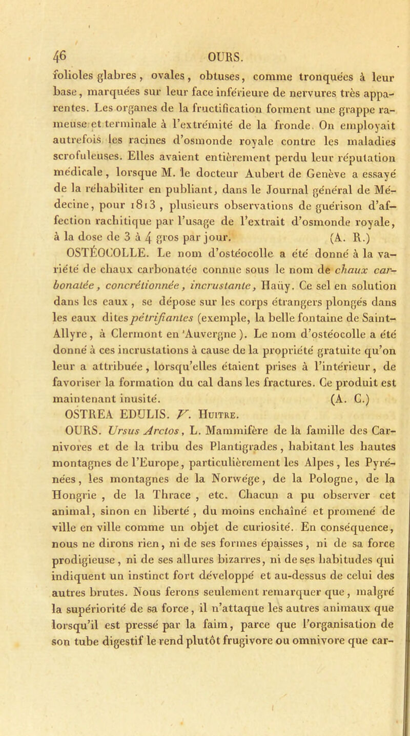 folioles glabres, ovales, obtuses, comme tronquées à leur base, marquées sur leur face inférieure de nervures très appa- rentes. Les organes de la fructification forment une grappe ra- meuse et terminale à l’extrémité de la fronde. On employait autrefois les racines d’osmonde royale contre les maladies scrofuleuses. Elles avaient entièrement perdu leur réputation médicale , lorsque M. le docteur Aubert de Genève a essayé de la réhabiliter en publiant, dans le Journal général de Mé- decine, pour 1813 , plusieurs observations de guérison d’af- fection rachitique par l’usage de l’extrait d’osmonde royale, à la dose de 3 à 4 gros par jour. (A. R.) OSTÉOCOLLE. Le nom d’ostéocolle a été donné à la va- riété de chaux carbonate'e connue sous le nom de chaux car- bonalée, concrétionnée, incrustante, Haüy. Ce sel en solution dans les eaux , se dépose sur les corps étrangers plongés dans les eaux dites pétrifiantes (exemple, la belle fontaine de Saint- Allyre, à Clermont en'Auvergne ). Le nom d’ostéocolle a été donné à ces incrustations à cause de la propriété gratuite qu’on leur a attribuée, lorsqu’elles étaient prises à l’intérieur, de favoriser la formation du cal dans les fractures. Ce produit est maintenant inusité. (A. C.) OSTREA EDULIS. V. Huître. OURS. Ursus Arcios, L. Mammifère de la famille des Car- nivores et de la tribu des Plantigrades, habitant les hautes montagnes de l’Europe, particulièrement les Alpes, les Pyré- nées, les montagnes de la Norwége, de la Pologne, de la Hongrie , de la Thrace , etc. Chacun a pu observer cet animal, sinon en liberté , du moins enchaîné et promené de ville en ville comme un objet de curiosité. En conséquence, nous ne dirons rien, ni de ses formes épaisses, ni de sa force prodigieuse , ni de ses allures bizarres, ni de ses habitudes qui indiquent un instinct fort développé et au-dessus de celui des autres brutes. Nous ferons seulement remarquer que, malgré la supériorité de sa force, il n’attaque les autres animaux que lorsqu’il est pressé par la faim, parce que l’organisation de son tube digestif le rend plutôt frugivore ou omnivore que car- i