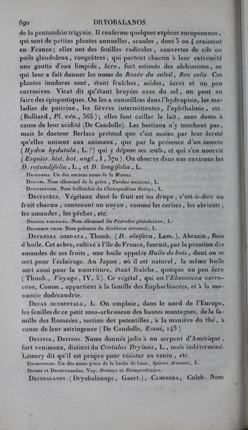 6go DRYOBALANOS. de la peutandrie trigynie. Il renferme quelques espèces européennes , qui sont de petites plantes annuelles, acaules , dont 3 ou 4 croissent en France; elles ont des feuilles radicales, couvertes de cils ou poils glanduleux, rougeâtres, qui portent cliacun h leur extrémité une goutte d’eau limpide, âcre, fort estimée des alchimistes, ce qui leur a fait donner les noms de Rosée du soleil ^ Ros solis. Ces plantes inodores sont, étant fraîches, acides, âcres et un peu corrosives. Vicat dit qu^étant broyées avec du sel, on peut en faire des épispastiques. On les a conseillées dans l’hydropisie, les ma- ladies de poitrine, les fièvres intermittentes, l’ophthalmie , etc. (Bulliard , P/. 365); elles font cailler le lait, sans doute à cause de leur acidité (De Candolle). Les bestiaux n’y touchent pas, mais le docteur Berlace prétend que c’est moins par leur âcreté qu’elles nuisent aux animaux, que par la présence d’un insecte [Hydra hydatula, L.?) qui y de'pose ses œufs, et qui s’en nourrit ( Esquiss. hist. bot. angl., 1,370 ). On observe dans nos environs les D. rotundifolia f L., et T), longifolia , L. Drosomeu. Un des anciens noms de la Manne. Drossel. Nom allemand de la grive , Tardas musicus, L. Druive.vkruid. Nom hollandais du Chenopodiuni Botrys, L. Drcpacées. Végétaux dont le fruit est un drupe , c’est-à-dire un fruit charnu , contenant un noyau , comme les cerises , les abricots , les amandes , les pêches , etc. Drusige psorbalea. Nom allemand du Psoratea gtandnlosa , L. DflïAsiEW POLNE. Nom polonais du Scabiosa arvensis, L. Dryandra cordata, Thunb. (Z>. olei/era, Lam.), Abrazin, Bois d’huile. Cet arbre, cultivé à l’ile de France, fournit, par la pression drs amandes de ses fruits , une huile appelée Huile de bois, dont on se sert pour l’éclairage. Au Japon , où il est naturel, la même huile sert aussi pour la nourriture, étant^fraîche, quoique un peu âcre ( Thunb., Voyage i IV, 5). Ce végétal, qui est VElæococca verni- cosa, Comm., appartient à la famille des Euphorbiacées, et à la mo- noécic dodécandrie. Dryas octopetala , L. On emploie, dans le nord de l’Europe, les feuilles de ce petit sous-arbrisseau des hautes montagnes, delà fa- mille des Rosacées, section des potenlilles , à la manière du thé, à cause de leur astringence (De Candolle, Essai, i43). Dryinüs, Dryinos. Noms donnés jadis à un serpent d’Amérique, fort venimeux, distinct du Crotaliis Dryinas, L., mais indéterminé. Lémery dit qu’il est propre pour résister au venin , etc. Drïmopocon. Uq des noms g^'ecs de la barbe de bouc, Spircra Aruncus, L. * Drtmis et DhtmtrrhizÉes. Voy. Drimys et Drimyrrhizèes. Dryobalanos ( Dryobalanops, Gaert.), Camphora, Coleb. jVom