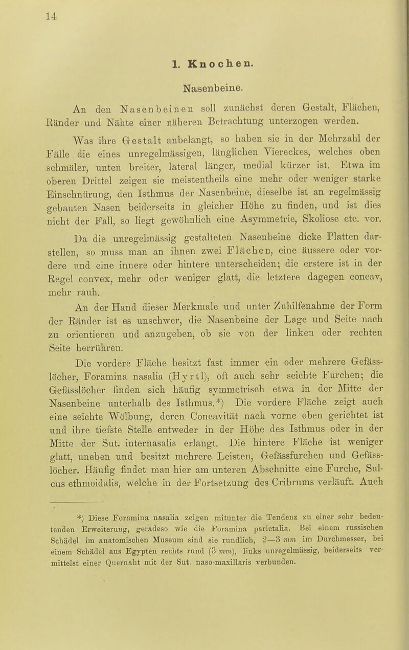 1-1 1. Knochen. Nasenbeine. An den Nasenbeinen soll zunächst deren Gestalt, Flächen, Ränder und Nähte einer näheren Betrachtung unterzogen werden. Was ihre Gestalt anbelangt, so haben sie in der Mehrzahl der Fälle die eines unregelmässigen, länglichen Viereckes, welches oben schmäler, unten breiter, lateral länger, medial kürzer ist. Etwa im oberen Drittel zeigen sie meistentheils eine mehr oder weniger starke Einschnürung, den Isthmus der Nasenbeine, dieselbe ist an regelmässig gebauten Nasen beiderseits in gleicher Höhe zu rinden, und ist dies nicht der Fall, so liegt gewöhnlich eine Asymmetrie, Skoliose etc. vor. Da die unregelmässig gestalteten Nasenbeine dicke Platten dar- stellen, so muss man an ihnen zwei Flächen, eine äussere oder vor- dere und eine innere oder hintere unterscheiden; die erstere ist in der Regel convex, mehr oder weniger glatt, die letztere dagegen concav, mehr rauh. An der Hand dieser Merkmale und unter Zuhilfenahme der Form der Ränder ist es unschwer, die Nasenbeine der Lage und Seite nach zu orientieren und anzugeben, ob sie von der linken oder rechten Seite herrühren. Die vordere Fläche besitzt fast immer ein oder mehrere Gefäss- löcher, Foramina nasalia (Hyrtl), oft auch sehr seichte Furchen; die Gefässlöcher finden sich häufig symmetrisch etwa in der Mitte der Nasenbeine unterhalb des Isthmus.*) Die vordere Fläche zeigt auch eine seichte Wölbung, deren Concavität nach vorne oben gerichtet ist und ihre tiefste Stelle entweder in der Höhe des Isthmus oder in der Mitte der Sut. internasalis erlangt. Die hintere Fläche ist weniger glatt, uneben und besitzt mehrere Leisten, Gefässfurchen und Gefäss- löcher. Häufig findet man hier am unteren Abschnitte eine Furche, Sul- cus ethmoidalis, welche in der Fortsetzung des Cribrums verläuft. Auch *) Diese Foramina nasalia zeigen mitunter die Tendenz zu einer sehr bedeu- tenden Erweiterung, geradeso wie die Foramina parietalia. Bei einem russischen Schädel im anatomischen Museum sind sie rundlich, 2—3 mm im Durchmesser, bei einem Schädel aus Egypten rechts rund (3 mm), links unregelmässig, beiderseits ver- mittelst einer Quernaht mit der Sut. naso-maxillaris verbunden.