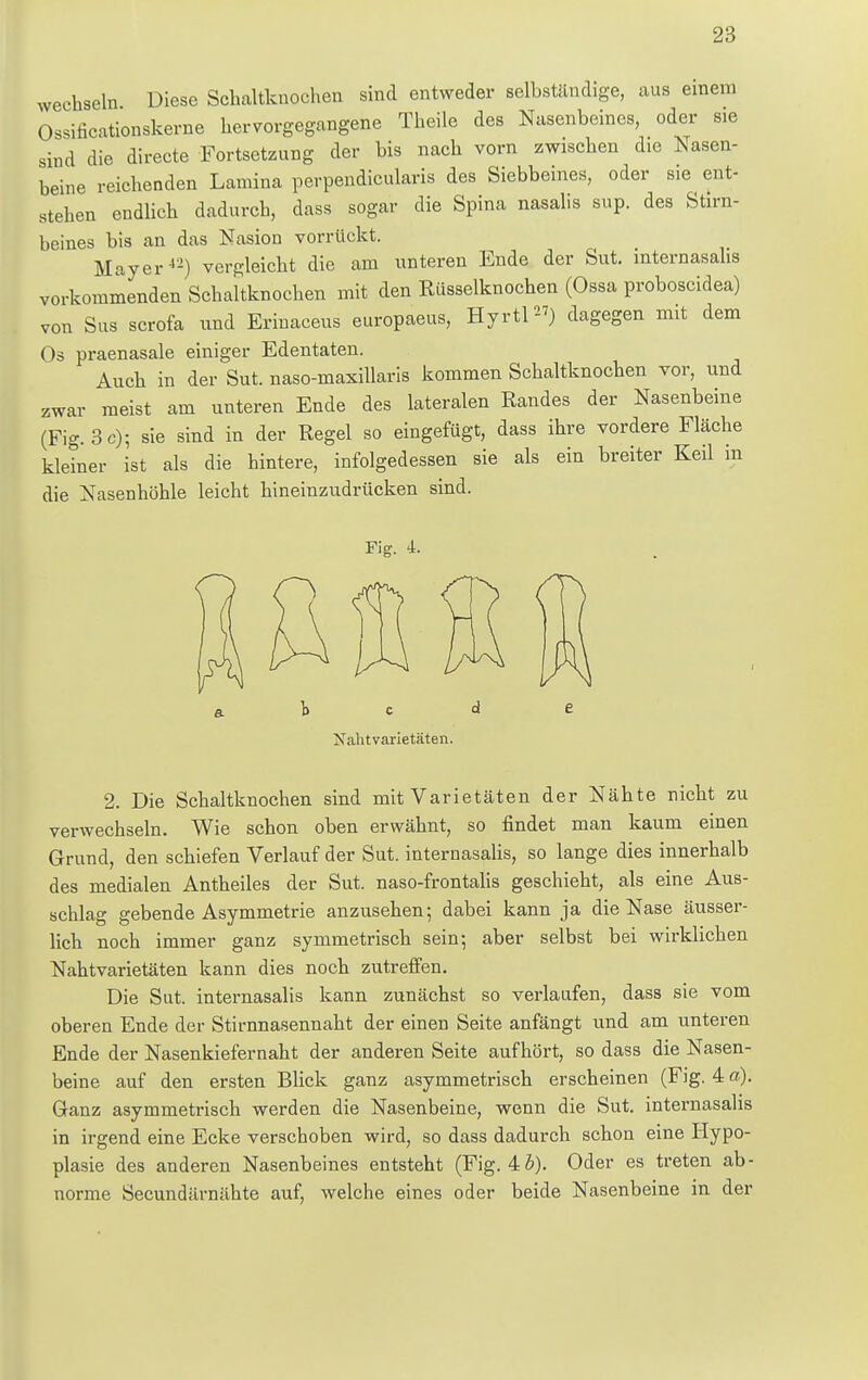 wechseln Diese Schaltknochen sind entweder selbständige, aus einem Ossificationskerne hervorgegangene Theile des Nasenbeines, oder sie sind die directe Fortsetzung der bis nach vorn zwischen die Nasen- beine reichenden Lamina perpendicularis des Siebbeines, oder sie ent- stehen endlich dadurch, dass sogar die Spina nasalis sup. des Stirn- beines bis an das Nasion vorrückt. Mayer12) vergleicht die am unteren Ende der Sut. internasahs vorkommenden Scha'ltknochen mit den Rüsselknochen (Ossa proboscidea) von Sus scrofa und Erinaceus europaeus, Hyrtl«) dagegen mit dem Os praenasale einiger Edentaten. Auch in der Sut. naso-maxillaris kommen Schaltknochen vor, und zwar meist am unteren Ende des lateralen Randes der Nasenbeine (Fig. 3 c); sie sind in der Regel so eingefügt, dass ihre vordere Fläche kleiner ist als die hintere, infolgedessen sie als ein breiter Keil in die Nasenhöhle leicht hineinzudrücken sind. Fig. 4. Nahtvarietäten. 2. Die Schaltknochen sind mit Varietäten der Nähte nicht zu verwechseln. Wie schon oben erwähnt, so findet man kaum einen Grund, den schiefen Verlauf der Sut. internasalis, so lange dies innerhalb des medialen Antheiles der Sut. naso-frontalis geschieht, als eine Aus- schlag gebende Asymmetrie anzusehen; dabei kann ja die Nase äusser- lich noch immer ganz symmetrisch sein; aber selbst bei wirklichen Nahtvarietäten kann dies noch zutreffen. Die Sut. internasalis kann zunächst so verlaufen, dass sie vom oberen Ende der Stirnnasennaht der einen Seite anfängt und am unteren Ende der Nasenkiefernaht der anderen Seite aufhört, so dass die Nasen- beine auf den ersten Blick ganz asymmetrisch erscheinen (Fig. 4 a). Ganz asymmetrisch werden die Nasenbeine, wenn die Sut. internasalis in irgend eine Ecke verschoben wird, so dass dadurch schon eine Hypo- plasie des anderen Nasenbeines entsteht (Fig. 4 6). Oder es treten ab- norme Secundärnähte auf, welche eines oder beide Nasenbeine in der