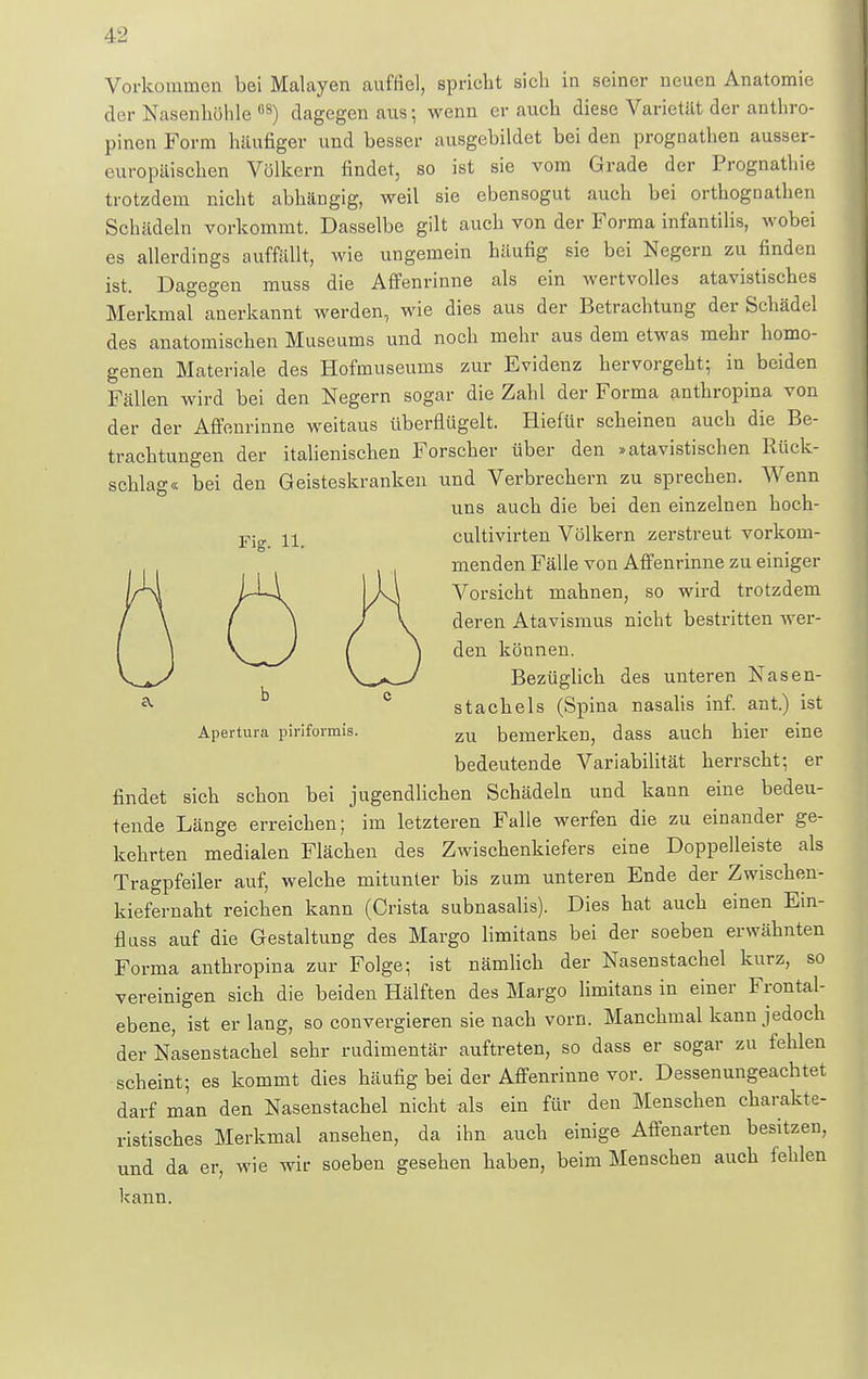 Vorkommen bei Malayen auffiel, spricht sich in seiner neuen Anatomie der Nasenhöhle os) dagegen aus; wenn er auch diese Varietät der anthro- pinen Form häufiger und besser ausgebildet bei den prognathen ausser- europäischen Völkern findet, so ist sie vom Grade der Prognathie trotzdem nicht abhängig, weil sie ebensogut auch bei orthognathen Schädeln vorkommt. Dasselbe gilt auch von der Forma infantilis, wobei es allerdings auffällt, wie ungemein häufig sie bei Negern zu finden ist. Dagegen muss die Affenrinne als ein wertvolles atavistisches Merkmal anerkannt werden, wie dies aus der Betrachtung der Schädel des anatomischen Museums und noch mehr aus dem etwas mehr homo- genen Materiale des Hofmuseums zur Evidenz hervorgeht; in beiden Fällen wird bei den Negern sogar die Zahl der Forma anthropina von der der Affenrinne weitaus überflügelt. Hiefür scheinen auch die Be- trachtungen der italienischen Forscher über den »atavistischen Rück- schlag« bei den Geisteskranken und Verbrechern zu sprechen. Wenn uns auch die bei den einzelnen hoch- Fig ii cultivirten Völkern zerstreut vorkom- menden Fälle von Affenrinne zu einiger Vorsicht mahnen, so wird trotzdem deren Atavismus nicht bestritten wer- den können. Bezüglich des unteren Nasen- stachels (Spina nasalis inf. ant.) ist b Apertura piriformis. zu bemerken, dass auch hier eine bedeutende Variabilität herrscht; er findet sich schon bei jugendlichen Schädeln und kann eine bedeu- tende Länge erreichen; im letzteren Falle werfen die zu einander ge- kehrten medialen Flächen des Zwischenkiefers eine Doppelleiste als Tragpfeiler auf, welche mitunter bis zum unteren Ende der Zwischen- kiefernaht reichen kann (Crista subnasalis). Dies hat auch einen Ein- fluss auf die Gestaltung des Margo limitans bei der soeben erwähnten Forma anthropina zur Folge; ist nämlich der Nasenstachel kurz, so vereinigen sich die beiden Hälften des Margo limitans in einer Frontal- ebene, ist er lang, so convergieren sie nach vorn. Manchmal kann jedoch der Nasenstachel sehr rudimentär auftreten, so dass er sogar zu fehlen scheint; es kommt dies häufig bei der Affenrinne vor. Dessenungeachtet darf man den Nasenstachel nicht als ein für den Menschen charakte- ristisches Merkmal ansehen, da ihn auch einige Affenarten besitzen, und da er, wie wir soeben gesehen haben, beim Menschen auch fehlen kann.