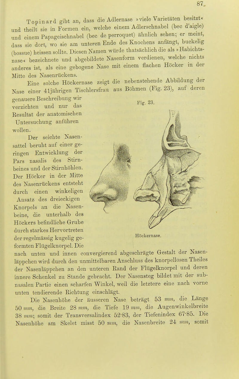 87_ Topinard gibt an, dass die Adlernase »viele Varietäten besitzt« und tbeilt sie in Formen ein, welche einem Adlerschnabel (bec d'aigle) und einem Papageischnabel (bec de perroquet) ähnlich sehen, er meint, dass sie dort, wo sie am unteren Ende des Knochens anfängt, buckelig (bossue) heissen sollte. Diesen Namen würde thatsächlich die als »Habichts- nase« bezeichnete und abgebildete Nasenform verdienen, welche nichts anderes ist, als eine gebogene Nase mit einem flachen Höcker m der Mitte des Nasenrückens. Eine solche Höckernase zeigt die nebenstehende Abbildung der Nase einer 41jährigen Tischlersfrau aus Böhmen (Fig. 23), auf deren genauere Beschreibung wir , -i i Fig. 46. verzichten und nur das Resultat der anatomischen Untersuchung anführen wollen. Der seichte Nasen- sattel beruht auf einer ge- ringen Entwicklung der Pars nasalis des Stirn- beines und der Stirnhöhlen. Der Höcker in der Mitte des Nasenrückens entsteht durch einen winkeligen Ansatz des dreieckigen Knorpels an die Nasen- beine, die unterhalb des Höckers befindliche Grube durch starkes Hervortreten der regelmässig kugelig ge- formten Flügelknorpel. Die nach unten und innen convergierend abgeschrägte Gestalt der Nasen- läppchen wird durch den unmittelbaren Anschluss des knorpellosen Theiles der Nasenläppchen an den unteren Eand der Flügelknorpel und deren innere Schenkel zu Stande gebracht. Der Nasensteg bildet mit der sub- nasalen Partie einen scharfen Winkel, weil die letztere eine nach vorne unten tendierende Richtung einschlägt. Die Nasenhöhe der äusseren Nase beträgt 53 mm, die Länge 50 mm, die Breite 28 mm, die Tiefe 19 mm, die Augenwinkelbreite 38 mm] somit der Transversalindex 52-83, der Tiefenindex 67'85. Die Nasenhöhe am Skelet misst 50 mm, die Nasenbreite 24 mm, somit Höckernase.
