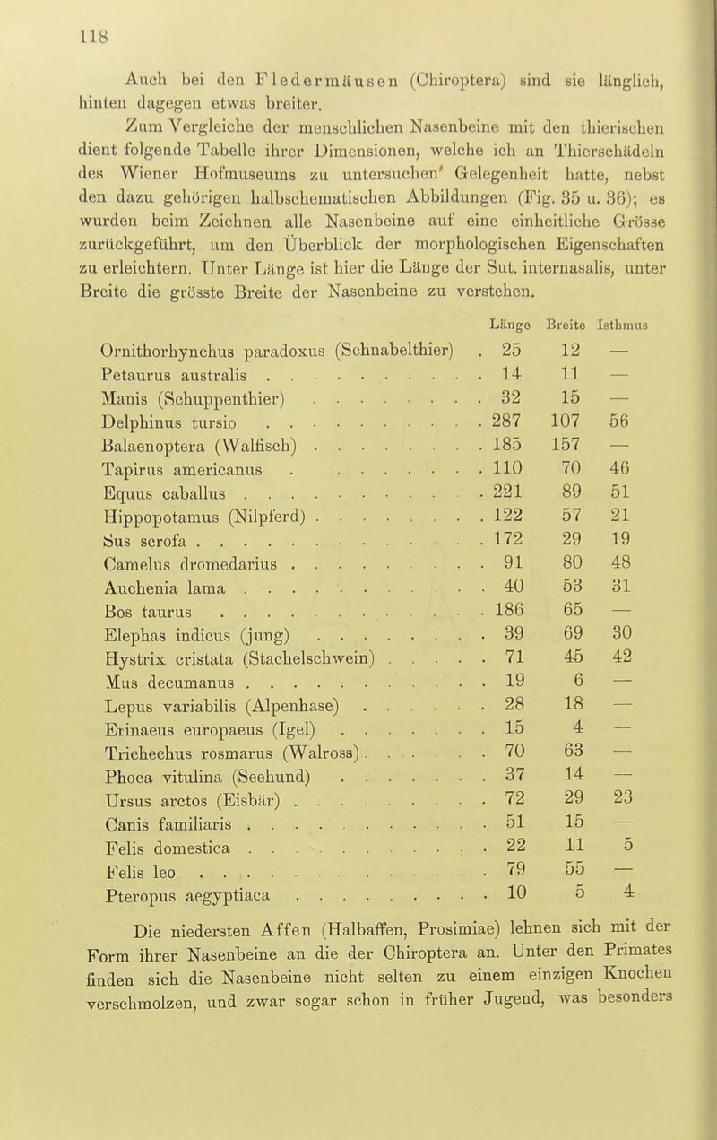 Auch bei den Fledermäusen (Chiroptera) sind sie länglich, hinten dagegen etwas breiter. Zum Vergleiche der menschlichen Nasenbeine mit den thicrischen dient folgende Tabelle ihrer Dimensionen, welche ich an Thierschädeln des Wiener Hofmuseums zu untersuchen' Gelegenheit hatte, nebst den dazu gehörigen halbschematischen Abbildungen (Fig. 35 u. 36); es wurden beim Zeichnen alle Nasenbeine auf eine einheitliche Grösse zurückgeführt, um den Überblick der morphologischen Eigenschaften zu erleichtern. Unter Länge ist hier die Länge der Sut. internasalis, unter Breite die grösste Breite der Nasenbeine zu verstehen. Länge Breite Isthmus Ornithorhynchus paradoxus (Schnabelthier) . 25 12 1 ptrtn ni 4 ü n «itvfil i 14 11 . 32 15 287 107 56 185 157 110 70 46 kfHimn naKo 1 m <5 . 221 89 51 122 57 21 Sin Q dorfifn 172 29 19 91 80 48 . 40 53 31 186 65 . 39 69 30 . 71 45 42 19 6 . 28 18 15 4 70 63 37 14 72 29 23 51 15 22 11 5 79 55 10 5 4 Die niedersten Affen (Halbaffen, Prosimiae) lehnen sich mit der Form ihrer Nasenbeine an die der Chiroptera an. Unter den Primates finden sich die Nasenbeine nicht selten zu einem einzigen Knochen verschmolzen, und zwar sogar schon in früher Jugend, was besonders