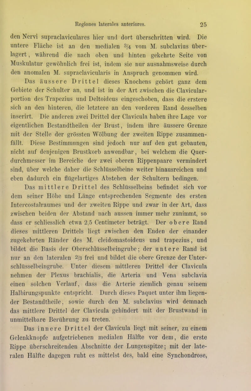 den Nervi supraclaviculares liier und dort überschritten wird. Die untere Fläche ist an den medialen % vom M. subclavius über- lagert , während die nach oben und hinten gekehrte Seite von Muskulatur gewöhnlich frei ist, indem sie nur ausnahmsweise durch den anomalen M. supraclavicularis in Anspruch genommen wird. Das äussere Drittel dieses Knochens gehört ganz dem Gebiete der Schulter an, und ist in der Art zwischen die Clavicular- portion des Trapezius und Deltoideus eingeschoben, dass die erstere sich an den hinteren, die letztere an den vorderen Rand desselben inserirt. Die anderen zwei Drittel der Clavicula haben ihre Lage vor eigentlichen Bestandtheilen der Brust, indem ihre äussere Grenze mit der Stelle der grössten Wölbung der zweiten Rippe zusammen- fällt. Diese Bestimmungen sind jedoch nur auf den gut gebauten, nicht auf denjenigen Brustkorb anwendbar, bei welchem die Quer- durchmesser im Bereiche der zwei oberen Rippenpaare vermindert sind, über welche daher die Schlüsselbeine weiter hinausreichen und eben dadurch ein flügelartiges Abstehen der Schultern bedingen. Das mittlere Drittel des Schlüsselbeins befindet sich vor dem seiner Höhe und Länge entsprechenden Segmente des ersten Intercostalraumes und der zweiten Rippe und zwar in der Art, dass zwischen beiden der Abstand nach aussen immer mehr zunimmt, so dass er schliesslich etwa 2,5 Centimeter beträgt. Der obere Rand dieses mittleren Drittels liegt zwischen den Enden der einander zugekehrten Ränder des M. cleidomastoideus und trapezius, und bildet die Basis der Oberschlüsselbeingrube; der untere Rand ist nur an den lateralen 2/3 frei und bildet die obere Grenze der Unter- schlüsselbeingrube. Unter diesem mittleren Drittel der Clavicula nehmen der Plexus brachialis, die Arteria und Vena subclavia einen solchen Verlauf, dass die Arterie ziemlich genau seinem Halbirungspunkte entspricht. Durch dieses Paquet unter ihm liegen- der Bestandteile, sowie durch den M. subclavius wird demnach das mittlere Drittel der Clavicula gehindert mit der Brustwand in unmittelbare Berührung zu treten. Das innere Drittel der Clavicula liegt mit seiner, zu einem Gelenkknopfe aufgetriebenen medialen Hälfte vor dem, die erste Rippe überschreitenden Abschnitte der Lungenspitze; mit der late- ralen Hälfte dagegen ruht es mittelst des, bald eine Synchondrose,