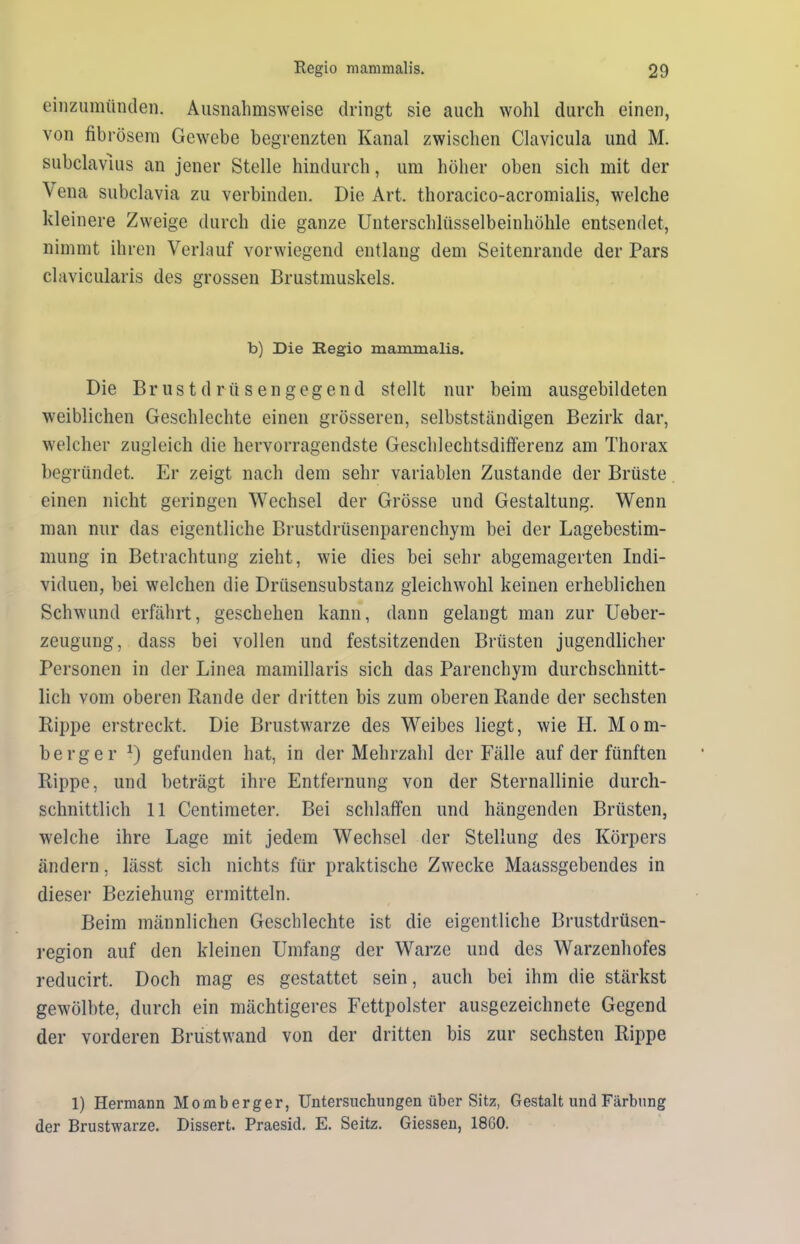 einzumttnden. Ausnahmsweise dringt sie auch wohl durch einen, von fibrösem Gewebe begrenzten Kanal zwischen Clavicula und M. subclavius an jener Stelle hindurch, um höher oben sich mit der \ ena subclavia zu verbinden. Die Art. thoracico-acromialis, welche kleinere Zweige durch die ganze Unterschlüsselbeinhöhle entsendet, nimmt ihren Verlauf vorwiegend entlang dem Seitenrande der Pars clavicularis des grossen Brustmuskels. b) Die Regio mammalis. Die Brustdrüsengegend stellt nur beim ausgebildeten weiblichen Geschlechte einen grösseren, selbstständigen Bezirk dar, welcher zugleich die hervorragendste Geschlechtsdifferenz am Thorax begründet. Er zeigt nach dem sehr variablen Zustande der Brüste einen nicht geringen Wechsel der Grösse und Gestaltung. Wenn man nur das eigentliche Brustdrüsenparenchym bei der Lagebestim- mung in Betrachtung zieht, wie dies bei sehr abgemagerten Indi- viduen, bei welchen die Drüsensubstanz gleichwohl keinen erheblichen Schwund erfährt, geschehen kann, dann gelangt man zur Ueber- zeugung, dass bei vollen und festsitzenden Brüsten jugendlicher Personen in der Linea mamillaris sich das Parenchym durchschnitt- lich vom oberen Rande der dritten bis zum oberen Rande der sechsten Rippe erstreckt. Die Brustwarze des Weibes liegt, wie H. Mom- berg er *) gefunden hat, in der Mehrzahl der Fälle auf der fünften Rippe, und beträgt ihre Entfernung von der Sternallinie durch- schnittlich 11 Centimeter. Bei schlaffen und hängenden Brüsten, welche ihre Lage mit jedem Wechsel der Stellung des Körpers ändern, lässt sich nichts für praktische Zwecke Maassgebendes in dieser Beziehung ermitteln. Beim männlichen Geschlechte ist die eigentliche Brustdrüsen- region auf den kleinen Umfang der Warze und des Warzenhofes reducirt. Doch mag es gestattet sein, auch bei ihm die stärkst gewölbte, durch ein mächtigeres Fettpolster ausgezeichnete Gegend der vorderen Brustwand von der dritten bis zur sechsten Rippe 1) Hermann Hornberger, Untersuchungen über Sitz, Gestalt und Färbung der Brustwarze. Dissert. Praesid. E. Seitz. Giessen, 18G0.