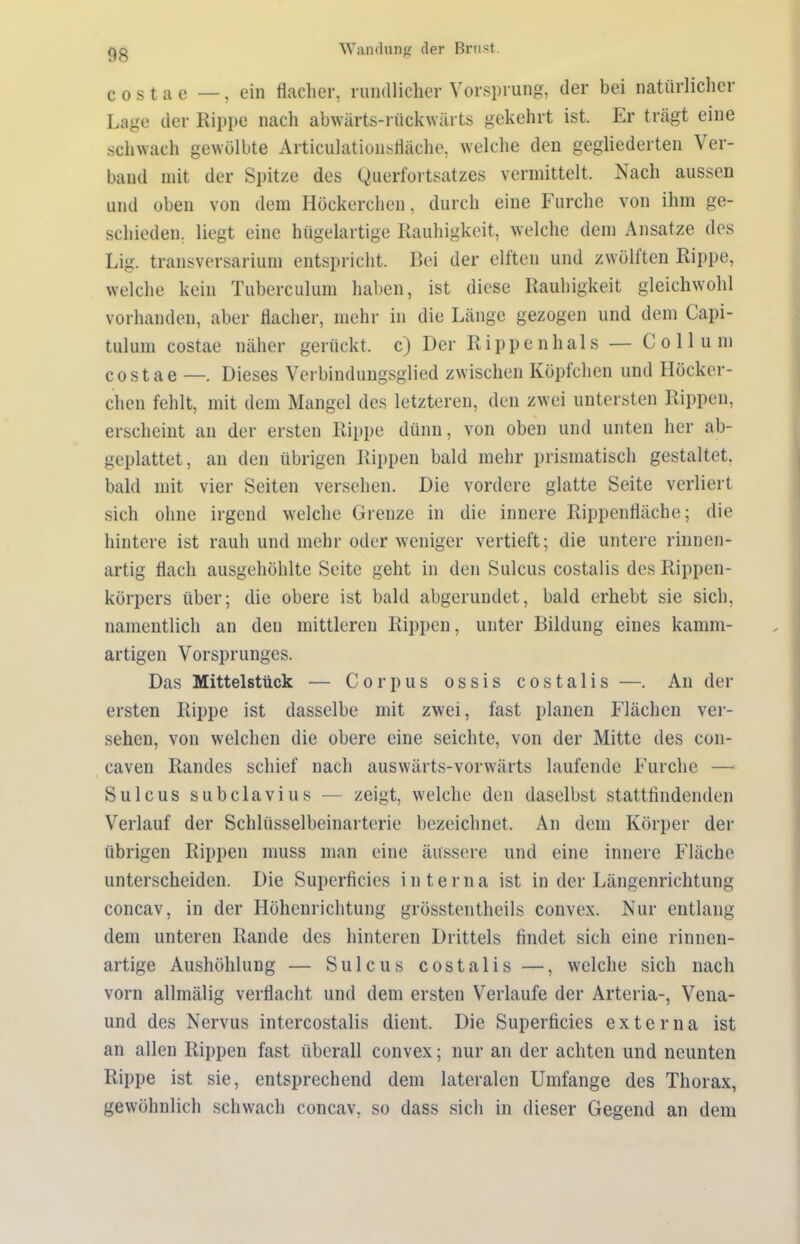 c o s t a e —, ein flacher, rundlicher Vorsprung, der bei natürlicher Lage der Rippe nach abwärts-rückwärts gekehrt ist. Er trägt eine schwach gewölbte Articulationsfläche, welche den gegliederten Ver- band mit der Spitze des Querfortsatzes vermittelt. Nach aussen und oben von dem Höckerchen, durch eine Furche von ihm ge- schieden. liegt eine hügelartige Rauhigkeit, welche dem Ansätze des Lig. transversarium entspricht. Bei der elften und zwölften Rippe, welche kein Tuberculum haben, ist diese Rauhigkeit gleichwohl vorhanden, aber flacher, mehr in die Länge gezogen und dem Capi- tulum costae näher gerückt, c) Der Rippen hals — Collum costae —. Dieses Verbindungsglied zwischen Köpfchen und Höcker- chen fehlt, mit dem Mangel des letzteren, den zwei untersten Rippen, erscheint an der ersten Rippe dünn, von oben und unten her ab- geplattet, an den übrigen Rippen bald mehr prismatisch gestaltet, bald mit vier Seiten versehen. Die vordere glatte Seite verliert sich ohne irgend welche Grenze in die innere Rippenfläche; die hintere ist rauh und mehr oder weniger vertieft; die untere rinnen- artig flach ausgehöhlte Seite geht in den Sulcus costalis des Rippen- körpers über; die obere ist bald abgerundet, bald erhebt sie sich, namentlich an den mittleren Rippen, unter Bildung eines kamm- artigen Vorsprunges. Das Mittelstück — Corpus ossis costalis —. An der ersten Rippe ist dasselbe mit zwfei, fast planen Flächen ver- sehen, von welchen die obere eine seichte, von der Mitte des con- caven Randes schief nach auswärts-vorwärts laufende Furche — Sulcus subclavius — zeigt, welche den daselbst stattfindenden Verlauf der Schlüsselbeinarterie bezeichnet. An dem Körper der übrigen Rippen muss man eine äussere und eine innere Fläche unterscheiden. Die Superficies interna ist in der Längenrichtung concav, in der Höhenrichtung grösstentheils convex. Nur entlang dem unteren Rande des hinteren Drittels findet sich eine rinnen- artige Aushöhlung — Sulcus costalis —, welche sich nach vorn allmälig verflacht und dem ersten Verlaufe der Arteria-, Vena- und des Nervus intercostalis dient. Die Superficies externa ist an allen Rippen fast überall convex; nur an der achten und neunten Rippe ist sie, entsprechend dem lateralen Umfange des Thorax, gewöhnlich schwach concav, so dass sich in dieser Gegend an dem