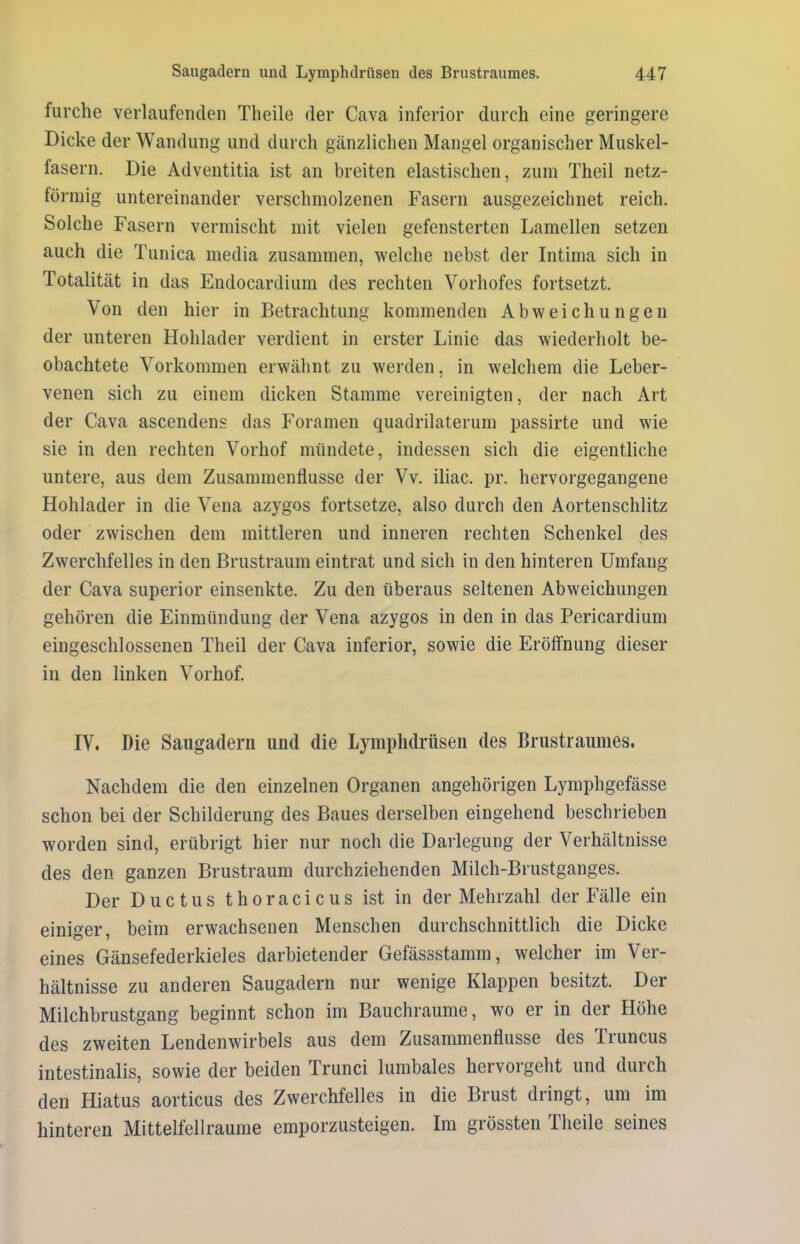 furche verlaufenden Theile der Cava inferior durch eine geringere Dicke der Wandung und durch gänzlichen Mangel organischer Muskel- fasern. Die Adventitia ist an breiten elastischen, zum Theil netz- förmig untereinander verschmolzenen Fasern ausgezeichnet reich. Solche Fasern vermischt mit vielen gefensterten Lamellen setzen auch die Tunica media zusammen, welche nebst der Intima sich in Totalität in das Endocardium des rechten Vorhofes fortsetzt. Von den hier in Betrachtung kommenden Abweichungen der unteren Hohlader verdient in erster Linie das wiederholt be- obachtete Vorkommen erwähnt zu werden, in welchem die Leber- venen sich zu einem dicken Stamme vereinigten, der nach Art der Cava ascendens das Foramen quadrilaterum passirte und wie sie in den rechten Vorliof mündete, indessen sich die eigentliche untere, aus dem Zusammenflüsse der Vv. iliac. pr. hervorgegangene Hohlader in die Vena azygos fortsetze, also durch den Aortenschlitz oder zwischen dem mittleren und inneren rechten Schenkel des Zwerchfelles in den Brustraum eintrat und sich in den hinteren Umfang der Cava superior einsenkte. Zu den überaus seltenen Abweichungen gehören die Einmündung der Vena azygos in den in das Pericardium eingeschlossenen Theil der Cava inferior, sowie die Eröffnung dieser in den linken Vorhof. IV. Die Saugadern und die Lymphdrüsen des Brustraumes. Nachdem die den einzelnen Organen angehörigen Lymphgefässe schon bei der Schilderung des Baues derselben eingehend beschrieben worden sind, erübrigt hier nur noch die Darlegung der Verhältnisse des den ganzen Brustraum durchziehenden Milch-Brustganges. Der Ductus thoracicus ist in der Mehrzahl der Fälle ein einiger, beim erwachsenen Menschen durchschnittlich die Dicke eines Gänsefederkieles darbietender Gefässstamm, welcher im Ver- hältnisse zu anderen Saugadern nur wenige Klappen besitzt. Der Milchbrustgang beginnt schon im Bauchraume, wo er in der Höhe des zweiten Lendenwirbels aus dem Zusammenflüsse des Truncus intestinalis, sowie der beiden Trunci lumbales hervorgeht und durch den Hiatus aorticus des Zwerchfelles in die Brust dringt, um im hinteren Mittelfellraume emporzusteigen. Im grössten Theile seines