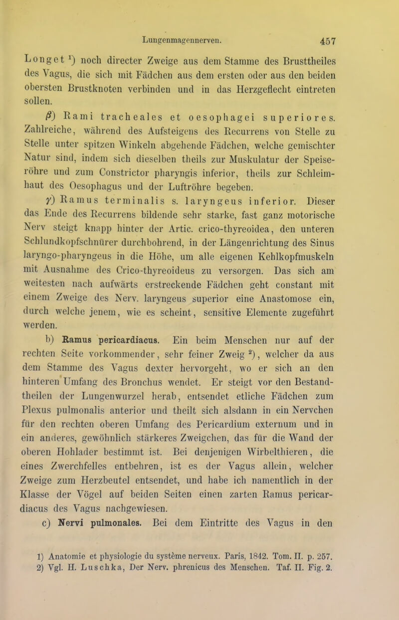 Longet *) noch directer Zweige aus dem Stamme des Brusttheiles des Vagus, die sich mit Fädchen aus dem ersten oder aus den beiden obersten Brustknoten verbinden und in das Herzgeflecht eintreten sollen. ß) Rami t r a c h e a 1 e s et oesophagei superiores. Zahlreiche, während des Aufsteigens des Recurrens von Stelle zu Stelle unter spitzen Winkeln abgehende Fädchen, welche gemischter Natur sind, indem sich dieselben theils zur Muskulatur der Speise- röhre und zum Constrictor pharyngis inferior, theils zur Schleim- haut des Oesophagus und der Luftröhre begeben. y) Ramus terminalis s. laryngeus inferior. Dieser das Ende des Recurrens bildende sehr starke, fast ganz motorische Nerv steigt knapp hinter der Artic. crico-thyreoidea, den unteren Schlundkopfschntirer durchbohrend, in der Längenrichtung des Sinus laryngo-pharyngeus in die Höhe, um alle eigenen Kehlkopfmuskeln mit Ausnahme des Crico-thyreoideus zu versorgen. Das sich am weitesten nach aufwärts erstreckende Fädchen geht constant mit einem Zweige des Nerv, laryngeus superior eine Anastomose ein, durch welche jenem, wie es scheint, sensitive Elemente zugeführt werden. b) Ramus pericardiacus. Ein beim Menschen nur auf der rechten Seite vorkommender, sehr feiner Zweig1 2), welcher da aus dem Stamme des Vagus dexter hervorgeht, wo er sich an den hinteren Umfang des Bronchus wendet. Er steigt vor den Bestand- theilen der Lungenwurzel herab, entsendet etliche Fädchen zum Plexus pulmonalis anterior und theilt sich alsdann in ein Nervchen für den rechten oberen Umfang des Pericardium externum und in ein anderes, gewöhnlich stärkeres Zweigehen, das für die Wand der oberen Hohlader bestimmt ist. Bei denjenigen Wirbelthieren, die eines Zwerchfelles entbehren, ist es der Vagus allein, welcher Zweige zum Herzbeutel entsendet, und habe icli namentlich in der Klasse der Vögel auf beiden Seiten einen zarten Ramus pericar- diacus des Vagus nachgewiesen. c) Nervi pulmonales. Bei dem Eintritte des Vagus in den 1) Anatomie et physiologie du Systeme nerveux. Paris, 1842. Tom. II. p. 257. 2) Vgl. H. Luschka, Der Nerv, phrenicus des Menschen. Taf. II. Fig. 2.