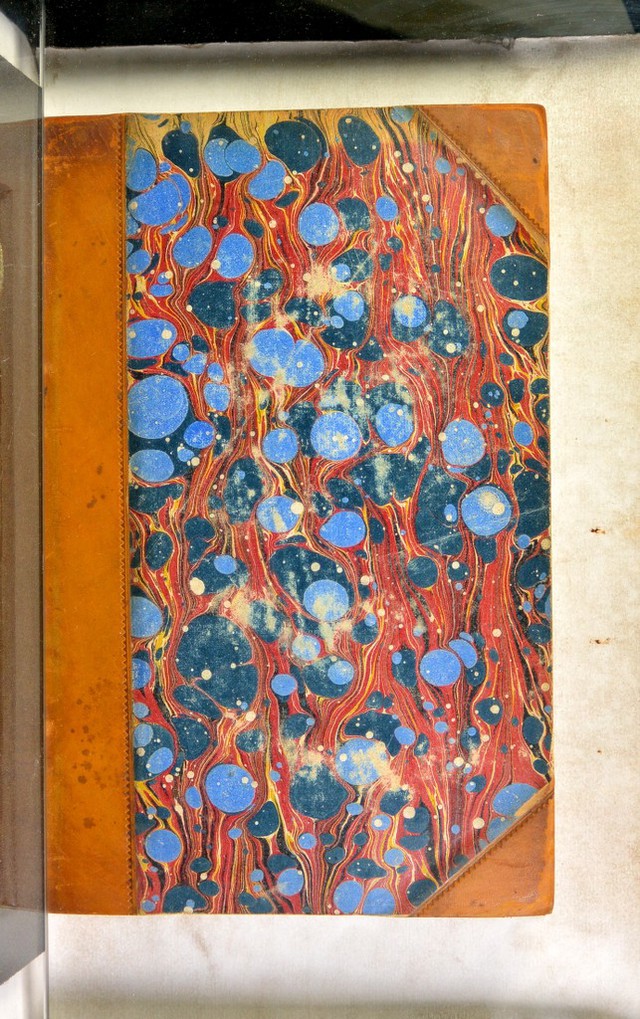 No text description is available for this image