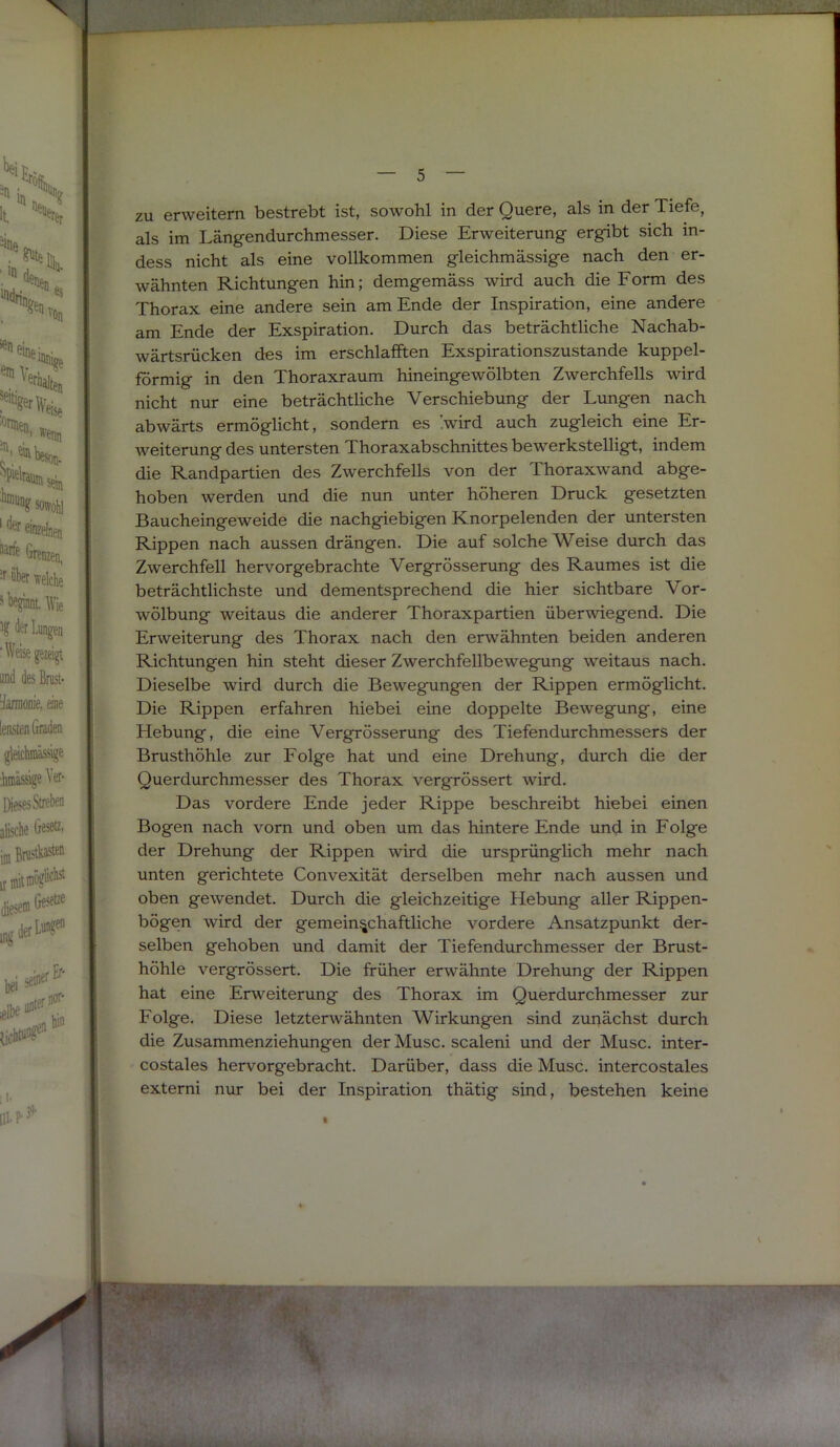 zu erweitern bestrebt ist, sowohl in der Quere, als in der Tiefe, als im Längendurchmesser. Diese Erweiterung ergibt sich in- dess nicht als eine vollkommen gleichmässige nach den er- wähnten Richtungen hin; demgemäss wird auch die Form des Thorax eine andere sein am Ende der Inspiration, eine andere am Ende der Exspiration. Durch das beträchtliche Nachab- wärtsrücken des im erschlafften Exspirationszustande kuppel- förmig in den Thoraxraum hineingewölbten Zwerchfells wird nicht nur eine beträchtliche Verschiebung der Lungen nach abwärts ermöglicht, sondern es .wird auch zugleich eine Er- weiterung des untersten Thoraxabschnittes bewerkstelligt, indem die Randpartien des Zwerchfells von der Thoraxwand abge- hoben werden und die nun unter höheren Druck gesetzten Baucheingeweide die nachgiebigen Knorpelenden der untersten Rippen nach aussen drängen. Die auf solche Weise durch das Zwerchfell hervorgebrachte Vergrösserung des Raumes ist die beträchtlichste und dementsprechend die hier sichtbare Vor- wölbung weitaus die anderer Thoraxpartien überwiegend. Die Erweiterung des Thorax nach den erwähnten beiden anderen Richtungen hin steht dieser Zwerchfellbewegung weitaus nach. Dieselbe wird durch die Bewegungen der Rippen ermöglicht. Die Rippen erfahren hiebei eine doppelte Bewegung, eine Hebung, die eine Vergrösserung des Tiefendurchmessers der Brusthöhle zur Folge hat und eine Drehung, durch die der Querdurchmesser des Thorax vergrössert wird. Das vordere Ende jeder Rippe beschreibt hiebei einen Bogen nach vorn und oben um das hintere Ende und in Folge der Drehung der Rippen wird die ursprünglich mehr nach unten gerichtete Convexität derselben mehr nach aussen und oben gewendet. Durch die gleichzeitige Hebung aller Rippen- bögen wird der gemeinschaftliche vordere Ansatzpunkt der- selben gehoben und damit der Tiefendurchmesser der Brust- höhle vergrössert. Die früher erwähnte Drehung der Rippen hat eine Erweiterung des Thorax im Querdurchmesser zur Folge. Diese letzterwähnten Wirkungen sind zuriächst durch die Zusammenziehungen der Muse, scaleni und der Muse, inter- costales hervorgebracht. Darüber, dass die Muse, intercostales externi nur bei der Inspiration thätig sind, bestehen keine II