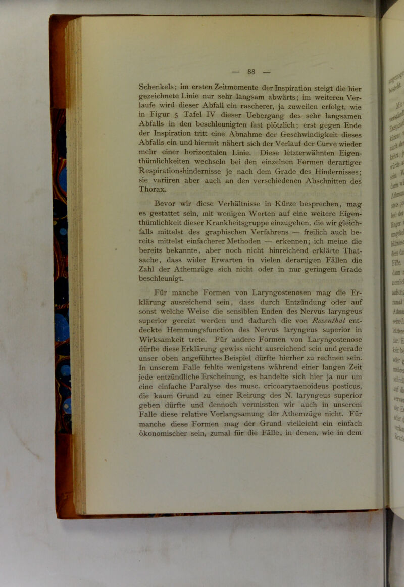 Schenkels; im ersten Zeitmomente der Inspiration steigt die hier gezeichnete Linie nur sehr langsam abwärts; im weiteren Ver- laufe wird dieser Abfall ein rascherer, ja zuweilen erfolgt, wie in Figur 5 Tafel IV dieser Uebergang des sehr langsamen Abfalls in den beschleunigten fast plötzlich; erst gegen Ende der Inspiration tritt eine Abnahme der Geschwindigkeit dieses Abfalls ein und hiermit nähert sich der Verlauf der Curve wieder mehr einer horizontalen Linie. Diese letzterwähnten Eigen- thümlichkeiten wechseln bei den einzelnen Formen derartiger Respirationshindemisse je nach dem Grade des Hindernisses; sie variiren aber auch an den verschiedenen Abschnitten des Thorax. Bevor wir diese Verhältnisse in Kürze besprechen, mag es gestattet sein, mit wenigen Worten auf eine weitere Eigen- thümlichkeit dieser Krankheitsgruppe einzugehen, die wir gleich- falls mittelst des graphischen Verfahrens — freilich auch be- reits mittelst einfacherer Methoden — erkennen; ich meine die bereits bekannte, aber noch nicht hinreichend erklärte That- sache, dass wider Erwarten in vielen derartig'en Fällen die Zahl der Athemzüge sich nicht oder in nur geringem Grade beschleunigt. Für manche Formen von Laryngostenosen mag die Er- klärung ausreichend sein, dass durch Entzündung oder auf sonst welche Weise die sensiblen Enden des Nervus laryngeus Superior gereizt werden und dadurch die von Roscnthal ent- deckte Hemmungsfunction des Nervus laryngeus superior in Wirksamkeit trete. Für andere Formen von Laryngostenose dürfte diese Erklärung gewiss nicht ausreichend sein und gerade unser oben angeführtes Beispiel dürfte hierher zu rechnen sein. In unserem Falle fehlte wenigstens während einer langen Zeit jede entzündliche Erscheinung, es handelte sich hier ja nur um eine einfache Paralyse des musc. cricoarytaenoideus posticus, die kaum Grund zu einer Reizung des N. laryngeus superior geben dürfte und dennoch vermissten wir auch in unserem Falle diese relative Verlangsamung der Athemzüge nicht. Für manche diese Formen mag der Grund vielleicht ein einfach ökonomischer sein, zumal für die Fälle, in denen, wie in dem