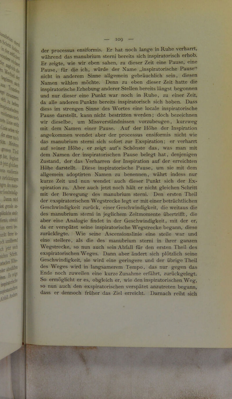 der processus ensiformis. Er hat noch lange in Ruhe verharrt, während das manubrium sterni bereits sich inspiratorisch erhob. Er zeigte, wie wir eben sahen, zu dieser Zeit eine Pause, eine Pause, für die ich, würde der Name „inspiratorische Pause“ nicht in anderem Sinne allgemein gebräuchlich sein, diesen Namen wählen möchte. Denn zu eben dieser Zeit hatte die inspiratorische Erhebung anderer Stellen bereits längst begonnen und nur dieser eine Punkt war noch in Ruhe, zu einer Zeit, da alle anderen Punkte bereits inspiratorisch sich hoben. Dass diess im strengen Sinne des Wortes eine locale inspiratorische Pause darstellt, kann nicht bestritten werden; doch bezeichnen wir dieselbe, um Missverständnissen vorzubeugen, kurzweg mit dem Namen einer Pause. Auf der Höhe der Inspiration angekommen wendet aber der processus ensiformis nicht wie das manubrium sterni sich sofort zur Exspiration; er verharrt auf seiner Höhe, er zeigt aufs Schönste das, was man mit dem Namen der inspiratorischen Pause belegt hat, denjenigen Zustand, der das Verharren der Inspiration auf der erreichten Höhe darstellt. Diese inspiratorische Pause, um sie mit dem allgemein adoptirten Namen zu benennen, währt indess nur kurze Zeit und nun wendet auch dieser Punkt sich der Ex- spiration zu. Aber auch jetzt noch hält er nicht gleichen Schritt mit der Bewegung des manubrium sterni. Den ersten Theil der exspiratorischen Wegstrecke legt er mit einer beträchtlichen Geschwindigkeit zurück, einer Geschwindigkeit, die weitaus die des manubrium sterni in jeglichem Zeitmomente übertrifft, die aber eine Analogie findet in der Geschwindigkeit, mit der er, da er verspätet seine inspiratorische Wegstrecke begann, diese zurücklegte. Wie seine Ascensionslinie eine steile war und eine steilere, als die des manubrium sterni in ihrer ganzen Wegstrecke, so nun auch sein Abfall für den ersten Theil des exspiratorischen Weges. Dann aber ändert sich plötzlich seine Geschwindigkeit, sie wird eine geringere und der übrige Theil des Weges wird in langsamerem Tempo, das nur gegen das Ende noch zuweilen eine kurze Zunahme erfährt, zurückgelegt. So ermöglicht er es, obgleich er, wie den inspiratorischen Weg, so nun auch den exspiratorischen verspätet anzutreten begann, dass er dennoch früher das Ziel erreicht. Darnach reiht sich