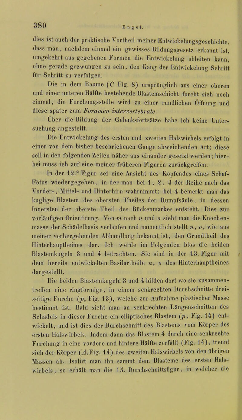 dies ist auch der praktisciie Vortheil meiner Entwickelungsgeschichte. dass man, nachdem einmal ein gewisses Biidungsgesetz erkannt ist, umgekehrt aus gegebenen Formen die Entwickelung ableiten kann, ohne gerade gezwungen zu sein, den Gang der Entwickelung Schritt für Schritt zu verfolgen. Die in dem Räume (C Fig. 8) ursprünglich aus einer oberen und einer unteren Hälfte bestehende Blastemschicht furcht sich noch einmal, die Furchungsstelle wird zu einer rundlichen Öffnung und diese später zum Foramen intervertebrale. Über die Bildung der Gelenksfortsätze habe ich keine Unter- suchung angestellt. Die Entwickelung des ersten und zweiten Halswirbels erfolgt in einer von dem bisher beschriebenen Gange abweichenden Art; diese soll in den folgenden Zeilen näher aus einander gesetzt werden; hier- bei muss ich auf eine meiner früheren Figuren zurückgreifen. In der 12.* Figur sei eine Ansicht des Kopfendes eines Schaf- Fötus wiedergegeben, in der man bei 1 , 2, 3 der Reihe nach das Vorder-, Mittel- und Hinterhirn wahrnimmt; bei 4 bemerkt man das kuglige Blastem des obersten Theiles der Rumpfsäule, in dessen Innersten der oberste Theil des Rückenmarkes entsteht. Dies zur vorläufigen Orientirung. Von m nach n und o sieht man die Knochen- masse der Schädelbasis verlaufen und namentlich stellt n, o, wie aus meiner vorhergehenden Abhandlung bekannt ist, den Grundtheil des Hinterhauptbeines dar. Ich werde im Folgenden blos die beiden Blastemkugeln 3 und 4 betrachten. Sie sind in der 13. Figur mit i dem bereits entwickelten Basilartheile n, o des Hinterhauptbeines dargestellt. Die beiden Blastemkugeln 3 und 4 bilden dort wo sie zusammen- treffen eine ringförmige, in einem senkrechten Durchschnitte drei- seitige Furche (p, Fig. 13), welche zur Aufnahme plastischer Masse bestimmt ist. Bald sieht man an senkrechten Längenschnitten des Schädels in dieser Furche ein elliptisches Blastem {p, Fig. 14) ent- wickelt, und ist dies der Durchschnitt des Blastems vom Körper des ersten Halswirbels. Indem dann das Blastem 4 durch eine senkrechte Furchung in eine vordere und hintere Hälfte zerfällt (Fig. 14), trennt sich der Körper (^Fig. 14) des zweiten Halswirbels von den übrigen Massen ab. Isolirt man ihn sammt dem Blasteme des ersten Hals- wirbels, so erhält man die 15. Durchschniltsfigur, in welcher die