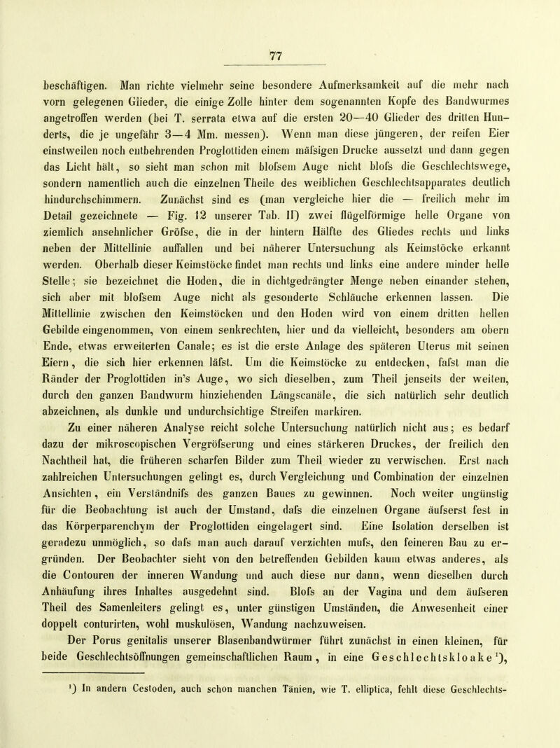 teschäftigen. Man richte vielmehr seine besondere Aufmerksamkeit auf die mehr nach vorn gelegenen Glieder, die einige Zolle hinter dem sogenannten Kopfe des Bandwurmes angetrolTen werden (bei T. serrata etwa auf die ersten 20—40 Glieder des dritten Hun- derts, die je ungefähr 3—4 Mm. messen). Wenn man diese jüngeren, der reifen Eier einstweilen noch entbehrenden Proglottiden einem mäfsigen Drucke aussetzt und dann gegen das Licht hält, so sieht man schon mit blofsem Auge nicht blofs die Geschlechtswege, sondern namentlich auch die einzelnen Theile des weiblichen Geschlechtsapparates deutlich hindurchschimmern. Zunächst sind es (man vergleiche hier die — freilich mehr im Detail gezeichnete — Fig. 12 unserer Tab. II) zwei flügeiförmige helle Organe von ziemlich ansehnlicher Gröfse, die in der hintern Hälfte des Gliedes rechts und links neben der Mittellinie auffallen und bei näherer Untersuchung als Keimstöcke erkannt werden. Oberhalb dieser Keimstöcke findet man rechts und links eine andere minder helle Stelle; sie bezeichnet die Hoden, die in dichtgedrängter Menge neben einander stehen, sich aber mit blofsem Auge nicht als gesonderte Schläuche erkennen lassen. Die Mittellinie zwischen den Keimstöcken und den Hoden wird von einem dritten hellen Gebilde eingenommen, von einem senkrechten, hier und da vielleicht, besonders am obern Ende, etwas erweiterten Canale; es ist die erste Anlage des späteren Uterus mit seinen Eiern, die sich hier erkennen läfst. Um die Keimstöcke zu entdecken, fafst man die Ränder der Proglottiden in's Auge, wo sich dieselben, zum Theil jenseits der weiten, durch den ganzen Bandwurm hinziehenden Längscanäle, die sich natürhch sehr deutlich abzeichnen, als dunkle und undurchsichtige Streifen markiren. Zu einer näheren Analyse reicht solche Untersuchung natürlich nicht aus; es bedarf dazu der mikroscopischen Vergröfserung und eines stärkeren Druckes, der freilich den Nachtheil hat, die früheren scharfen Bilder zum Theil wieder zu verwischen. Erst nach zahlreichen Untersuchungen gelingt es, durch Vergleichung und Combination der einzelnen Ansichten, ein Versländnifs des ganzen Baues zu gewinnen. Noch weiter ungünstig für die Beobachtung ist auch der Umstand, dafs die einzelnen Organe äufserst fest in das Körperparenchym der Proglottiden eingelagert sind. Eine Isolation derselben ist geradezu unmöglich, so dafs man auch darauf verzichten mufs, den feineren Bau zu er- gründen. Der Beobachter sieht von den betreffenden Gebilden kaum etwas anderes, als die Contouren der inneren Wandung und auch diese nur dann, wenn dieselben durch Anhäufung ihres Inhaltes ausgedehnt sind. Blofs an der Vagina und dem äufseren Theil des Samenleiters gelingt es, unter günstigen Umständen, die Anwesenheit einer doppelt conturirten, wohl muskulösen, Wandung nachzuweisen. Der Porus genitalis unserer Blasenbandwürmer führt zunächst in einen kleinen, für beide Geschiechtsöffnungen gemeinschaftlichen Raum, in eine Geschlechtsklo ake 0, ') In andern Cestoden, auch schon manchen Tänien, wie T. elliptica, fehlt diese Geschlechts-