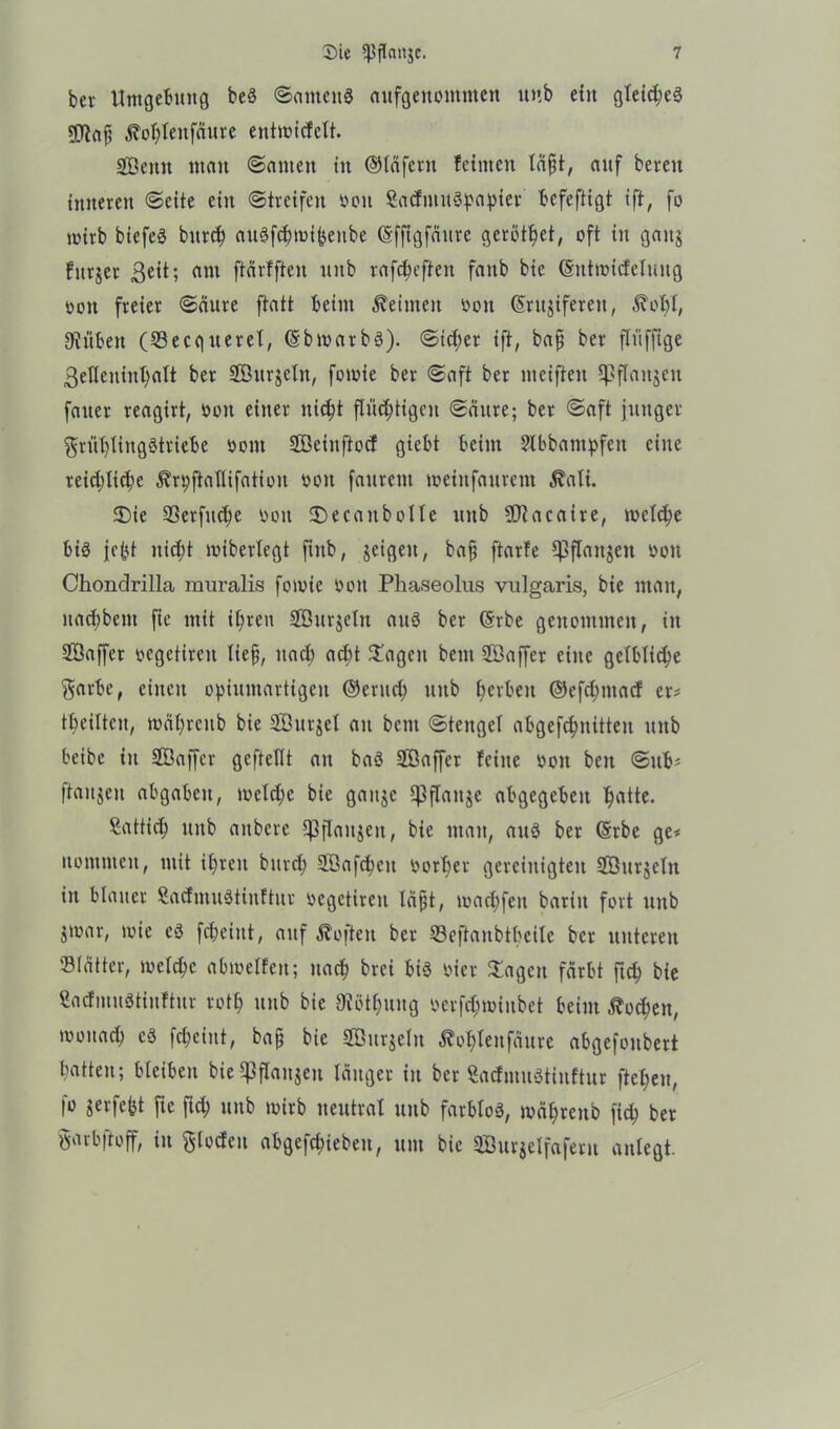 bev Umgebung beS ©aittenS aufgettomtnen unb ein gleiches sjjtaf? $ohlettfäure entmicfelt. Senn man ©amen in ©läfent feinten läfjt, auf bereit inneren ©eite ein ©treifen öon SatfmuSpapter bcfeftigt ift, fo toirb biefeö burch auSfchtoibettbe ©fftgfäure gerötet, oft in gattj fttrjer ßeit; am ftärfften unb rafctuften faitb bic (Sntroicfeluug ton freier ©äure ftatt beim Meinten ton (Sritjiferett, ^obl, «Rüben (Becquerel, (SbtoarbS). ©icher ift, bafj ber fltifftge 3eUenin1)alt ber Sttrjeln, fotoie ber ©aft ber nteiften $ßflatt$eit fatter reagirt, ton einer nicht flüchtigen ©äure; ber ©aft junger $rüt)Iing3triebe tont Seiuftocf giebt beim ?lbbatttpfen eilte reichliche ^n;ftatlifation ton faurent toetnfaurent ^ali. Sie S3erfttche tott Secanbolle unb JJtacaire, welche bis jefct nicht wiberlegt ftttb, jeigett, bafj ftarfe Cpflanjen ton Chondrilla muralis fomie ton Phaseolus vulgaris, bie matt, itachbent fte mit ihren Sttrjeltt anö ber <5rbe genommen, itt Saffer tcgetircit lief, nach ad;t hagelt bem Saffer eine gelbliche $arbe, einen opiumartigen ©eruch ttttb hei'ben ©efclmtacf er? tbeiltcn, toährcub bie Surret au bcttt ©tengel abgefchititteit ttttb beibc itt Saffer geftdlt an baS Saffer feine ton beit ©ltb? ftaujen abgabett, welche bie gattjc 5j3jTauje abgegeben hatte. Sattich ttttb attbcrc Cpflattjeit, bie tnatt, auS ber (5rbe ge? nontmett, mit ihren burd) Safchctt torher gereinigten Sttrjcln itt blauer SacfntuStinftur tegctireit läfjt, wachfett baritt fort ttttb jtoar, wie es fcheint, auf Soften ber 33eftattbthcile ber unteren Blätter, welche abtrelfeu; nach brci bis tier Sagen färbt ftch bie SacfmuStiuftur rotf) ttttb bie Diöthung terfchwinbet beim Wochen, wonach es fcheint, baf bie Surjeln ßohlettfäure abgefonbert hatten; bleiben bie^flanjeit länger itt ber SacfntuStiuftur flehen, fo jerfebt fie fid; uttb wirb neutral uttb farblos, toährettb fich ber »arbftoff, itt ^locfeu abgefchiebett, um bie Surjelfafertt anlegt.