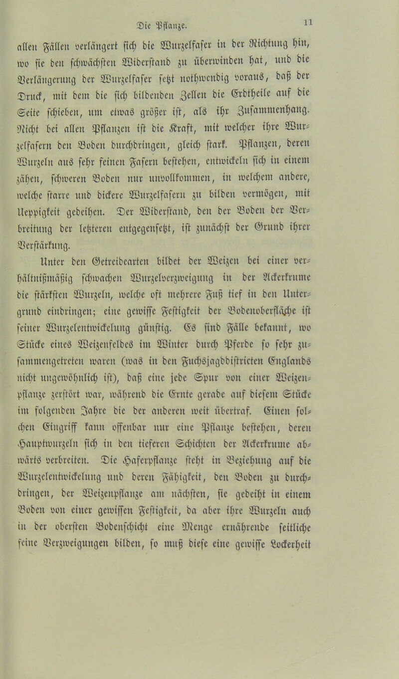 a f(cn Raffen berftingert ff cf) bfe 9Bttr§etfafer tu bei- 9iicf)tung t>in, mo fic ben fcfjmädjften SSibcrffaitb ju überminben f)at, uitb bfe 23erfängerung bei- Söui-jeffafei fept notf)mcnbig borauS, bafs bei ©ritcf, mit beut bfe ffcf; bifbcitbeit ßcffeit bfe (§rbtf)eife auf bfe (Seite fefnebeu, um etmaS größer ift, afS if)t 3ufnmmen^au9- Difd;t bei affen spffonjen ift bfe Äraft, mit toefc^ei it)ie 2Öur# jeffafem beit ©oben burcf)bringen, gfeief; ftarf. ^flattjett, bereit SÖurjefit aus fefjr feilten ^aferit befielen, entmiefefu fiel; in einem jaljeit, ferneren 53obett nur unbofffommen, in meinem anberc, liefere ftarre uitb biefere SQöurjeffafent ju bifbeit bermögen, mit Ueppigfeit gebeten. ©er SGßibcrftaub, ben ber 23obcit ber 23er# breituttg ber festeren entgegenfept, ift juncicfjft ber ©ruitb ifjrer 23crftärfuug. Unter beit ©etreibearten bifbet ber SÖeijeit bei einer ber# fläftnifutäfig fcfjimacfjen SÖurjefberjticiguug in ber 2'fcferfrume bie ftärfften 2Öur$efn, meiere oft mehrere $uß tief in beit Unter# gruitb ciitbriitgeit; eine gemfffe $eftigfeit ber 23obcitoberflg$e ift feiner SBurjefenttbidefuitg günftig. (§S fiitb gaffe befanut, wo ©tiiefe eines SÖeijenfefbeS im SBiittcr bitrcf; fJ3fcrbc fo fcf)t ju# fammcitgetreten mären (ioaS in ben gudjSfagbbiftricten (SitgfaitbS nidjt ungcmöfmficf) ift), baß eine febe ©pur bott einer SÖeijen# pflaitje jerftört mar, mäf)renb bie ©ritte gerabe auf biefeitt ©tüde tut füfgeitbeu 3>af)re bie ber aitbcrcit mcit übertraf. ©iiteit fof# ef>eit (Eingriff fattit offenbar nur eine ^ffaitje befielen, bereit Jpaitptmur$efn ftef) in beit tieferen ©cf)icf;teit ber Sfderfruute ab# martö berbrctteit. 3>ic Jpaferpffaitjc ftef>t in 23e$icfmitg auf bie 2ßurjeleiitmidefuitg uitb bereit gäf)igfeit, ben 2?obcit ju bttref)# bringen, ber 2öei$enpffait$e ant näcljften, fie gebeizt in einem 23obeit boit einer gemiffeit geftigfeit, ba aber if;rc SSurjefn attef) in ber oberften 23obettfcf)icf)t eine SDtenge ernäfjreitbe feitfic^e feilte SSerjmeigungen btlbett, fo muß biefe eine gemiffe SocferI;eit