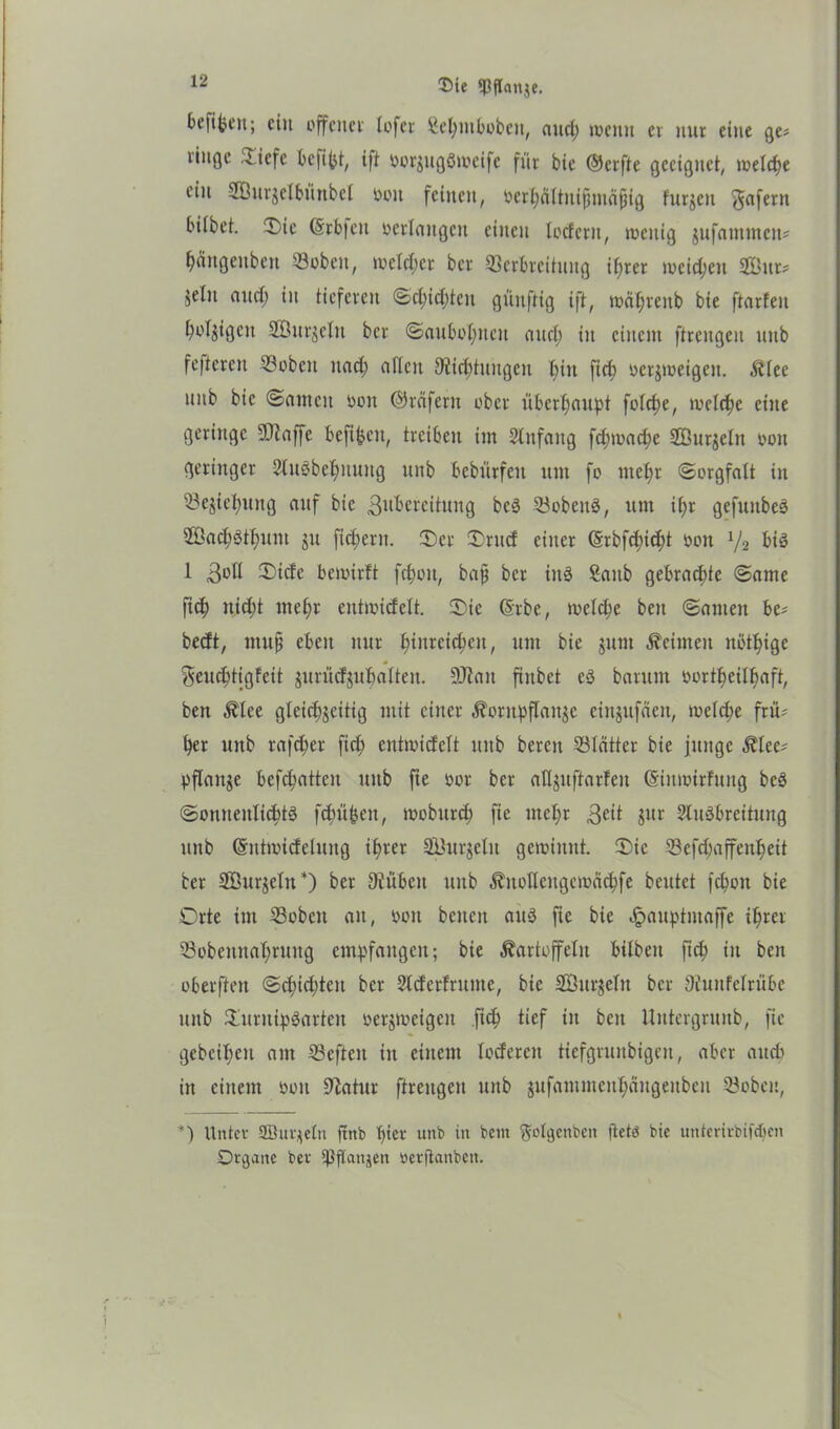 befreit; ein offenei' lofer Sehutboben, aud; wenn er nur eine ge« linge .liefe befibt, ift »orsugöweifc für bic ©erfte geeignet, welche ein 2önr$clbnnbci »oit feinen, »erhältnißmcißig futjett 5afern hübet. Ü)te ©rb|eit »erlangen einen lottern, wenig jufammen# baitgenben «oben, welcher ber Verbreitung if;rer weiten Sur* jelit and; in tieferen Schichten günftig ift, roti^renb bie ftarfeit hüsigcit Söurjetn ber Saubohnen and; in einem ftrengen uitb feftcreit Vobcit itad; aflen 9tid)tnngcn tnn fich »erjweigeit. Klee nnb bie Santen »oit ©reifem ober überhaupt folche, welche eine geringe SQtaffe beftbcit, treiben im Anfang fdjwache Sudeln oon geringer 2lu3bel)nnng nnb bebürfeit um fo mef)t Sorgfalt in Vejiet)ung auf bie Zubereitung bcö VobeitS, um if>r gefuitbeä Sach3ff)um ju ftd;ent. Oer Ontd einer (Srbfchidjt »on lJ2 bis 1 3°^ ®ide bewirft fchoit, baß ber inö £aub gebrachte Same fich nicht mehr entwidelt. Oie @rbe, welche beit Samen be* bedt, muß eben nur bjtnretc^cn r um bie junt keimen nöthige ^euchtigfeit jurüdjuhalten. SJiatt finbet eö barunt »ortheilhaft, ben Klee gleichseitig mit einer Kontbflattsc einjufäeit, welche frü- her uttb rafcher fid; entwidelt ttitb bereit Vlcttter bie junge Klee* pflanse begatten uttb fte »or ber aflsuftarfeit (Siitwirfuttg beS Sonnenlichts fchübett, wobttreh fte mehr 3di jur StuSbreitung ttttb ©tttwidelung ihver Sudeln gewinnt. Oie Vefchaffeuheit ber Sursein*) ber Stuben ttitb Kitollcttgcwachfe beutet fchott bie Orte im Vobctt an, »oit betten aus fte bie Jpauptmaffe ihrei' Vobeitnahruitg empfangen; bie Kartoffeln hüben ft<h in ben oberffett Schid;teit ber Slderfritttte, bic Sttrseltt ber Siitttfclrübe nnb VuritipSartcit »ersweigcit fich tief in bett Uittergruttb, fie gebeihett am Vefteit in einem loderen tiefgruttbigen, aber auch in einem »ott Statur ftrengen uitb sufammeithängeitbeu Vobcit, *) Unter 2Bur$eln ftttb hiev unb in bent ftotgenben fietö bie unterirbifchen Organe ber ißffo'Ue*1 »erfianben.