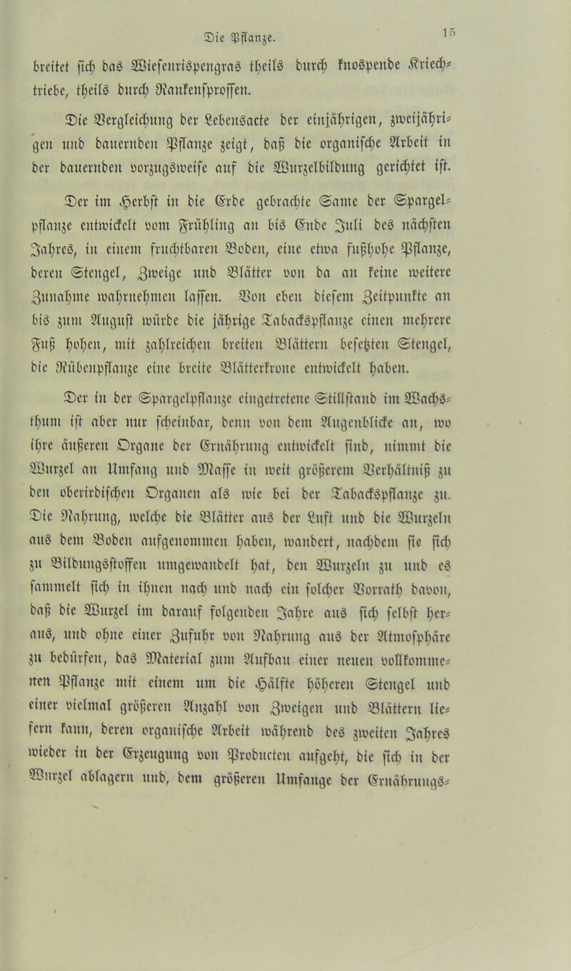 S)te 5pjTanjc. breitet ftch baS SÖtefenriSpengraS tbetlä bitrch fttoöpeitbe .^ried;* triebe, tt;eifö bttrd§> Oiattfenfproffeit. Sie ©ergleid;uttg ber SebeuSacte ber einjährigen, gweijährt* geit unb baiternbeit $Pftange geigt, baß bie orgatttfehe Slrbeit in ber bauernbeit oorgttgSmeife nuf bie Söurgelbifbtutg gerietet {ft. Ser int Jperbft in bie (Srbe gebrachte Same ber (Spargel* pflanze entwicfelt sollt Frühling an bis (Sitbe 3uli bcS nächften SapreS, in einem fruchtbaren ©oben, eine etwa fußhohe Wan$e/ bereit Stengel, ßweige unb ©lütter ooit ba an feine weitere 3ttnahme wahrnehmen taffen. ©oit eben biefent «ßettpunfte au bis gunt Sluguft würbe bie jährige SabadSpflange einen mehrere guß h°hen/ mit gasreichen breiten ©tattern befefcten Stengel, bie 9?ttbenpflauge eilte breite ©lütterfroite cittmicfclt hdbett. Ser in ber Spargelpflattge eiitgctrcteitc StiUftaub int 2Öad>3* thnnt ift aber nur fcbeiitbar, beim oon beut Slugcnbltcfe an, wo ihre äußeren Organe ber Ernährung entwicfelt fiitb, nimmt bie Söurgel an Umfang unb SDiaffe in weit größerem ©erhültniß gu beit oberirbifcheit Organen als wie bei ber SabadSpftaitgc gu. Sie Nahrung, welche bie ©lütter ans ber Suft ltitb bie SBurgeltt aus bent ©oben aufgenommen hdbcit, maitbert, itachbeitt fte ftd; gtt ©ilbungsftoffeit ttmgewanbelt h<d, beit SQBurgeln git unb es fammelt ftch in ihnen nad; unb nach ein folcticr ©orrath baooit, baß bie SÖurgel int barauf folgeitbeu 3ahre aus ftch fetbft her* aus, unb ohne einer ßufuBr ooit Nahrung aus ber Sltmofphare gu bebürfeit, baS ©Material ginn 2lttfbau einer neuen ooflfontntc* tteit 5ßflaitge mit einem um bie Hälfte höheren Stengel uitb einer sicfntal größeren Stngahl oou Zweigen unb ©tattern lie* fern fanit, bereit organifche Slrbeit mührenb beS gweiten Jahres wieber in ber (Srgeugung oon «probucten aufgeht, bie ftch in ber ©iirjcf ablagcnt unb, bem größeren Umfange ber (SruäfmutgS*