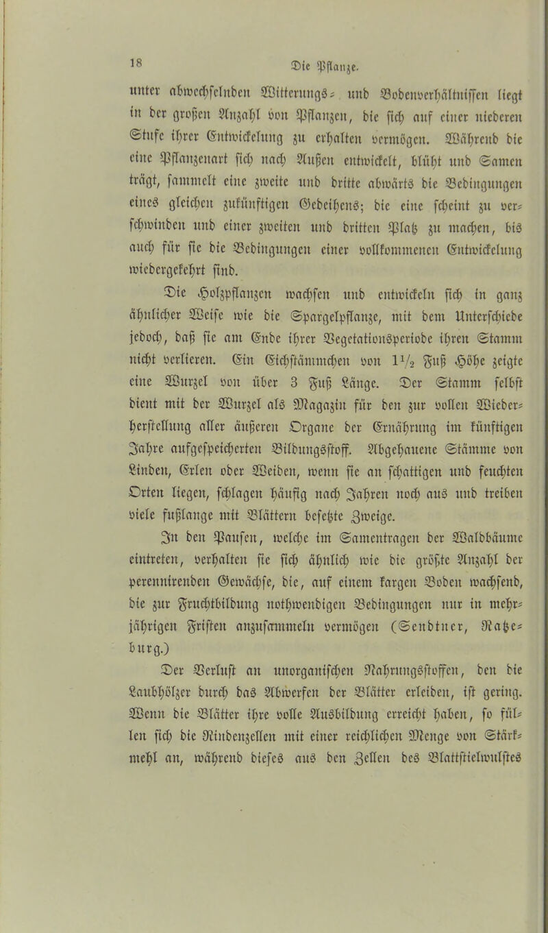 ®ic 5pflaige. inttcv abwccfifclnbcit SÖitteruugS? unb 53obenv>erT?äItntffen liegt tu bcr großen Stnjaljl seit ^flnnjcit, bic fid; auf einer itiebcrcit ©htfe tl)rcr (SntwicfeTung ju erfjnlten vermögen. 2öaf>reub bie eine ^fTaujenart fiel) nad; ?lupen entwidelt, blül)t unb ©amen trägt, fantntcU eine zweite unb britte abwärts bte 23cbiuguugen eines gleichen jufünftigcit ©ebciljenS; bic eine fdjeiitt ju ser* fdnmitbcit ltnb einer ^weiten unb brüten Cpfafj $u machen, bis aud; für ftc bic SScbingungcit einer spüfommeneu (Sittwideluug wicbcrgefefnt ftitb. ©te ^plsbflanjcn wacfifeit unb entwidelu ftd) in gang ätmlidjer Sßcifc wie bie SpargefyjTattje, mit bent Untcrfdjiebe jebod), bap fic am (Snbe if;rcr 33egetationS^*eriobe ipreit «Stamm ntdjt vertieren. (Sin (Sicfiftämmcbcit seit IV2 $up <£>p|w geigte eine SBnrgel seit über 3 $up Sänge, ©er Stamm felbft bient mit bcr SBurjel als -SLftagajiit für beit jur sollen SBieber* fierftcflung aller änderen Organe bcr (Srnäfwuitg im fünftigeit 3>al;re aufgefpeidjerteit SBtlbuitgSffoff. Slbge'bauene Stämme seit Sinbcit, (Srleit ober Söcibett, wenn fie au fd;attigen unb feitdüen Orten liegen, fd;Iagctt T;nnftg itad) Sauren itod) aus ttitb treiben siele fuplauge mit SBIättern befebte 3wetgc. 3irt beit Raufen, weld;e im Samentrageit bcr ffialbbättme eintreten, ser^atteit ftc fiep äfjultcb wie bic größte 5Xitgat;I ber perennirenben ©ewäd;fe, bie, auf einem fargett 53sbeit wadjfeitb, bie gitr $rud;tbtlbuitg ltsünseitbigeit iöebingnitgcn nur iit mef)r* fähigen Triften aitjufammelit sermßgeit (Seitbtitcr, Oiaße* bürg.) Oer SScrluft au uuorgaitifdjen 9?aI)rungSftoffeu, beit bie Saubl;sljcr burd; baS Slbwcrfcit bcr ^Blätter erlcibeit, ift gering. Söcitit bie SSlättcr ti;re solle -SluSbilbuitg erreicht tyaben, fs fül- len ftd; bic ^iinbcigeUcit mit einer reichlichen SUcitge ssn Stört* ntebl an, wätyreitb btefcS auS ben 3cKeit bcS 23tattftieIwidfteS