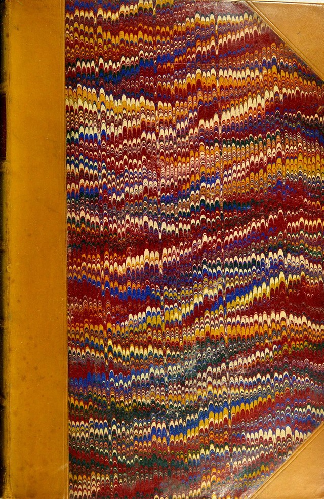 No text description is available for this image