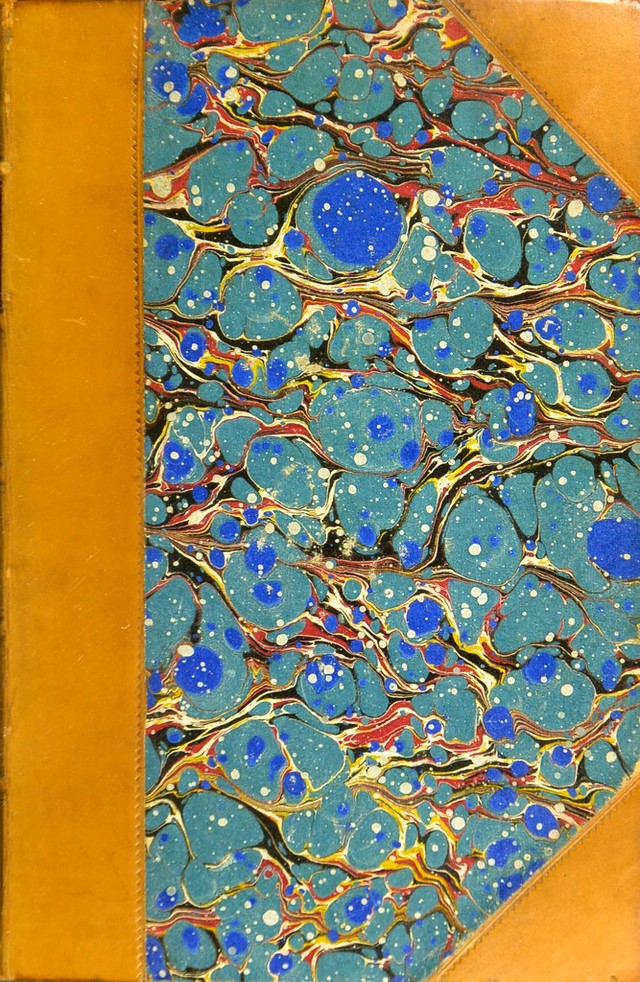 No text description is available for this image