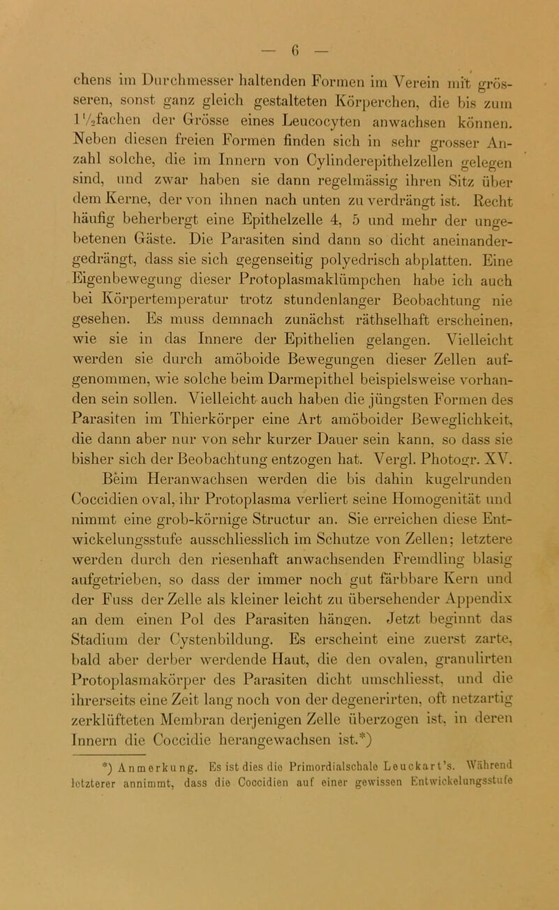 chens im Durchmesser haltenden Formen im Verein mit grös- seren, sonst ganz gleich gestalteten Körperchen, die bis zum 1 ’/ofachen der Grösse eines Leucocyten anwachsen können. Neben diesen freien Formen finden sich in sehr grosser An- zahl solche, die im Innern von Cylinderepithelzellen gelegen sind, und zwar haben sie dann regelmässig ihren Sitz über dem Kerne, der von ihnen nach unten zu verdrängt ist. Recht häufig beherbergt eine Epithelzelle 4, 5 und mehr der unge- betenen Gäste. Die Parasiten sind dann so dicht aneinander- gedrängt, dass sie sich gegenseitig polyedrisch abplatten. Eine Eigenbewegung dieser Protoplasmaklümpchen habe ich auch bei Körpertemperatur trotz stundenlanger Beobachtung nie gesehen. Es muss demnach zunächst räthselhaft erscheinen, wie sie in das Innere der Epithelien gelangen. Vielleicht werden sie durch amöboide Bewegungen dieser Zellen auf- genommen, wie solche beim Darmepithel beispielsweise vorhan- den sein sollen. Vielleicht auch haben die jüngsten Formen des Parasiten im Thierkörper eine Art amöboider Beweglichkeit, die dann aber nur von sehr kurzer Dauer sein kann, so dass sie bisher sich der Beobachtung entzogen hat. Vergl. Photogr. XV. Beim Heranwachsen werden die bis dahin kugelrunden Coccidien oval, ihr Protoplasma verliert seine Homogenität und nimmt eine grob-körnige Structur an. Sie erreichen diese Ent- wickelungsstufe ausschliesslich im Schutze von Zellen; letztere werden durch den riesenhaft anwachsenden Fremdling blasig aufgetrieben, so dass der immer noch gut färbbare Kern und der Fuss der Zelle als kleiner leicht zu übersehender Appendix an dem einen Pol des Parasiten hängen. Jetzt beginnt das Stadium der Cystenbildung. Es erscheint eine zuerst zarte, bald aber derber werdende Haut, die den ovalen, granulirten Protoplasmakörper des Parasiten dicht umschliesst, und die ihrerseits eine Zeit lang noch von der degenerirten, oft netzartig zerklüfteten Membran derjenigen Zelle überzogen ist, in deren Innern die Coccidie herangewachsen ist.*) *) Anmerkung. Es ist dies dio Primordialschalo Leuckart’s. Während letzterer annimmt, dass die Coccidien auf einer gewisson Entwickelungsstufe