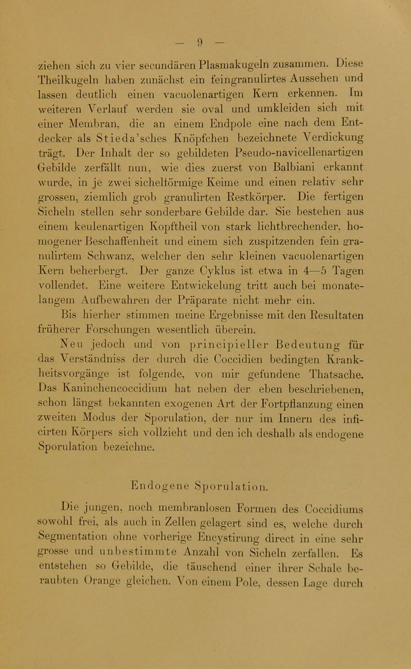 ziehen sich zu vier secundären Plasmakugeln zusammen. Diese Theilkugeln haben zunächst ein feingranulirtes Aussehen und lassen deutlich einen vacuolenartigen Kern erkennen. Im weiteren Verlauf werden sie oval und umkleiden sich mit einer Membran, die an einem Endpole eine nach dem Ent- decker als Stieda’sches Knöpfchen bezeichnete Verdickung trägt. Der Inhalt der so gebildeten Pseudo-navicellenartigen Gebilde zerfällt nun, wie dies zuerst von Balbiani erkannt wurde, in je zwei sichelförmige Keime und einen relativ sehr grossen, ziemlich grob granulirten Restkörper. Die fertigen Sicheln stellen sehr sonderbare Gebilde dar. Sie bestehen aus einem keulenartigen Ivopftheil von stark lichtbrechender, ho- mogener Beschaffenheit und einem sich zuspitzenden fein gra- nulirtem Schwanz, welcher den sehr kleinen vacuolenartigen Kern beherbergt. Der ganze Cyklus ist etwa in 4—5 Tagen vollendet. Eine weitere Entwickelung tritt auch bei monate- langem Aufbewahren der Präparate nicht mehr ein. Bis hierher stimmen meine Ergebnisse mit den Resultaten früherer Forschungen wesentlich überein. Neu jedoch und von principieller Bedeutung für das Verständniss der durch die Coccidien bedingten Krank- heitsvorgänge ist folgende, von mir gefundene Thatsaclie. Das Kaninchencoccidium hat neben der eben beschriebenen, schon längst bekannten exogenen Art der Fortpflanzung einen zweiten Modus der Sporulation, der nur im Innern des infi- cirten Körpers sich vollzieht und den ich deshalb als endogene Sporulation bezeichne. Endogene Sporulation. Die jungen, noch membranlosen Formen des Coccidiums sowohl frei, als auch in Zellen gelagert sind es, welche durch Segmentation ohne vorherige Encystirung direct in eine sein- grosse und unbestimmte Anzahi von Sicheln zerfallen. Es entstehen so Gebilde, die täuschend einer ihrer Schale be- raubten Orange gleichen. Von einem Pole, dessen Lage durch