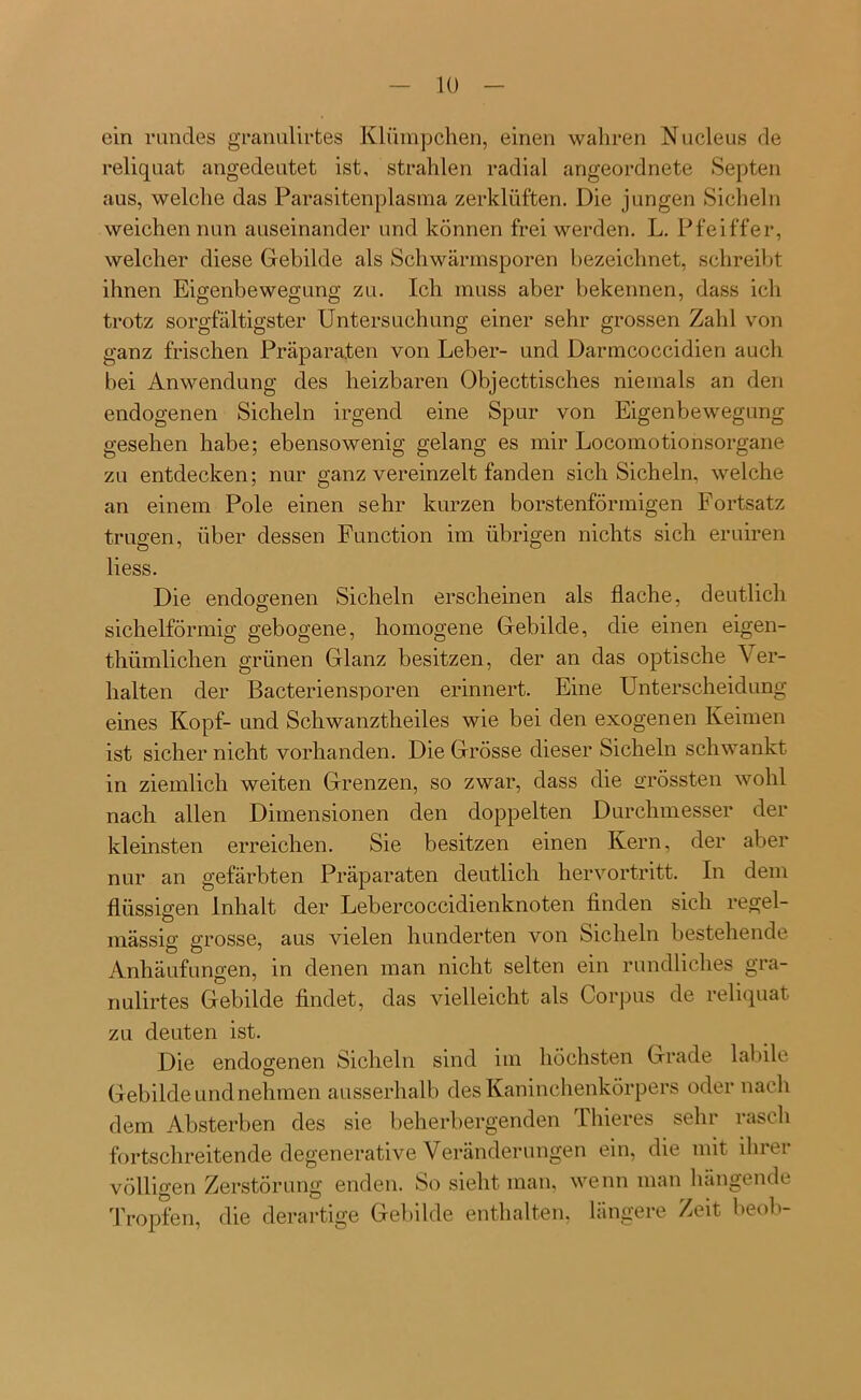 ein rundes granulirtes Klümpchen, einen wahren Nucleus de reliquat angedeutet ist, strahlen radial angeordnete Septen aus, welche das Parasitenplasma zerklüften. Die jungen Sicheln weichen nun auseinander und können frei werden. L. Pfeiffer, welcher diese Gebilde als Schwärmsporen bezeichnet, schreibt ihnen Eigenbewegung zu. Ich muss aber bekennen, dass ich trotz sorgfältigster Untersuchung einer sehr grossen Zahl von ganz frischen Präparaten von Leber- und Darmcoccidien auch bei Anwendung des heizbaren Objecttisches niemals an den endogenen Sicheln irgend eine Spur von Eigenbewegung gesehen habe; ebensowenig gelang es mir Locomotionsorgane zu entdecken; nur ganz vereinzelt fanden sich Sicheln, welche an einem Pole einen sehr kurzen borstenförmigen Fortsatz trugen, über dessen Function im übrigen nichts sich eruiren liess. Die endogenen Sicheln erscheinen als flache, deutlich sichelförmig gebogene, homogene Gebilde, die einen eigen- thümlichen grünen Glanz besitzen, der an das optische Ver- halten der Bacteriensporen erinnert. Eine Unterscheidung eines Kopf- und Schwanztheiles wie bei den exogenen Keimen ist sicher nicht vorhanden. Die Grösse dieser Sicheln schwankt in ziemlich weiten Grenzen, so zwar, dass die grössten wohl nach allen Dimensionen den doppelten Durchmesser der kleinsten erreichen. Sie besitzen einen Kern, der aber nur an gefärbten Präparaten deutlich hervortritt. In dem flüssigen Inhalt der Lebercoccidienknoten finden sich regel- mässig grosse, aus vielen hunderten von Sicheln bestehende Anhäufungen, in denen man nicht selten ein rundliches gra- nulirtes Gebilde findet, das vielleicht als Corpus de reliquat zu deuten ist. Die endogenen Sicheln sind im höchsten Grade labile Gebilde und nehmen ausserhalb des Kaninchenkörpers oder nach dem Absterben des sie beherbergenden Thieres sehr rasch fortschreitende degenerative Veränderungen ein, die mit ihrer völligen Zerstörung enden. So sieht man, wenn man hangende Tropfen, die derartige Gebilde enthalten, längere Zeit beob-