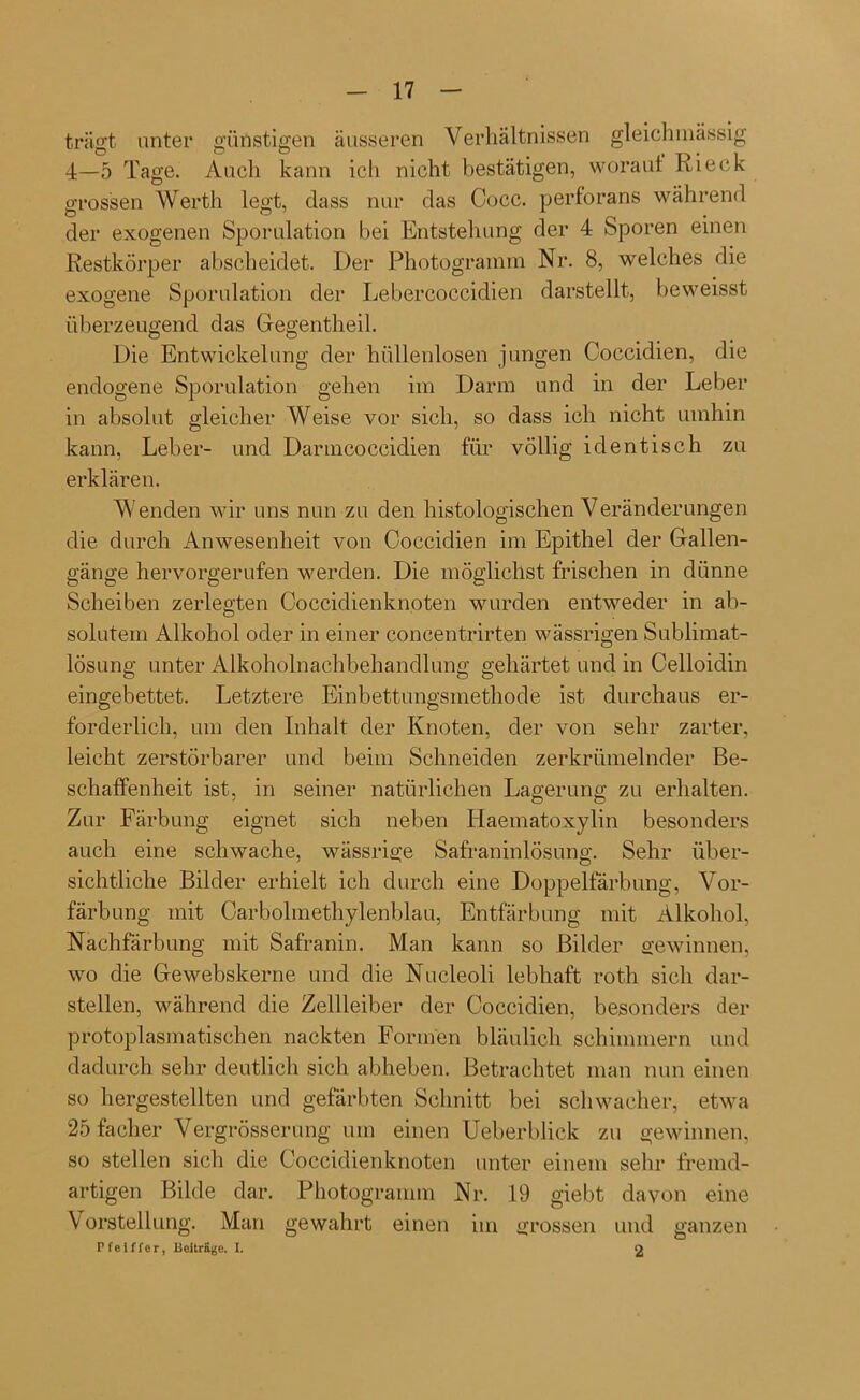 trägt unter günstigen äusseren Verhältnissen gleichinässig 4—5 Tage. Auch kann ich nicht bestätigen, woraut Ri eck grossen Werth legt, dass nur das Cocc. perforans während der exogenen Sporulation bei Entstehung der 4 Sporen einen Restkörper abscheidet. Der Photogramm Nr. 8, welches die exogene Sporulation der Lebercoccidien darstellt, beweisst überzeugend das Gegentheil. Die Entwickelung der hüllenlosen jungen Coccidien, die endogene Sporulation gehen im Darm und in der Leber in absolut gleicher Weise vor sich, so dass ich nicht umhin kann, Leber- und Darmcoccidien für völlig identisch zu erklären. Wenden wir uns nun zu den histologischen Veränderungen die durch Anwesenheit von Coccidien im Epithel der Gallen- gänge hervorgerufen werden. Die möglichst frischen in dünne Scheiben zerlegten Coccidienknoten wurden entweder in ab- solutem Alkohol oder in einer concentrirten wässrigen Sublimat- lösung unter Alkoholnachbehandlung gehärtet und in Celloidin eingebettet. Letztere Einbettungsmethode ist durchaus er- forderlich, um den Inhalt der Knoten, der von sehr zarter, leicht zerstörbarer und beim Schneiden zerkrümelnder Be- schaffenheit ist, in seiner natürlichen Lagerung zu erhalten. Zur Färbung eignet sich neben Ilaematoxylin besonders auch eine schwache, wässrige Safraninlösung. Sehr über- sichtliche Bilder erhielt ich durch eine Doppelfärbung, Vor- färbung mit Carboimethylenblau, Entfärbung mit Alkohol, Nachfärbung mit Safranin. Man kann so Bilder gewinnen, wo die Gewebskerne und die Nucleoli lebhaft roth sich dar- stellen, während die Zellleiber der Coccidien, besonders der protoplasmatischen nackten Formen bläulich schimmern und dadurch sehr deutlich sich abheben. Betrachtet man nun einen so hergestellten und gefärbten Schnitt bei schwacher, etwa 25 faclier Vergrösserung um einen Ueberbliek zu gewinnen, so stellen sich die Coccidienknoten unter einem sehr fremd- artigen Bilde dar. Photogramm Nr. 19 giebt davon eine Vorstellung. Man gewahrt einen im grossen und ganzen Pfeiffer, Beiträge. I. 2