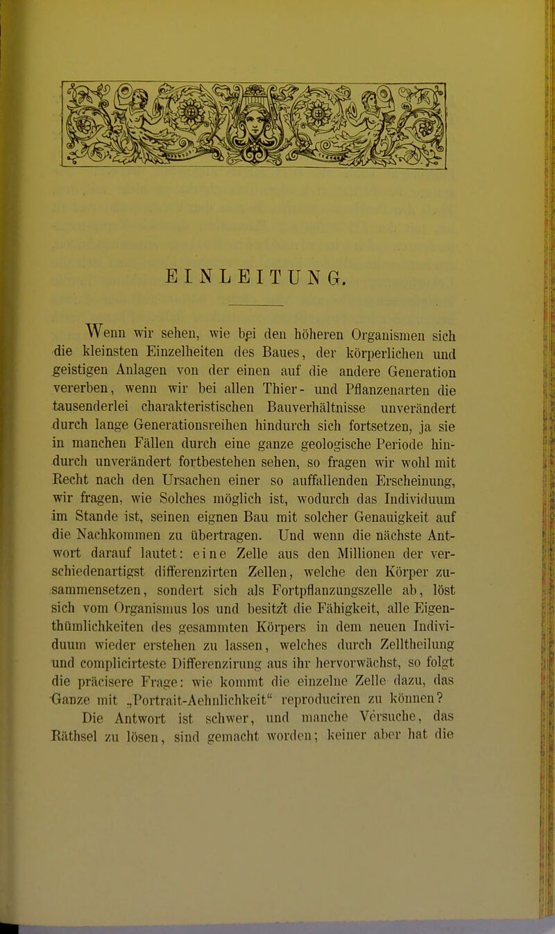 EINLEITUNG. Wenn wir sehen, wie bpi den höheren Organismen sich die kleinsten Einzelheiten des Baues, der körperlichen und geistigen Anlagen von der einen auf die andere Generation vererben, wenn wir bei allen Thier- und Pflanzenarten die tausenderlei charakteristischen Bauverhältnisse unverändert durch lange Generationsreihen hindurch sich fortsetzen, ja sie in manchen Fällen durch eine ganze geologische Periode hin- durch unverändert fortbestehen sehen, so fragen wir wohl mit Recht nach den Ursachen einer so auffallenden Erscheinung, wir fragen, wie Solches möglich ist, wodurch das Individuum im Stande ist, seinen eignen Bau mit solcher Genauigkeit auf die Nachkommen zu übertragen. Und wenn die nächste Ant- wort darauf lautet: eine Zelle aus den Millionen der ver- schiedenartigst dififerenzirten Zellen, welche den Körper zu- sammensetzen, sondert sich als Fortpflanzungszelle ab, löst sich vom Organismus los und besitz't die Fähigkeit, alle Eigen- thümlichkeiten des gesammten Körpers in dem neuen Indivi- duum wieder erstehen zu lassen, welches durch Zelltheilung und complicirteste Diflferenzirung aus ihr hervorwächst, so folgt die präcisere Frage: wie kommt die einzelne Zelle dazu, das Ganze mit .,Portrait-Aehnlichkeit reproduciren zu können? Die Antwort ist schwer, und manche Versuche, das Räthsel zu lösen, sind gemacht worden; keiner aber hat die