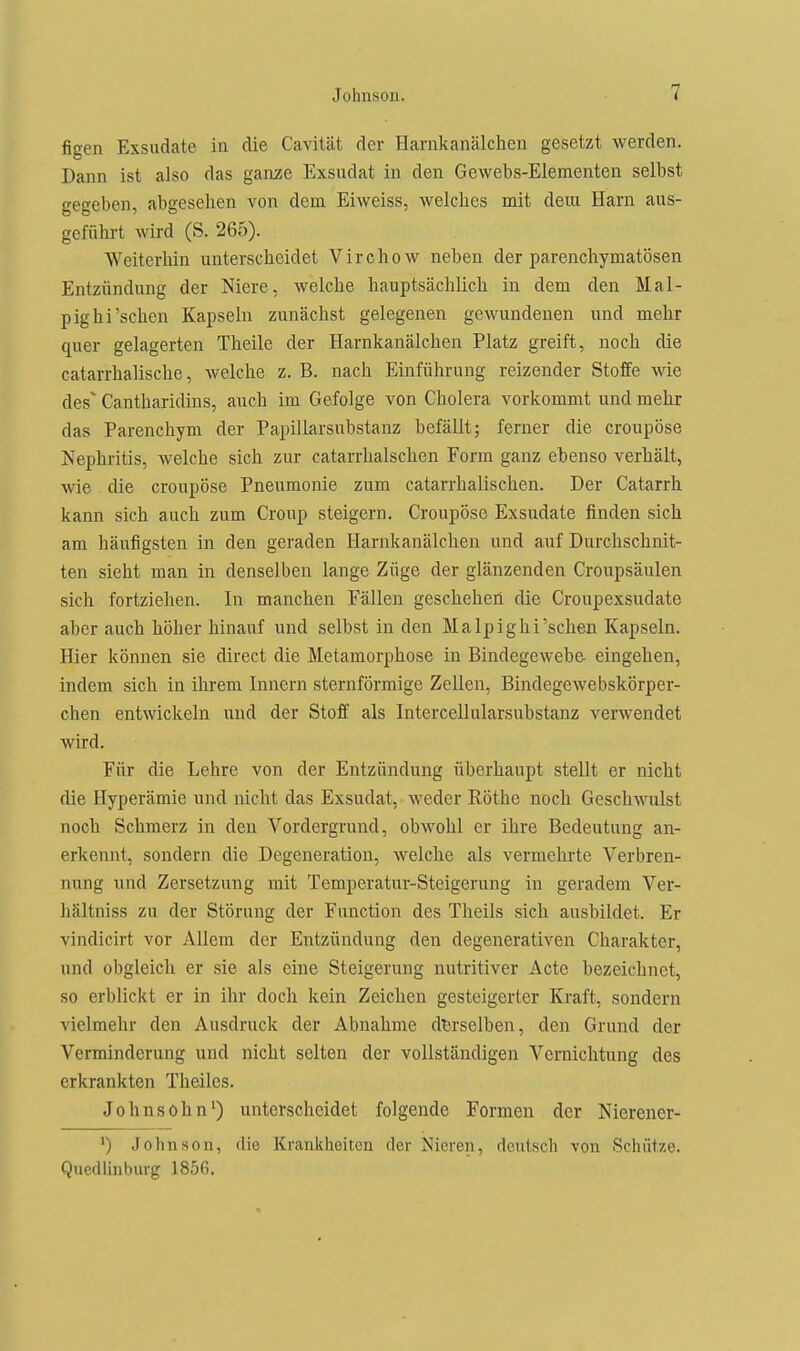 figen Exsudate in die Cavität der Harnkanälchen gesetzt werden. Dann ist also das ganze Exsudat in den Gewebs-Elementen selbst gegeben, abgesehen von dem Eiweiss, welches mit deui Harn aus- geführt wird (S. 265). Weiterhin unterscheidet Virchow neben der parenchymatösen Entzündung der Niere, welche hauptsächlich in dem den Mal- pighi'sehen Kapseln zunächst gelegenen gewundenen und mehr quer gelagerten Theile der Harnkanälchen Platz greift, noch die catarrhalische, welche z. B. nach Einführung reizender Stoffe wie des^ Cantharidins, auch im Gefolge von Cholera vorkommt und mehr das Parenchym der Papillarsubstanz befällt; ferner die croupöse Nephritis, welche sich zur catarrhalschen Form ganz ebenso verhält, wie die croupöse Pneumonie zum catarrhalischen. Der Catarrh kann sich auch zum Croup steigern. Croupöse Exsudate finden sich am häufigsten in den geraden Harnkanälchen und auf Durchschnit- ten sieht man in denselben lange Züge der glänzenden Croupsäulen sich fortziehen. In manchen Fällen gescheheil die Croupexsudate aber auch höher hinauf und selbst in den Malpighi'scheu Kapseln. Hier können sie direct die Metamorphose in Bindegewebe- eingehen, indem sich in ihrem Innern sternförmige Zellen, Bindegewebskörper- chen entwickeln und der Stoff als InterceUuIarsubstanz verwendet wird. Für die Lehre von der Entzündung überhaupt stellt er nicht die Hyperämie und nicht das Exsudat, weder Rothe noch Geschwulst noch Schmerz in den Vordergrund, obwohl er ihre Bedeutung an- erkennt, sondern die Degeneration, welche als vermehrte Verbren- nung und Zersetzung mit Temperatur-Steigerung in geradem Ver- hältniss zu der Störung der Function des Theils sich ausbildet. Er vindicirt vor Allem der Entzündung den degenerativen Charakter, und obgleich er sie als eine Steigerung nutritiver Acte bezeichnet, so erblickt er in ihr doch kein Zeichen gesteigerter Kraft, sondern viclmelir den Ausdruck der Abnahme derselben, den Grund der Verminderung und nicht selten der vollständigen Vernichtung des erkrankten Theiles. Johnsöhn') unterscheidet folgende Formen der Nierener- ^) Johnson, die Krankheiten der Nieren, deutsch von Schätze. Quedlinburg 1856.