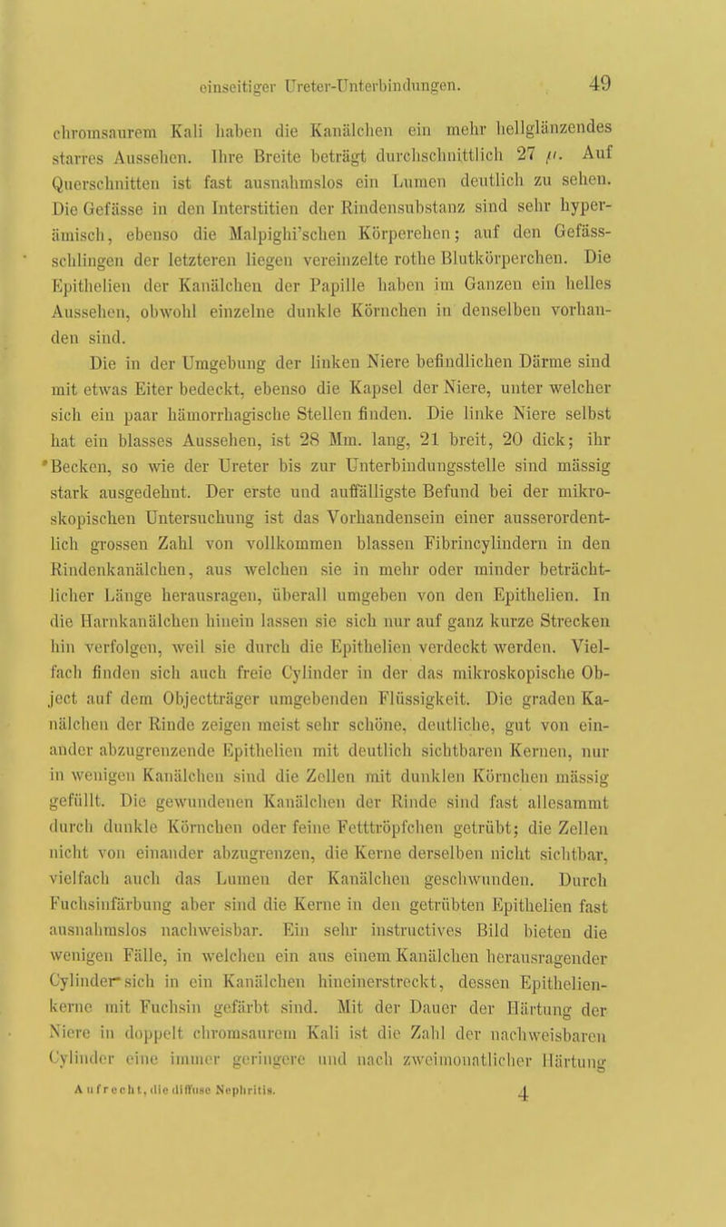chromsaurem Kali haben die Kanälchen ein mehr liellglänzendes starres Aussehen. Ihre Breite beträgt durchschnittlich 27 Auf Querschnitten ist fast ausnahmslos ein Lumen deutlich zu sehen. Die Gef ässe in den Interstitien der Rindensubstanz sind sehr hyper- ämisch, ebenso die Malpighi'schen Körperehen; auf den Gefäss- sclilingen der letzteren liegen vereinzelte rothe Blutkörperchen. Die PJpithelien der Kanälcheu der Papille haben im Ganzen ein helles Aussehen, obwohl einzelne dunkle Körnchen in denselben vorhan- den sind. Die in der Umgebung der linken Niere befindlichen Därme sind mit etwas Eiter bedeckt, ebenso die Kapsel der Niere, unter welcher sich ein paar hämorrhagische Stellen finden. Die linke Niere selbst hat ein blasses Aussehen, ist 28 Mm. lang, 21 breit, 20 dick; ihr •Becken, so wie der Ureter bis zur Unterbindungsstelle sind mässig stark ausgedehnt. Der erste und auffälligste Befund bei der mikro- skopischen Untersuchung ist das Vorhandensein einer ausserordent- lich grossen Zahl von vollkommen blassen Fibrincylindern in den Rindenkanälchen, aus welchen sie in mehr oder minder beträcht- licher Länge herausragen, überall umgeben von den Epithelien. In die Harnkanälchen hhiein lassen sie sich nur auf ganz kurze Strecken hin verfolgen, weil sie durch die Epithelien verdeckt werden. Viel- fach finden sich auch freie Cylinder in der das mikroskopische Ob- ject auf dem Objectträger umgebenden Flüssigkeit. Die graden Ka- nälchen der Rinde zeigen meist sehr schöne, deutliche, gut von ein- ander abzugrenzende Epithelien mit deutlich sichtbaren Kernen, nur in wenigen Kanälchen sind die Zellen mit dunklen Körnchen mässig gefüllt. Die gewundenen Kanälchen der Rinde sind fast allesammt durch dunkle Körnchen oder feine Fetttröpfchen getrübt; die Zellen nicht von einander abzugrenzen, die Kerne derselben nicht sichtbar, vielfach auch das Lumen der Kanälchen geschwunden. Durch Fuchsinfärbung aber sind die Kerne in den getrübten Epithelien fast ausnahmslos nachweisbar. Ein sehr instructives Bild bieten die wenigen Fälle, in welchen ein aus einem Kanälchen herausragender Cylinder*sich in ein Kanälchen hineinerstreckt, dessen Epithelien- kerne mit Fuchsin gefärbt sind. Mit der Dauer der Härtung der Xiere in doppelt chromsaurem Kali i.st die Zahl der nachweisbaren Cylinder eine iniuior geringere und nach zwoimonntliolior Härtung A II fr cell t, die dilVuso Nnpliritis. A