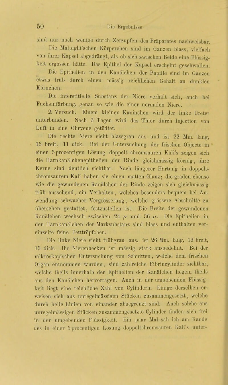 sind nur noch wenige durch Zerzupfen des Präparates nachweisbar. Die Malpigiii'schen Körperehen sind im Ganzen blass, vielfach von ihrer Kapsel abgedrängt, als ob sich zwischen Beide eine Flüssig- keit ergossen hätte. Das Epithel der Kapsel erscheint geschwollen. Die Epithelien hi den Kanälchen der Papille sind im Ganzen etwas trüb durch einen mässig reichlichen Gehalt an dunklen Körnchen. Die interstitielle Substanz der Niere verhält sich, auch bei Fuchsinfärbung, genau so wie die einer normalen Niere. 2. Versuch. Einem kleinen Kaninchen wrd der linke Ureter unterbunden. Nach 3 Tagen wird das Thier durch Injection von Luft in eine Ohrvene getödtet. Die rechte Niere sieht blassgrau aus und ist 22 Mm. lang, 15 breit, 11 dick. Bei der Untersuchung der frischen Objecte in einer öprocentigen Lösung doppelt chromsauren Kali's zeigen sich die Harnkanälchenepithelien der Rinde gleichmässig körnig, ihre Kerne sind deutlich sichtbar. Nach längerer Härtung in doppelt- chromsaurem Kali haben sie einen matten Glanz; die graden ebenso wie die gewundenen Kanälchen der Rinde zeigen sich gleichmässig trüb aussehend, ein Verhalten, welches besonders bequem bei An- wendung schwacher Vergrösserung, welche grössere Abschnitte zu übersehen gestattet, festzustellen ist. Die Breite der gewundenen Kanälclieu wechselt zwischen 24 f.i und 36 f.(. Die Epithelien in den Harnkanälchen der Marksubstanz sind blass und entlialten ver- einzelte feine Fetttröpfchen. Die liuke Niere sieht trübgrau aus, ist 26 Mm. lang, 19 breit, 15 dick. Ihr Nierenbecken ist mässig stark ausgedehnt. Bei der mikroskopischen Untersuchung von Schnitten, welche dem frischen Organ entnommen wurden, sind zahlreiche Fibrincylinder sichtbar, welche theils innerhalb der Epithelien der Kanälchen liegen, theils aus den Kanälchen hervorragen. Auch in der umgebenden Flüssig- keit liegt eine reichliche Zahl von Cylindern. Einige derselben er- weisen sich aus unregelmässigen Stücken zusammengesetzt, welche durch helle Linien von einander abgegrenzt sind. Auch solche aus unregelmässigen Stücken zusammengesetzte Cyünder finden sich frei in der umgebenden Flüssigkeit. Kin paar Mal sah ich am Rande des in einer öprocentigen Lösung doppeUchroms;iuren Kalis unter-