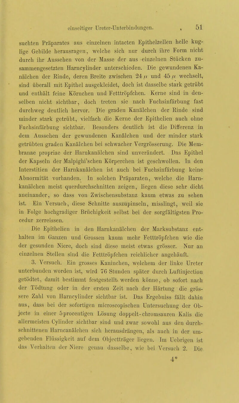 suchten Präparates aus einzelnen intacten Epithelzellen helle kug- lige Gebilde herausragen, welche sich nur durch ihre Form nicht durch ihr Aussehen von der Masse der aus einzelnen Stücken zu- sammengesetzten Harncylinder unterschieden. Die gewundenen Ka- nälchen der Rinde, deren Breite zwischen 24 ft und 45 fi wechselt, sind überall mit Epithel ausgekleidet, doch ist dasselbe stark getrübt und enthält feine Körnchen und Fetttröpfchen. Kerne sind in den- selben nicht sichtbar, doch treten sie nach Fuchsinfärbuug fast durchweg deutlich hervor. Die gradeu Kanälchen der Rinde sind minder stark getrübt, vielfach die Kerne der Epithelien auch ohne Fuchsinfärbung sichtbar. Besonders deutlich ist die Differenz in dem Aussehen der gewundenen Kanälchen und der minder stark getrübten graden Kanälchen bei schwacher Vergrösserung. Die Mem- branae propriae der Harnkanälchen sind unverändert. Das Epithel der Kapseln der Malpighi'schen Körperchen ist geschwollen. In den Interstitien der Harnkanälchen ist auch bei Fuchsinfärbung keine Abnormität vorhanden. In solchen Präparaten, welche die Harn- kanälchen meist querdurchschnitten zeigen, liegen diese sehr dicht aneinander, so dass von Zwischensubstanz kaum etwas zu sehen ist. Ein Versuch, diese Schnitte auszüpinseln, misslingt, weil sie in Folge hochgradiger Brüchigkeit selbst bei der sorgfältigsten Pro- cedur zerreissen. Die Epithelien in den Harnkanälchen der Marksubstanz ent- halten im Ganzen und Grossen kaum mehr Fetttröpfchen wie die der gesunden Niere, doch sind diese meist etwas grösser. Nur an einzelnen Stellen sind die Fetttröpfchen reichlicher angehäuft. 3. Versuch. Ein grosses Kaninchen, welchem der linke Ureter unterbunden worden ist, wird 76 Stunden später durch Luftinjection gctödtet, damit bestimmt festgestellt» werden könne, ob sofort nach der Tödtung oder in der ersten Zeit nach der Härtung die grös- sere Zahl von Harncylinder sichtbar ist. Das Ergebniss fällt dahin aus, dass bei der sofortigen microscopischen Untersuchung der Ob- jecte in einer öprocentigen Lösung doppelt-chromsauren Kalis die allermeisten Cylinder sichtbar sind und zwar sowohl aus den durch- schnittenen Harncanälchen sicli herausdrängen, als auch in der um- gebenden Flüssigkeit auf dem Objectträger liegen. Im Uebrigen ist das Verhalten der Niere genau dasselbe, wie bei Vorsuch 2. Die