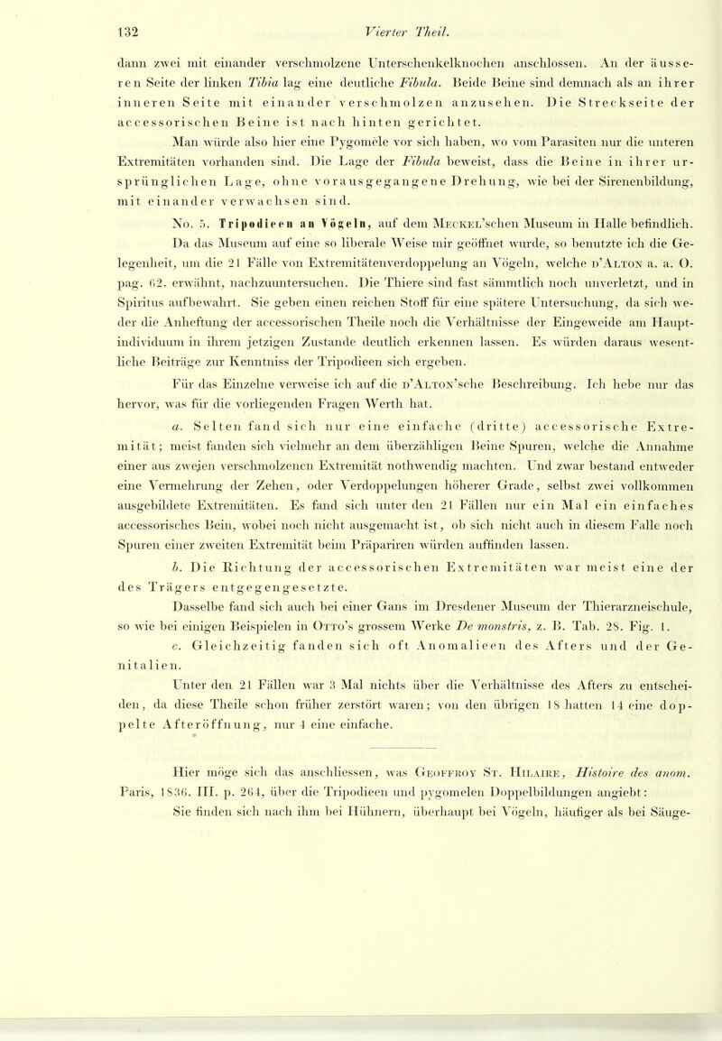 dann zwei mit einander verschmolzene Unterschenkelknochen anschlössen. An der äusse- ren Seite der linken Tihia lag eine deutliche Fibula. Beide ]3eine sind demnach als an ihrer inneren Seite mit einander verschmolzen anzusehen. Die Streckseite der accessorischen Beine ist nach hinten gerichtet. Man würde also hier eine Pygomele vor sich haben, wo vom Parasiten nur die unteren Extremitäten vorhanden sind. Die Lage der Fibula beweist, dass die Beine in ihrer ur- sprünglichen Lage, ohne a' o r a u s g e g a n g e n e D r e h u n g, wie bei der Sirenenbildung, mit einander verAvachsen sind. No. 5. Tripodieeii an Vögeln, auf dem MECKEL'schen Museum in Halle befindlich. Da das Museum auf eine so liberale Weise mir geöffnet wurde, so benutzte ich die Ge- legenheit, um die 21 Fälle von Extremitätenverdoppelung an Vögeln, welche D'ALXOJf a. a. O. pag. (52. erwähnt, nachzuuntersuchen. Die Thiere sind fast sämmtlich noch unverletzt, und in Spiritus aufbewahrt. Sie geben einen reichen Stoff für eine spätere Untersuchung, da sich we- der die Anheftung der accessorischen Theile noch die Verhältnisse der EingCAveide am Haupt- individuum in ihrem jetzigen Zustande deutlich erkennen lassen. Es würden daraus wesent- liche Beiträge zur Kenntniss der Tripodieen sich ergeben. Für das Einzelne verweise ich auf die D'ALTON'sche Beschreibvmg. Icli hebe nur das hervor, was für die vorliegenden Fragen Werth hat. a. Selten fand sich nur eine einfache (dritte) accessorische Extre- mität; meist fanden sich vielmehr an dem überzähligen IJeine Spuren, welche die Annahme einer aus zweien verschmolzenen Extremität nothwendig machten. Und zwar bestand entweder eine Vennehrung der Zehen, oder Verdoppelungen höherer Grade, selbst zwei vollkommen ausgebildete Extremitäten. Es fand sich unter den 21 Fällen nur ein Mal ein einfaches accessorisches Bein, wobei noch nicht ausgemacht ist, ob sich nicht auch in diesem Falle noch Spuren einer zweiten Extremität beim Präpariren würden auffinden lassen. b. Die Richtung der accessorischen Extremitäten war meist eine der des Trägers entgegengesetzte. Dasselbe fand sich auch bei einer Gans im Dresdener Museum der Thierarzneischule, so Avie bei einigen Beispielen in Otto's grossem Werke De monstris, z. B. Tab. 28. Fig. 1. c. Gleichzeitig fanden sich oft Anomalieen des Afters und der Ge- nitalien. Unter den 21 Fällen Avar 3 Mal nichts über die Verhältnisse des Afters zu entschei- den, da diese Theile schon früher zerstört Avaren; von den übrigen IS hatten 14 eine dop- pelte Afteröffnung, nur 4 eine einfache. Hier möge sich das anschliessen, Avas Geoffroy St. Hilaire, Histoire des atiom. Paris, 1S3(). III. p. 264, über die Tripodieen und pygomelen Doppelbildungen angiebt: Sie finden sich nach ihm bei Hühnern, überhaupt bei Vögeln, häufiger als bei Säuge-