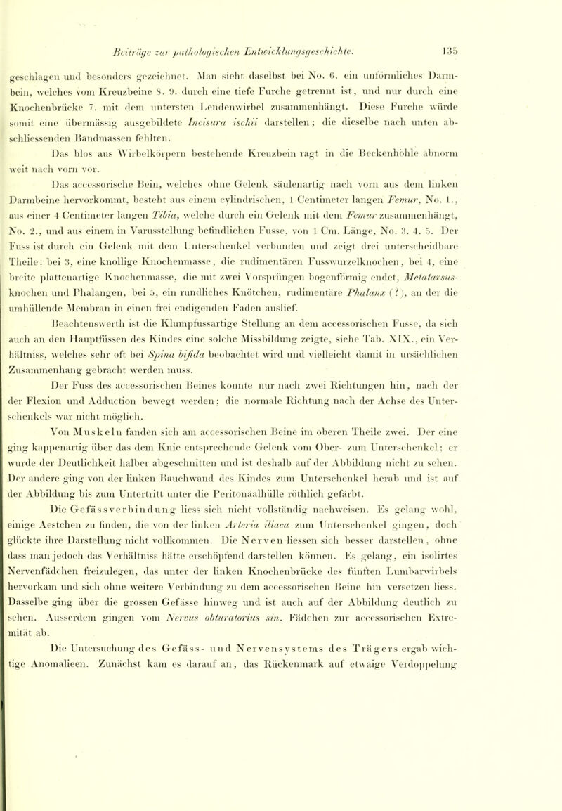 seschlauen und besonders gezeichnet. Man sielit daselbst bei No. 6. ein unfdiiidiches Darm- bein, Avelches vom Kreuzbeine 8. 0. durch eine tiefe Furche getrennt ist, und nur durch eine Knoclienbrücke 7. mit dem luitersteu Lendenwirbel zusammenhangt. Diese Furche würde somit eine übermässig ausgebildete Incisura iscliii darstellen ; die dieselbe nach unten ab- schliessenden Bandmassen fehlten. Das blos aus Wirbelkörperu bestellende Kreuzbein ragt in die Beckenhöhle abnorm weit nacli vorn vor. Das acccssorische l^ein, welches ohne Gelenk säulenartig nach vorn aus dem linken Darmbeine hervorkommt, besteht aus einem cylindrischen, 1 Centimeter langen Femur, No. 1., aus einer 1 Centimeter langen Tihia, welche durch ein Gelenk mit dem Femur zusammenhängt, No. 2., urul aus einem in Varusstellung befindlichen Fusse, von 1 Cm. Länge, No. 3. 4. 5. ])er Fuss ist durch ein Gelenk mit dem I'nterschenkel verlMuiden und zeigt drei unterscheidbare Theile: bei W, eine knollige Knochenmasse, die rudimentären Fusswm-zelknochen, bei 4, eine breite plattenartige Knochenmasse, die mit zwei ^ors^jrüngen bogenförmig endet, Metatarsus- knoclien und Phalangen, bei 5, ein rundliches Knötchen, rudimentäre Phalanx ( l), an der die vmihüllende Membran in einen frei endigenden Faden auslief. Heachtenswerth ist die Khnnpfussartige Stellung an dem accessorischen Fasse, da sich auch an den JLruptfiissen des Kindes eine solche Missbildung zeigte, siehe Tab. XIX., ein Ver- hältniss, welches sehr oft bei Sinna hifida beobachtet wird und vielleicht damit in insächlichen Zusammenhang gebracht werden muss. Der Fuss des accessorischen l^eines konnte nur nach zAvei Richtungen hin, nach der der Flexion und Adduction bewegt werden; die normale E-ichtxmg nach der Achse des Ilnter- schenkels war nicht möglich. < Von Muskeln fanden sich am accessorischen Beine im oberen Theile zwei. Der eine ging kappenartig über das dem Knie entsprechende Gelenk vom Ober- zum Unterschenkel; er Avurde der Deutlichkeit halber abgeschnitten luid ist deshalb auf der Abbildung nicht zu sehen. Der andere ging von der linken Hauchwand des Kindes zum Unterschenkel herab und ist auf der Abbildimg bis zum I'ntcrtritt unter die Peritonäalhülle röthlich gefärbt. Die Gefässverbindung Hess sich nicht vollständig naclweisen. Es gelang wohl, einige Aestchen zu finden, die von der linken Arteria iliaca zum Unterschenkel gingen, doch glückte ihre Darstellung nicht vollkommen. Die Nerven Hessen sich besser darstellen, ohne dass man jedoch das Verhältniss hätte erschöpfend darstellen können. Es gelang, ein isolirtes Nervenfädchen freizulegen, das unter der linken Knochenbrücke des fünften liumbarwirbels hervorkam imd sich ohne Aveitere Verbindung zu dem accessorischen Beine hin versetzen Hess. Dasselbe ging über die grossen Gefässe hiuAveg und ist auch auf der Abbildung deutlich zu sehen. Ausserdem gingen vom Nervus obturatorius sin. Fädchen zur accessorischen Extre- mität ab. Die Untersuchung des Gefäss- und Nervensystems des Trägers ergab wich- tige Anomalieen. Ziniächst kam es darauf an, das Rückenmark auf etwaige Verdoppelung